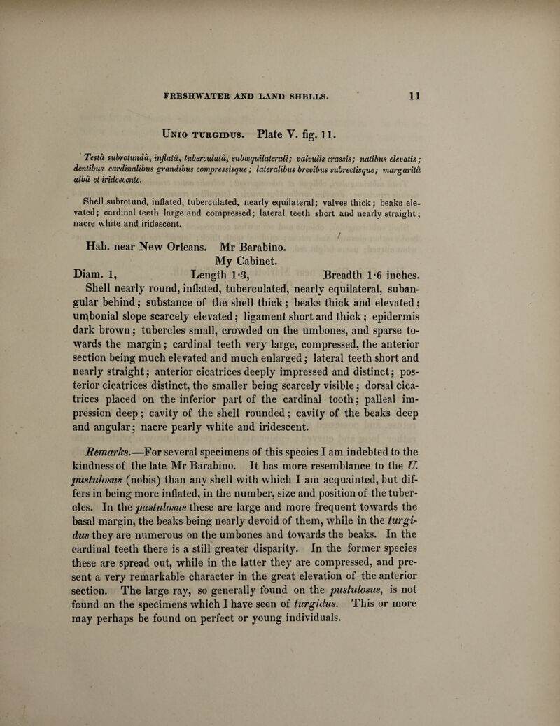 Unio turgidus. Plate V. fig. 11. Testa subrotunda, injlata, tuberculata, subcequilaterali; valvulis crassis; natibus elevatis; dentibus cardinalibus grandibus compressisque; lateralibus brevibus subrectisque; margarita alba et iridescente. Shell subrotund, inflated, tuberculated, nearly equilateral; valves thick; beaks ele¬ vated; cardinal teeth large and compressed; lateral teeth short and nearly straight; nacre white and iridescent. / Hab. near New Orleans. Mr Barabino. My Cabinet. Diam. 1, Length 1*3, Breadth 1-6 inches. Shell nearly round, inflated, tuberculated, nearly equilateral, suban- gular behind; substance of the shell thick; beaks thick and elevated ; umbonial slope scarcely elevated; ligament short and thick; epidermis dark brown; tubercles small, crowded on the umbones, and sparse to¬ wards the margin; cardinal teeth very large, compressed, the anterior section being much elevated and much enlarged; lateral teeth short and nearly straight; anterior cicatrices deeply impressed and distinct; pos¬ terior cicatrices distinct, the smaller being scarcely visible; dorsal cica¬ trices placed on the inferior part of the cardinal tooth; palleal im¬ pression deep; cavity of the shell rounded; cavity of the beaks deep and angular; nacre pearly white and iridescent. Remarks.—For several specimens of this species I am indebted to the kindness of the late Mr Barabino. It has more resemblance to the U. pustulosus (nobis) than any shell with which I am acquainted, but dif¬ fers in being more inflated, in the number, size and position of the tuber¬ cles. In the pustulosus these are large and more frequent towards the basal margin, the beaks being nearly devoid of them, while in the turgi¬ dus they are numerous on the umbones and towards the beaks. In the cardinal teeth there is a still greater disparity. In the former species these are spread out, while in the latter they are compressed, and pre¬ sent a very remarkable character in the great elevation of the anterior section. The large ray, so generally found on the pustulosus, is not found on the specimens which I have seen of turgidus. This or more may perhaps be found on perfect or young individuals.