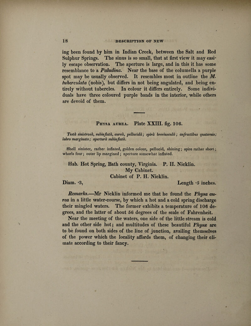 ing been found by him in Indian Creek, between the Salt and Red Sulphur Springs. The sinus is so small, that at first view it may easi¬ ly escape observation. The aperture is large, and in this it has some resemblance to a Paludina. Near the base of the columella a purple spot may be usually observed. It resembles most in outline the M. tuberculata (nobis), but differs in not being angulated, and being en¬ tirely without tubercles. In colour it differs entirely. Some indivi¬ duals have three coloured purple bands in the interior, while others are devoid of them. Physa atjrea. Plate XXIII. fig. 106. Testa sinistrosa, subinjlata, aurea, pellucida; spira breviuscula; anfractibus quaternis; labro marginato; apertura subinjlata. Shell sinister, rather inflated, golden colour, pellucid, shining; spire rather short; whorls four; outer lip margined ; aperture somewhat inflated. Hab. Hot Spring, Bath county, Virginia. P. H. Nicklin. My Cabinet. Cabinet of P. H. Nicklin. Diam. *3, Length *5 inches. Remarks.—Mr Nicklin informed me that he found the Physa au¬ rea in a little water-course, by which a hot and a cold spring discharge their mingled waters. The former exhibits a temperature of 106 de¬ grees, and the latter of about 56 degrees of the scale of Fahrenheit. Near the meeting of the waters, one side of the little stream is cold and the other side hot; and multitudes of these beautiful Physae are to be found on both sides of the line of junction, availing themselves of the power which the locality affords them, of changing their cli¬ mate according to their fancy.