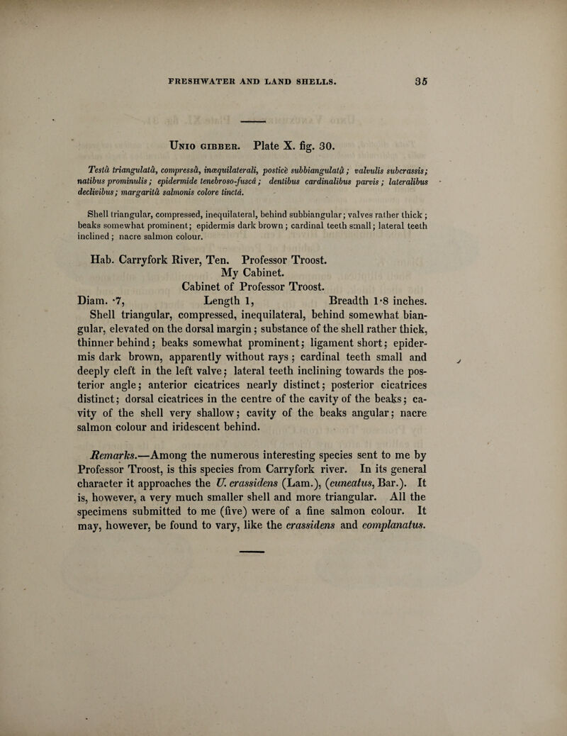 Unio gibber. Plate X. fig. 30. Testa triangnlata, compressa, incequilaterali, posticb subbiangulatct; vctlvulis subcrassis; natibus prominulis ; epidermide tenebroso-fusca ; dentibus cardinalibus parvis; lateralibus declivibus; margarita salmonis colore tinctd. Shell triangular, compressed, inequilateral, behind subbiangular; valves rather thick ; beaks somewhat prominent; epidermis dark brown ; cardinal teeth small; lateral teeth inclined ; nacre salmon colour. Hab. Carryfork River, Ten. Professor Troost. My Cabinet. Cabinet of Professor Troost. Diam. *7, Length 1, Breadth 1*8 inches. Shell triangular, compressed, inequilateral, behind somewhat bian- gular, elevated on the dorsal margin ; substance of the shell rather thick, thinner behind; beaks somewhat prominent; ligament short; epider¬ mis dark brown, apparently without rays; cardinal teeth small and deeply cleft in the left valve ; lateral teeth inclining towards the pos¬ terior angle; anterior cicatrices nearly distinct; posterior cicatrices distinct; dorsal cicatrices in the centre of the cavity of the beaks; ca¬ vity of the shell very shallow; cavity of the beaks angular; nacre salmon colour and iridescent behind. Remarks.—Among the numerous interesting species sent to me by Professor Troost, is this species from Carryfork river. In its general character it approaches the U crassidens (Lam.), (cuneatus, Bar.). It is, however, a very much smaller shell and more triangular. All the specimens submitted to me (five) wTere of a fine salmon colour. It may, however, be found to vary, like the crassidens and complanatus.