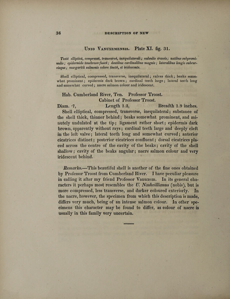 Unio Yanuxemensis. Plate XI. fig. 31. Testa ellipticd, compressa, transversa, incequilaterali; valvulis crassis; natibus subpromi- nulis; epidermide tenebroso-fusca; dentibus cardinalibus magnis; lateralibus longis subcur- visque; margarita salmonis colore tincta, et iridescente. Shell elliptical, compressed, transverse, inequilateral; valves thick; beaks some¬ what prominent; epidermis dark brown; cardinal teeth large; lateral teeth long and somewhat curved ; nacre salmon colour and iridescent. Hab. Cumberland River, Ten. Professor Troost. Cabinet of Professor Troost. Diam. *7, Length 1.2, Breadth 1.9 inches. Shell elliptical, compressed, transverse, inequilateral; substance of the shell thick, thinner behind; beaks somewhat prominent, and mi¬ nutely undulated at the tip; ligament rather short; epidermis dark brown, apparently without rays; cardinal teeth large and deeply cleft in the left valve; lateral teeth long and somewhat curved; anterior cicatrices distinct; posterior cicatrices confluent; dorsal cicatrices pla¬ ced across the centre of the cavity of the beaks; cavity of the shell shallow; cavity of the beaks angular; nacre salmon colour and very iridescent behind. Remarks.—This beautiful shell is another of the fine ones obtained by Professor Troost from Cumberland River. I have peculiar pleasure in calling it after my friend Professor Vanuxem. In its general cha¬ racters it perhaps most resembles the V Nashvillianus (nobis), but is more compressed, less transverse, and darker coloured exteriorly. In the nacre, however, the specimen from which this description is made, differs very much, being of an intense salmon colour. In other spe¬ cimens this character may be found to differ, as colour of nacre is usually in this family very uncertain.