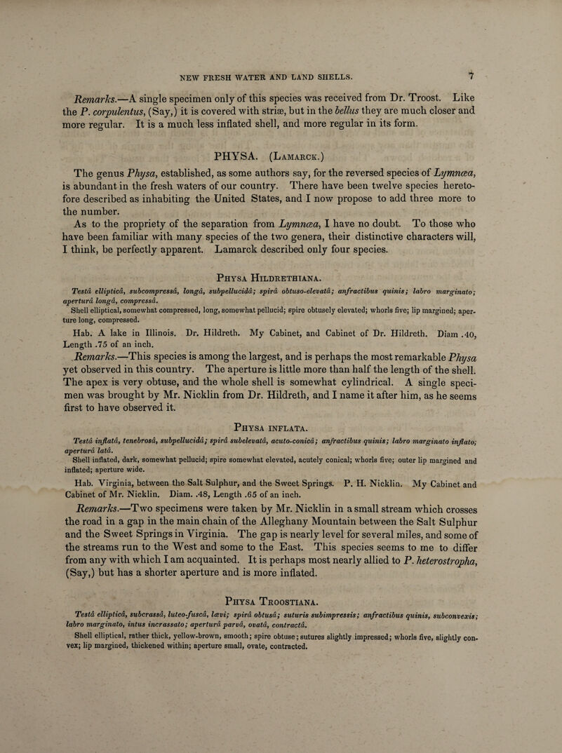 Remarks.—A single specimen only of this species was received from Dr. Troost. Like the P. corpulentus, (Say,) it is covered with striae, but in the bellus they are much closer and more regular. It is a much less inflated shell, and more regular in its form. PHYSA. (Lamarck.) The genus Physa, established, as some authors say, for the reversed species of Lymncea, is abundant in the fresh waters of our country. There have been twelve species hereto¬ fore described as inhabiting the United States, and I now propose to add three more to the number. As to the propriety of the separation from Lymncea, I have no doubt. To those who have been familiar with many species of the two genera, their distinctive characters will, I think, be perfectly apparent. Lamarck described only four species. Physa Hildrethiana. Testa elliptica, subcompressa, longa, subpellucida; spira obtuso-elevata; anfractibus quints; labro marginato; apertura longa, compressa. Shell elliptical, somewhat compressed, long, somewhat pellucid; spire obtusely elevated; whorls five; lip margined; aper¬ ture long, compressed. Hab. A lake in Illinois. Dr. Hildreth. My Cabinet, and Cabinet of Dr. Hildreth. Diam .40, Length .75 of an inch. Remarks.—This species is among the largest, and is perhaps the most remarkable Pliysa yet observed in this country. The aperture is little more than half the length of the shell. The apex is very obtuse, and the whole shell is somewhat cylindrical. A single speci¬ men was brought by Mr. Nicklin from Dr. Hildreth, and I name it after him, as he seems first to have observed it. Physa inflata. Testa inflata, tenebrosd, subpellucida; spira subelevata, acuto-conicd; anfractibus quinis; labro marginato inflate; apertura lata. Shell inflated, dark, somewhat pellucid; spire somewhat elevated, acutely conical; whorls five; outer lip margined and inflated; aperture wide. Hab. Virginia, between the Salt Sulphur, and the Sweet Springs. P. H. Nicklin. My Cabinet and Cabinet of Mr. Nicklin. Diam. .48, Length .65 of an inch. Remarks.—Two specimens were taken by Mr. Nicklin in a small stream which crosses the road in a gap in the main chain of the Alleghany Mountain between the Salt Sulphur and the Sweet Springs in Virginia. The gap is nearly level for several miles, and some of the streams run to the West and some to the East. This species seems to me to differ from any with which I am acquainted. It is perhaps most nearly allied to P. heterostropha, (Say,) but has a shorter aperture and is more inflated. Physa Troostiana. Testa elliptica, subcrassd, luteo-fusca, Icevi; spira obtusa; suturis subimpressis; anfractibus quinis, subconvexis; labro marginato, intus incrassato; apertura parvd, ovata, contractu. Shell elliptical, rather thick, yellow-brown, smooth; spire obtuse; sutures slightly impressed; whorls five, slightly con¬ vex; lip margined, thickened within; aperture small, ovate, contracted.