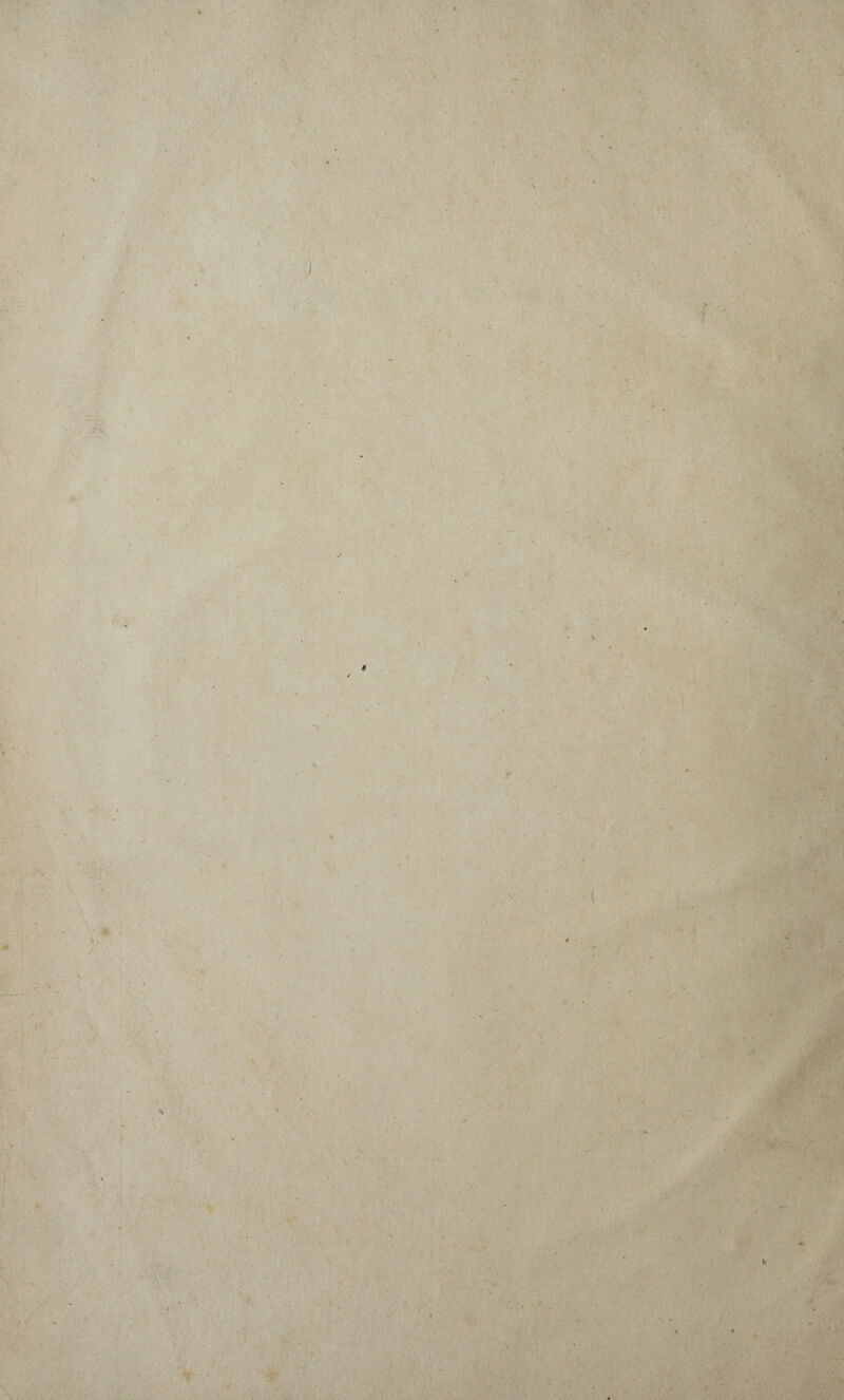 * ,1 1 . S ‘ •V \ t » ■> f -v r s ■ -