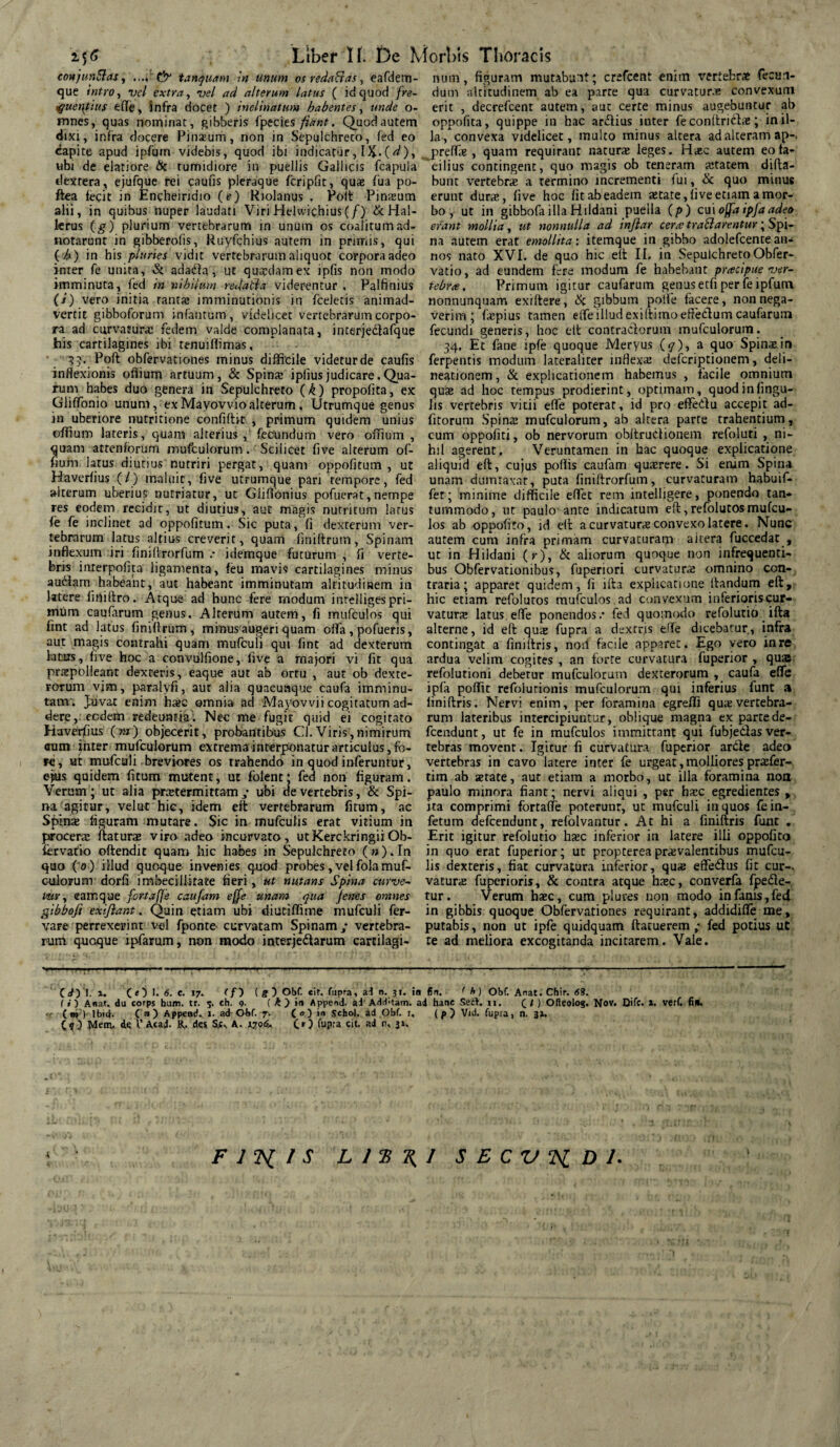 con/unftas, .... ' & tamquam in unum os redafias, eafdern- que intro, vel extra, vel ad alterum latus ( id quod fre¬ quentius <&(Te, infra docet ) inelmatum habentes, unde o- mnes, quas nominat, gibberis fpecies fiant. Quod autem dixi, infra docere Pinaeum, non in Sepulchreco, fed eo capite apud ipfum videbis, quod ibi indicatur, IX-( d), ubi de elatiore & tumidiore in puellis Gallicis fcapula dextera, ejufque rei caufis pleraque fcripfit, quae fua po- ftea fecit in Encheiridio (e) Hiolanus . Poft Pinsum alii, in quibus nuper laudati Viri Helwiqhius(/) & Hal- lerus (g) plurium vertebrarum in unum os coalitum ad- notarunt in gibberofis, Ruyfchius autem in primis, qui ( h) in his pluries vidit vertebrarum aliquot corpora adeo inter fe unita, & adadia, ut qmcdamex ipfis non modo imminuta, fed in nihilum, redatia viderentur , Paffinius (/') vero initia tanta: imminutionis in fceletis animad¬ vertit gibboforum infantum, videlicet vertebrarum corpo¬ ra ad curvatura: fedem valde complanata, interjedfafque his cartilagines ibi tenuilfimas, 33. Poft obfervationes minus difficile videtur de caufis inflexionis oflium artuum, & Spina: ipliusjudicare.Qua¬ rum habes duo genera in Sepulchreto (b) propofita, ex Gliffonio unum, exMayovvioalterum. Utrumque genus in uberiore nutritione confiftit , primum quidem unius offium lateris, quam alterius, fecundum vero offium , quam atrenforum mufculorum. Scilicet five alterum of¬ fium latus diutius nutriri pergat, quam oppofitum , ut Haverfius (/) maluit, five utrumque pari tempore, fed alterum uberius nutriatur, ut Glifionius pofuerat,nempe res eodem recidit, ut diutius, aut magis nutritum larus fe fe inclinet ad oppofitum. Sic puta, fi dexterum ver¬ tebrarum latus altius creverit, quam finiftrum, Spinam inflexum iri finiftrorfum .• idemque futurum , fi verte¬ bris inxerpofita ligamenta, feu mavis cartilagines minus audiam habeant, aut habeant imminutam altitudinem in latere fitiiftro. Atque ad hunc fere modum intelligespri- tntim caularum genus. Alterum autem, fi mufculos qui fint ad latus finiftrum, minus augeri quam offa, pofueris, aut magis contrahi quam mufculi qui fint ad dexterum latus, five hoc a convulfione, five a majori vi fit qua praepolleant dexteris, eaque aut ab ortu , aut ob dexte¬ rorum vim, paralvfi, aut alia quacunque caufa imminu¬ tam. Juvat enim haec omnia ad Mayovvii cogitatum ad¬ dere, eodem redeuntia'. Nec me fugit quid ei cogitato Haverfius (m) objecerit, probantibus Cl.Viris,nimirum aum jhter mufculorum extrema interponatur articulus,fo¬ re, ut mufculi breviores os trahendo in quod inferuntur, ejius quidem fitum mutent, ut folent; fed non figuram. Verum; ut alia prietermittam y ubi de vertebris, & Spi¬ na agitur, velut hic, idem eft vertebrarum fitum, ac Spina: figuram mutare. Sic in mufcufis erat vitium in procera: flaturae viro adeo incurvato, utKerckringiiOb- fer vario oftendit quam hic habes in Sepulchreto (»).In quo ( 0) illud quoque invenies quod probes,vel folamuf¬ culorum dorfi imbecillitate fieri, ut nutans Spina curve- Hir, eam que fortajje caufam effe unam qua Jenes omnes gibbofi exijiant. Quin etiam ubi diutiffime mufculi fer- vare perrexerint vel fponte curvatam Spinam; vertebra¬ rum quoque ipfarum, non modo interjedlarum cartilagi¬ num, figuram mutabunt; crefcent enim vertebrae fecun¬ dum altitudinem ab ea parte qua curvature convexum erit , decrefcent autem, aut certe minus augebuntur ab oppofita, quippe in hac ardius inter fe conltriche; in il¬ la, convexa videlicet, multo minus altera ad alteram ap-, preffie , quam requirant naturae leges. Haec autem eo fa¬ cilius contingent, quo magis ob teneram aetatem difta- bunt vertebrae a termino incrementi fui, & quo minus erunt dura:, five hoc fit ab eadem a:tate, live etiam a mor¬ bo , ut in gibbofa illa Hildani puella (/>) cui offa ipfaadeo erant molita, ut nonnulla ad infiar cera; tranarentur; Spi¬ na autem erat emollita: itemque in gibbo adolefcente an¬ nos nato XVI. de quo hic eft II. in SepulchretoObfer- vatio, ad eundem fere modum fe habebant pnecipue ver¬ tebra;, Primum igitur caufarum genus etfi per fe ipfum nonnunquam exiftere, & gibbum polle facere, non nega¬ verim; faipius tamen elfe illud exiftimo effeclum caufarum fecundi generis, hoc eit contractorum mufculorum. 34. Et fane ipfe quoque Meryus (<7), a quo Spina: in ferpentis modum lateraliter inflexa: deferiptionem, deli¬ neationem, & explicationem habemus , facile omnium quae ad hoc tempus prodierint, optimam, quod in lingu¬ lis vertebris vitii elfe poterat, id pro effedu accepit ad- fitorum Spina: mufculorum, ab altera parte trahentium, cum oppofiti, ob nervorum obltrudionem refoluti , ni¬ hil agerent. Veruntamen in hac quoque explicatione aliquid eft, cujus poffis caufam quaerere. Si enim Spina unam dumtaxat, puta finiftrorfum, curvaturam habuif- fer; minime difficile effet rem intelligere, ponendo tan¬ tummodo, ut paulo ante indicatum eft,refolutosmufcu¬ los ab oppofito, id eft a curvatura: convexo latere. Nunc autem cum infra primam curvaturam altera fuccedat , ut in Hildani (r), & aliorum quoque non infrequenti¬ bus Obfervationibus, fuperiori curvatura omnino con¬ traria; apparet quidem, fi ifta explicatione itandum eft,. hic etiam refolutos mufculos ad convexum inferioris cur¬ vatura latus effe ponendos.* fed quomodo refolutio ifta alterne, id eft qua fupra a dexrris effe dicebatur,, infra contingat a finiftris, nod facile apparet. Ego vero inre ardua velim cogites , an forte curvatura fuperior , qus refolutioni debetur mufculorum dexterorum , caufa effe ipfa poffit refoiutionis mufculorum qui inferius funt a finiftris. Nervi enim, per foramina egreffi qua vertebra¬ rum lateribus intercipiuntur, oblique magna ex parte de- fcendunt, ut fe in mufculos immittant qui fubjedas ver¬ tebras movent. Igitur fi curvatura fuperior arde adeo vertebras in cavo latere inter fe urgeat, molliores prafer- tim ab atate, aut etiam a morbo, ut illa foramina non paulo minora fiant; nervi aliqui , per hac egredientes , ita comprimi fortaffe poterunr, ut mufculi in quos fein- fetum defeendunt, refolvantur. At hi a finiftris funt . Erit igitur refolutio hac inferior in latere illi oppofito in quo erat fuperior; ut proptereapravalentibus mufeu- lis dexteris, fiat curvatura inferior, qua effedus fit cur-, vatura fuperioris, & contra atque hac, converfa fpede- tur. Verum hac, cum plures non modo in fanis, fed in gibbis quoque Obfervationes requirant, addidifie me, putabis, non ut ipfe quidquam ftatuerem ; fed potius ut te ad meliora excogitanda incitarem. Vale. I. *• (O 1. 6. e. 17. (f) (g~) Obf. eit. fupra, ad n. 31. in fin. ' A) Obf. Anat. Chir. 69. ( i ) Anat. du corps bum. tr. 5. eh. 9. ( k ) in Append. ad Additam, ad hanc Secd. 11, ( l ) Ofteolog. Nov. Difc. ». verf. fin. ( m ) ibici. ( Append. 1. ad Obf. 7. ( o ) in Sehol. ad Obf. 1, (p) Vid. fupra, n. 31. (Q Meni, de f’Acad. R. dei SjU A. 170$. CO fupra eit- ad n, 3». F 1 TSt / S 'LI2H1 SECV^Dl.