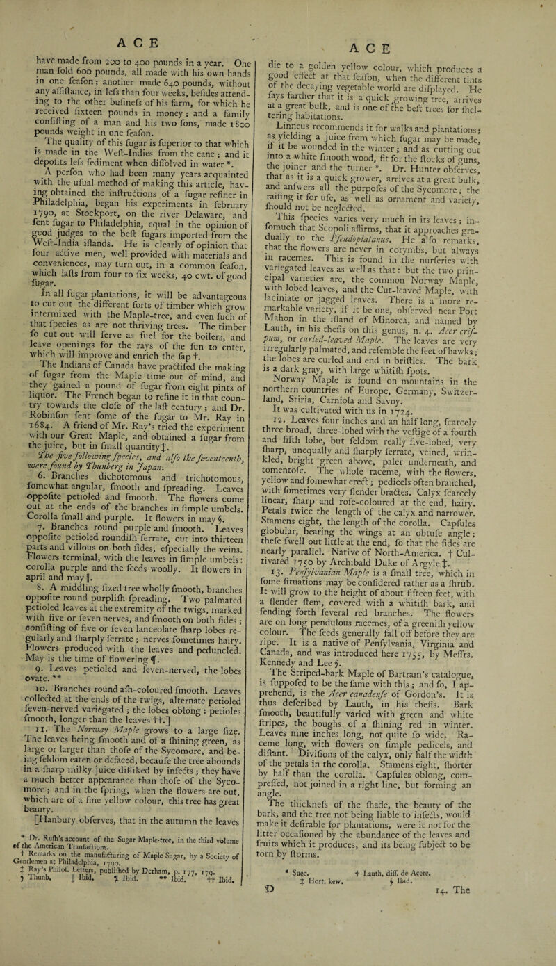 have made from 200 to 400 pounds in a year. One man fold 600 pounds, all made with his own hands in one feafon; another made 640 pounds, without any afliflance, in lefs than four weeks, bef dcs attend¬ ing to the other bufnefs of his farm, for which he received lixteen pounds in money; and a family confining of a man and his two fons, made 1800 pounds weight in one feafon. The quality of this fugar is fuperior to that which is made in the Weft-Indies from the cane ; and it depofits lefs fediment when diflblved in water *. A perfon who had been many years acquainted with the ufual method of making this article, hav- ing obtained the inftrucftions of a fugar refiner in Philadelphia, began his experiments in february Stockport, on the river Delaware, and fent fugar to Philadelphia, equal in the opinion of good judges to the beft fugars imported from the Weft-India iftands. He is clearly of opinion that four adive men, well provided with materials and Conveniences, may turn out, in a common feafon, which lafts from four to fix weeks, 40 cwt. of good fuoar. in all fugar plantations. It will be advantageous to cut out the different forts of timber which grow intermixed with the Maple-tree, and even fuch of that fijecies as are not thriving trees. The timber fo cut out will ferve as fuel for the boilers, and leave openings for the rays of the fun to enter, which will improve and enrich the fap t. The Indians of Canada have pradifed the makino- of fugar from the Maple time out of mind, and they gained a pound of fugar from eight pints of liquor. The French began to refine it in that coun¬ try towards the clofe of the laft century ; and Dr. Robinfon fent fome of the fugar to Mr. Ray iii 1684. A friend of Mr. Ray’s tried the experiment with our Great Maple, and obtained a fugar from the juice, but in fmall quantity j;. The five following fpedes y and alfo the feventeenthy Were found by Thunberg in Japan. 6. Branches dichotomous and trichotomous, fome what angular, fmooth and fp reading. Leaves oppofite petioled and fmooth. The flowers come out at the ends of the branches in fimple umbels. Corolla fmall and purple. It flowers in may§. 7. Branches round purple and fmooth. Leaves oppofite petioled roundifli ferrate, cut into thirteen parts and villous on both fides, efpecially the veins. Flowers terminal, with the leaves in fimple umbels: corolla purple and the feeds woolly. It flowers in april and may ||. 8. A middling fized tree wholly fmooth, branches oppofite round purplifh fpreading. Two palmated petioled leaves at the extremity of the twigs, marked with five or feven nerves, and fmooth on both fides ; confining of five or feven lanceolate fharp lobes re¬ gularly and lharply ferrate ; nerves fometimes hairy. Flowers produced with the leaves and peduncled. May is the time of flowering f. 9. Leaves petioled and feven-nerved, the lobes ovate. ** 10. Branches round afh-coloured fmooth. Leaves colledted at the ends of the twigs, alternate petioled feven-nerved variegated ; the lobes oblong : petioles fmooth, longer than the leaves ft.] 11. The Norway Maple grows to a large fize. The leaves being fmooth and of a fhining green, as large or larger than thofe of the Sycomore, and be¬ ing feldom eaten or defaced, becaufe the tree abounds in a lharp milky juice difliked by infefls ; they have a much better appearance than thofe of the Syco¬ more ; and in the fpring, when the flowers are out, which are of a fine yellow colour, this tree has great beauty. [Hanbury obferves, that in the autumn the leaves * Dr. Rufh’s account of the Sugar Maple-tree, in the third volume cf the American Tranfadtions. t Remarks on the manufacturing of Maple Sugar, by a Society of Gentlemen at Philadelphia, i ^ Ray’s Philof. Letters, puDlilhed by Derham, p. 177 Thunb. Ij Ibid. ^ Ibid. ** Ibid.^' 179. ++ Ibid. ACE die to a golden yellow colour, which produces a good effect at that feafon, when the different tints ot the decaying vegetable world are difplayed. He lays farther that it is a quick growing tree, arrives at a great bulk, and is one of the beft trees for flicl- tering habitations. Linneus recommends it for walks and plantations; as yielding a juice from which fugar may be made, if It be wounded in the winter ; and as cutting out into a white fmooth wood, fit for the flocks of guns the ]oiner_ and the turner L Dr. Hunter obferves, that as it is a quick grower, arrives at a great bulk, and anfwers all the purpofes of the Sycomore ; the railing it for ufe, as well as ornament and variety, fhould not be neglefled. This fpecies varies very much in its leaves; in- fomuch that Scopoli affirms, that it approaches gra¬ dually to the Pfeudoplatanus. He alfo remarks, that the flowers are never in corymbs, but alw'ays in racemes. This is found in the nurferies with variegated leaves as well as that: but the two prin¬ cipal varieties are, the common Nonvay Maple, with lobed leaves, and the Cut-leaved Maple, with laciniate or jagged leaves. There is a more re¬ markable variety, if it be one, obferved near Port Mahon in the ifland of Minorca, and named by Lauth, in his thefis on this genus, n. 4. Acer crif- puiiiy or curled-leaved Maple. The leaves are very irregularly palmated, and refemble the feet of hawks f the lobes are curled and end in briftles. The bark is a dark gray, with large whitifti fpots. Norw'ay Maple is found on mountains in the northern countries of Europe, Germany, Switzer¬ land, Stiria, Carniola and Savoy. It was cultivated wdth us in 1724. 12. Leaves four inches and an half long, fcarcely three broad, three-lobed with the veftige of a fourth and fifth lobe, but feldom really'^ five-lobed, very fharp, unequally and fharply ferrate, veined, wrin¬ kled, bright green above, paler underneath, and tomentofe. The whole raceme, with the flowxrs, yellow and fomewhat ereefl; pedicels often branched, with fometimes very flender brades. Calyx fcarcely linear, fharp and rofe-coloured at the end, hairy. Petals twice the length of the calyx and narrower. Stamens eight,_ the length of the corolla. Capfules globular, bearing the wings at an obtufe angle; thefe fwell out little at the end, fo that the fides are nearly parallel. Native of North-America. f Cul¬ tivated 1750 by Archibald Duke of Argyle:]:. 13. Penfylvanian Maple, is a fmall tree, which in fome fituations may be confidered rather as a flrrub. It will grow to the height of about fifteen feet, wdth a flender ftem, covered with a whitifh bark, and fending forth feveral red branches. The flowers are on long pendulous racemes, of a greenifh yellow colour. The feeds generally fall off before they are ripe. It is a native of Penfylvania, Virginia and Canada, and was introduced here 1755, by MelTrs. Kennedy and Lee §. The Striped-bark Maple of Bartram’s catalogue, is fuppofed to be the fame with this ; and fo, I ap¬ prehend, is the Acer canadenfe of Gordon’s. It is thus deferibed by Lauth, in his thefis. Bark fmooth, beautifully varied with green and wffiite ftripes, the boughs of a fhining red in winter. Leaves nine inches long, not quite fo wide. Ra¬ ceme long, with flowers on fimple pedicels, and diftant. Divifions of the calyx, only half the width of the petals in the corolla. Stamens eight, fliorter by half than the corolla. Capfules oblong, com- preffed, not joined in a right line, but forming an angle. The thicknefs of the fliade, the beauty of the bark, and the tree not being liable to infeefls, would make it defirable for plantations, were it not for the litter occafioned by the abundance of the leaves and fruits which it produces, and its being fubjeft to be torn by ftorms. * Suec. t Lauth, ditr. de Accre. ± Hort, kew. ^ Ihid. D 14. The