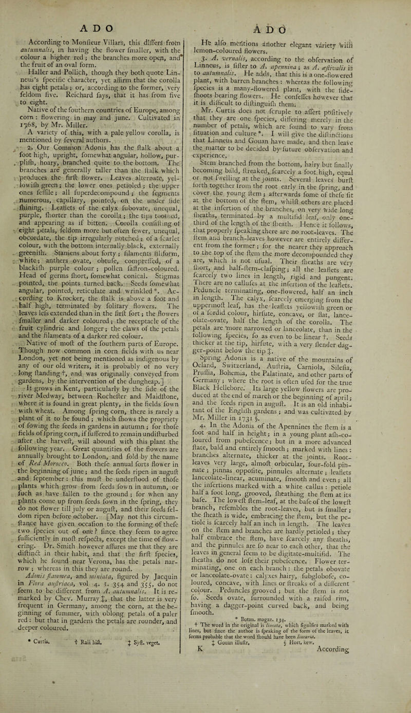 According to Monfieur Villars, this differs from atctumnaliSy in having the flower fmallerj with the colour a higher red ; the branches more open> and* the fruit of an oval form. Haller and Pollich, though they both quote Lin- ncus’s fpecific charaffer, yet affirm that the corolla has eight petals ; or, according to the former, very feldom five. Rcichard fays, that it has from five to eight. Native of the fouthern countries of Europe, among corn : flowering in may and June. Cultivated in 1768, by Mr, Miller. A variety of this, with a pale yellow corolla, is mentioned by feveral authors. 2i Our Common Adonis^ has the flalk about a foot high, upright, fomewhat angular, hollow, pur- plifh, hoary, branched quite to the bottom. The branches are' generally taller than the flalk which produces the firft flower. Leaves alternate, yel- lowiffi green; the lower ones petioled the upper ones feffile; all fuperdecompound; the fegments numerous, capillary, pointed, on the under fide filming. Leaflets of the calyx fubovate, unequal, purple, fliorter than the corolk; the tips toothed, and appearing as if bitten. Corolla confifting of eight petals, feldom more but often fewer, unequal, obcordate, the tip irregularly notched; of a fcarlet colour, with the bottom internally black, externally greenifh. Staniens about forty ; filaments filiform, white; anthers ovate, obtufe, compreffed, of a blackifli purple colour ; pollen faifron-coloured. Head of germs fliorti fomewhat conical. Stigmas pointed, the points turned back. Seeds fomewhat angular, pointed, reticulate and wrinkled *. Ac¬ cording to Krocker, the flalk is above a foot and half high, terminated by folitary flowers. The leaves lefs extended than in the firft fort 5 the flowers fmaller and darker coloured; the receptacle of the fruit cylindric and longer; the claws of the petals and the filaments of a darker red colour. Native of moft of the fouthern parts of Europe. Though now common in corn fields with us near London, yet not being mentioned as indigenous by any of our old writers, it is probably of no very long ftanding t, and was originally conveyed from gardens, by the intervention of the dungheap.] • It grows in Kent, particularly by the fide of the river Medway, between Rochefter and Maidftone, where it is found in great plenty, in the fields fown with wheat. Among fpring corn, there is rarely a plant of it to be found ; which fliows the propriety of fowing the feeds in gardens in autumn ; for thofe fields of fpring corn, if fuffered to remain undifturbed alter the harveft, will abound with this plant the following year. Great quantities of the fiow'ers are annually brought to London, and fold by the name of Red Morocco. Both thefe annual forts flower in the beginning of June; and the feeds ripen in auguft and feptember : this muft be underftood of thofe plants which grow from feeds fown in autumn, or fuch as have fallen to the ground ; for W'hen any plants come up from feeds fown in the fpring, they do not flower till July or auguft, and their feeds fel¬ dom ripen before odtober. [May not this circum- ftance have given occafion to the forming of thefe two fpecics out of on'e ? fince they feem to agree fufficiently in moft refpeefts, except the time of flow¬ ering. Dr. Smith however alllires me that they are diftinfi; in their habit, and that the firft fpecies, which he found near Verona, has the petals nar¬ row ; whereas in this they are round. Adonis jtammeay and miniatay figured by Jacquin in Flora auftriacay vol. 4. t. 354 and 355, do not feem to be different from A. autumnalis. It is re¬ marked by Chev. Murray J, that the latter is very frequent in Germany, among the corn, at the be¬ ginning of fummer, with oblong petals of a paler red : but that in gardens the petals are rounder, and deeper coloured. * Curtis. Rail liifl, J Syft, veget. He alfo mcritions aiiother elegant variety witii lemon-coloured flowers. 3* vernalisy according to the obfervation of Linneus, is, lifter to A). apennina\ as A. cejiivalis is to autumnalis. He adds, that this is a onc-flowered plant, wfith barren branches : whereas the followdng fpecies is a many..flowered plant, with the fide- ffioots bearing flowers. He confeffes however that it is difficult to diftinguiflr them. Mr. Curtis does not fcruple to affert pofitively that they are one fpecies, differing merely in the number of petals, which are found to vary from fituation and culture I will give the diftindtions that Linneus and Gouan have made^ and then leave the matter to be decided by*future obfervation and experience. Stem branched from the bottom, hairy but finally oecoming bald, ftreaked,^fcarcely a foot, high, equal or not fwelling at the joints. Several leaves burft forth together from the root early in. the fpring, and cover the young Item j afterwards fome of thefe lit at the bottom of the fiem, whilft others are placed at the infertion of the branches, on very wide loner flieaths,_ terminated, by a multifid leaf, only one- third of the length of the flieath. Hence it follow's, that properly fpeaking there are no root-leaves. The Item and branch-leaves however are entirely differ¬ ent from the former ; for the nearer they approach to the top of the ftem the more decompounded they are, which is not ufual. Their flieaths are very Ihort, and half-ftem-clafping; all the leaflets are fcarcely two lines in length, rigid and pungent. There are no callufes at the infertion of the leaflets. Peduncle teiminating, one-flowered, half an inch in length. The calyx, fcarcely emerging from the uppermoft leaf, has the leaflets yelJowilh green or of a fordid colour, hirfute, concave, or flat, lance¬ olate-ovate, half the length of the corolla. The petals are more narrowed or lanceolate, than in the following fpecies, fo as even to be linear t. Seeds thicker at the tip, hirfute, with a very flender dao- ger-point below the tip ° Spring Adonis is a native of the mountains of Oeland, Switzerland, Auftria, Carniola, Silelia,. I rullia, Bohemia, the Palatinate, and other parts of Germany; where the root is often ufed for the true Black Hellebore.' Its large yellow flowers are pro¬ duced at the end of march or the beginning of april; and the feeds lipen in auguft. It is an old inhabi¬ tant of the Englilh gardens j and was cultivated by Mr. Miller in 1731 §. 4. In the Adonis of the Apennines the ftem is a foot and half in height; in a young plant afli-co- louied from pubefcence; but in a more advanced ftate, bald and entirely fmooth ; marked with lines: branches alternate, thicker at the joints. Root- leaves Very large,, almoft orbicular, four-fold pin¬ nate ; pinnas oppolite, pinnules alternate ; leaflets lanceolate-linear, acuminate, fmooth and even; all the mfertions marked with a white callus ; petiole half a foot long, grooved, flreathing the ftem at its bafe. The loweft ftem-lcaf, at the bafe of the loweft branch, refembles the root-leaves, but is fmaller ; the fheath is wide, embracing the ftem, but the pe¬ tiole IS fcarcely half an inch in length. The leaVes on the ftem and branches are hardly petioled j they half embrace the ftem, have fcarcely any flieaths^ and the pinnules are fo near to each other, that the leaves in general feem to be digitate-multifid. The flieaths do not lofiif their pubcfccncei Flower ter¬ minating, one on each branch ; the petals obovate or lanceolate-ovate : calyxes hairy, fubglobofe, co¬ loured, concave, with lines or ftreaks of a dilferent ’ colour. Peduncles grooved ; but the ftem is not fo. Seeds ovate, furrounded with a raifed rim, having a dagger-point curved back, and being fmooth. * Botaii. magaz. 13,1.. t The word in the original is lineata, which fignifies marked with lines, but fince the author is fpeaking of the form of the leaves, it feems probable that the word fhould have been linearia. ^ Gouan illulfr. ^ Horr. kew.