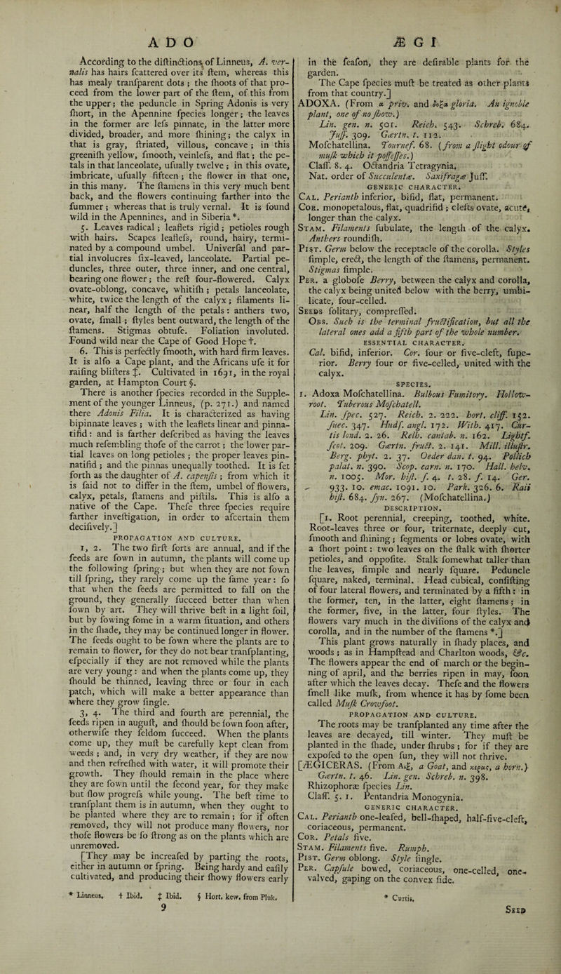 According to the diftindtionsj of Linneus, A. ver- nalis has hairs fcattered over its' ftem, whereas this has mealy traiifparent dots ; the Ihoots of that pro¬ ceed from the lower part of the ftem, of this from the upper; the peduncle in Spring Adonis is very ftiort, in the Apennine fpecies longer; the leaves in the former are lefs pinnate, in the latter more divided, broader, and more ftiining; the calyx in that is gray, ftriated, villous, concave; in this greenilh yellow, fmooth, veinlefs, and flat; the pe¬ tals in that lanceolate, ufually twelve ; in this ovate, imbricate, ufually fifteen; the flower in that one, in this many. The ftarnens in this very much bent back, and the flowers continuing farther into the fummer ; whereas that is truly vernal. It is found wild in the Apennines, and in Siberia *. 5. Leaves radical; leaflets rigid; petioles rough with hairs. Scapes leaflefs, round, hairy, termi¬ nated by a compound umbel. Univerfal and par¬ tial involucres fix-leaved, lanceolate. Partial pe¬ duncles, three outer, three inner, and one central, bearing one flower; the reft four-flowered. Calyx ovate-oblong, concave, whitifh; petals lanceolate, white, twice the length of the calyx; filaments li¬ near, half the length of the petals: anthers two, ovate> fmall ; ftyles bent outward, the length of the ftamens. Stigmas obtufe. Foliation involuted. Found wild near the Cape of Good Hope t. 6. This is perfedlly fmooth, with hard firm leaves. It is alfo a Cape plant, and the Africans ufe it for raifing blifters Cultivated in 1691, in the royal garden, at Hampton Court §. There is another fpecies recorded in the Supple¬ ment of the younger Linneus, (p. 271.) and named there Adonis Filia. It is characterized as having bipinnate leaves ; with the leaflets linear and pinna- tifid: and is farther deferibed as having the leaves much refembling thofe of the carrot; the lower par¬ tial leaves on long petioles ; the proper leaves pin- natifid ; and the pinnas unequally toothed. It is fet forth as the daughter of A. capenf.s ; from which it is faid not to differ in the ftem, umbel of flowers, calyx, petals, ftamens and piftils. This is alfo a native of the Cape. Thefe three fpecies require farther inveftigation, in order to afeertain them decifively.] PROPAGATION AND CULTURE. I, 2. The two firft forts are annual, and if the feeds are fown in autumn, the plants will come up the following fpring; but when they are not fown till fpring, they rarely come up the fame year: fo that when the feeds are permitted to fall on the ground, they generally fucceed better than when fown by art. They will thrive beft in a light foil, but by lowing fome in a warm fituation, and others in the fliade, they may be continued longer in flower. The feeds ought to be fown where the plants are to remain to flower, for they do not bear tranfplanting, efpecially if they are not removed while the plants are very young : and when the plants come up, they fhould be thinned, leaving three or four in each patch, which will make a better appearance than where they grow Angle. 3, 4. The third and fourth are perennial, the feeds ripen in auguft, and fhould be fown foon after, otherwife they feldom fucceed. When the plants come up, they muft be carefully kept clean from weeds ; and, in very dry weather, if they are now and then refrefhed with water, it will promote their growth. They fhould remain in the place where they are fown until the fecond year, for they make but flow progrefs while young. The beft time to tranfplant them is in autumn, when they ought to be planted where they are to remain; for if often removed, they will not produce many flowers, nor thofe flowers be fo ftrong as on the plants which are unremoved. [They may be increafed by parting the roots, cither in autumn or fpring. Being hardy and eafily cultivated, and producing their fliowy flowers early ill the feafon, they are defirable plants for the garden. The Cape fpecies muft be treated as other plants from that country.] ADOXA. (From « privi and gloria. An ignoble plantt one of no Jhow.) Lin. gen. n. 501. Reich,. 543. Schreb. 684. JiiJf. 309. Gccrtn. /. 112. Mofchatellina. Fournef. 6%. [from a fight odour ^ mujk which it pojfejjes.) Clair. 8. 4. O^tandria Tetragynia. Nat. order of Succiilentce. Saxifragee Juff. GENERIC CHARACTER. Cal. Perianth inferior, bifid, flat, permanent. Cor. monopetalous, flat, quadrifid ; clefts ovate, acuttf, longer than the calyx. Stam. Filaments fubulate, the length of the calyx. Anthers roundifli. PisT. Germ below the receptacle of the corolla. Styles fimple, ereeft, the length of the ftamens, permanent. Stigmas fimple. Per. a globofe Berry, between the calyx and corolla, the calyx being united below with the berry, umbi- licate, four-celled. Seeds folitary, comprelTed. Obs. Such is the terminal fruElification, but all the lateral ones add a fifth part of the whole number. essential character. Cal. bifid, inferior. Cor. four or five-cleft, fupe- rior. Berry four or five-celled, united with the calyx. SPECIES. I. Adoxa Mofchatellina. Bulbous Fumitory. Hollow- root. Fuberous Mofchatell. Lin. fpec. ^2']. Reich. 2. 222. hort. cliff. 152. fuec. 347. Hudf. angl. 172. With. 417. Cur¬ tis lo7id. 2. 26. Relh. canlab. n. 162. Lightf. fcot. 209. Gcertn. frudl. 2. 141. Mill, illuflr. Berg. phyt. 2. 37. Oeder dan. t. 94. Pollich palat. n. 390. Scop. earn. n. 170. Hall, helv., n. 1005. Mor. hifl. y. 4. /. 28. f. 14. Ger. ^ 933. 10. emac. 1091. 10. Park. 326. 6. Raii hifl. 684. fyn. 267. (Mofchatellina.) DESCRIPTION. [i. Root perennial, creeping, toothed, w'hite. Root-leaves three or four, triternate, deeply cut, fmooth and ftiining; fegments or lobes ovate, with a fhort point: two leaves on the ftalk with fhorter petioles, and oppofite. Stalk fomewhat taller than the leaves, fimple and nearly fquarc. Peduncle fquare, naked, terminal. Head cubical, confifting of four lateral flowers, and terminated by a fifth: in the former, ten, in the latter, eight ftamens; in the former, five, in the latter, four ftyles. The flowers vary much in the divifions of the calyx anc^ corolla, and in the number of the ftamens *.] This plant grows naturally in fhady places, and woods ; as in Hampftead and Charlton woods, Cfc. The flowers appear the end of march or the begin¬ ning of april, and the berries ripen in may, foon after which the leaves decay. Thefe and the flowers fmell like mufk, from whence it has by fome been called Mufk Crozvfoot. PROPAGATION AND CULTURE. The roots may be tranfplanted any time after the leaves are decayed, till winter. They muft be planted in the fhade, under fhrubs ; for if they are expofed to the open fun, they will not thrive. [AlGICeRAS. (From.AtL aGoat,3ind a horn.} Gartn. t. 46. Lin. gen. Schreb. n. 398. Rhizophoras fpecies Lin. Clair. 5. I. Pentandria Monogynia. GENERIC CHARACTER. Cal. Perianth one-leafed, bell-fhaped, half-five-cleft, coriaceous, permanent. CoR. Petals five. Stam. Filainents five. Rumph. Pi ST. Germ oblong. Style Angle. Per. Capfule bowed, coriaceous, one-celled, onc- valved, gaping on the convex fide. Seep * Lioneus, + Ibid, f Ibid. § Hort, kew. from Pluk. 9 * Curtis,