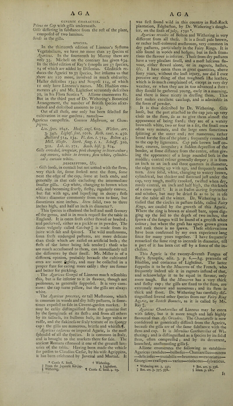 GENERIC CHARACTER. - Pileus or Cap with gills underneath. Gills differing in fubflance from the reft of the plants compofed of two laminas. Seeds in the gills. SPECIES. In the thirteenth edition of Linneus’s Syftema Vegetabilium, we havc.no more than 27 fpecies of Agaricus. In the fourteenth by Murray there are 35* Micheli on the contrary has given 634. In the third edition of Ray’s fynopfis are 57 fpecies^ 14 of which are added by Dillenius. Gleditlch re¬ duces the Agarici to 32 fpecies, but informs us that there are 120 more, involved in much obfeurity. Haller deferibes 134; and Scopoli 114, of which 11 only have Linneus’s names. Mr. Hudfon enu¬ merates 46 ; and Mr. Lightfoot accurately deferibes 20, in his Flora Scotica *. Allione enumerates 82. But in the third part of Dr. Withering’s Botanical Arrangement, the number of Britifh fpecies afeer- tained and deferibed amounts to 213. Out of all thefe, one only has been feledled for cultivation in our gardens ; namely— Agaricus campeftris. Common Mujhroomy or Cham¬ pignon. Lin. fpee. 1641. Hudf. angl. 610. Wither, arr. 3. 342. Light/, fcot. 1016. Relh. eant. n. 450. Bidliard 514, 134. FI. dan. t. 714. Bolton 45. Mill, illu/r. Sterh. fiing. t. i. Schceff. 310, 311. Loh. ic. 271. Bauh. hi/. 3. 824. Gills erozvdech irregulary pink changing to liver-colour; cap conveXy zvhite to brozm; jiem zvhitCy cylindri¬ cal ; curtain Zvhite. .DESCRIPTION, &C. ' Gills loofe, in contact but not united with the ftem, very thick fet, fome forked next the flem, fome next the edge of the cap, fome at both ends, and generally in that cafe excluding the intermediate Imaller gills. Cap white, changing to browm when old, and becoming feurfy, flefhy, regularly convex, but flat with age, and liquefying in decay; flefh white: diameter commonly from two to four, but fometimes nine inches. Stem folid, two to three inches high, and half an inch in diameter t. This fpecies is efteemed the beftand moft favoury of the genus, and is in much requeft for the table in England. It is eaten frefh either flewed or broiled; and preferved, either as a pickle or in powder. The fauce vulgarly called Catchup :{i is made from its juice w'ith fait and fpices §. The wild muflirooms, from frelli undunged paftures, are more delicate than thofe which are raifed on artificial beds ; the flefh of the latter being lefs tender ||: thofe who are much accuftomed to them, can immediately tell the difference by their fmell. Mr. Miller is of a different opinion, probably becaufe the cultivated ones are more ifghtly, and may be colleffed in a proper flate for eating more eafily : they are firmer and better for pickling. The Agaricus Georgii of Linneus much refembles this, but is far inferior to it in flavour, though not poifonous, as generally fuppofed. It is very com¬ mon : die cap turns yellow, but the gills are always white. The Agaricus proceruSy or tall Mufhroom, which is common in woods and dry hilly paftures, is fome¬ times expofed to fale in Covent-garden market. It may be eafily dilf inguifhed from the genuine fort by the fponginefs of its flefh; and from all others by its tallnefs, its bulbous bafe, its large volva or ruffle, and the flakinefs or fcaly texture of its fpongy cap : the gills are numerous, brittle and wLitifh f. Agaricus cccjareus or imperial Agaric, is the moft fplendid of all the fpecies. It is common in Italy, and is brought to the markets there for fale. The ancient Romans efteemed it one of the greateft lux¬ uries of the table. Having been made the vehicle for poifon to Claudius Caifar, by his wife Agrippina, it has been celebrated by Juvenal and Martial. It * Curtis fl. lond. + Withering, f From the japanefe Kit-jap. § Lightfoot. it Withering. ? Curtis fl. lond. 4. 69. was firft found wild in this country in Red-Roc.k plantation, Edgbafton, by Dr. Withering's daugh¬ ter, on the fixth of July, 1791*. Agaricus orcades of Bolton and Withering is very different from all thefe. It is a fmall pale browm, or rather buff-coloured mufhroom, very common in. dry paftures, particularly in the Fairy Rings. It is alfo found in wpbds and hedges; but in fuch fitua- tions the flavour is inferior. Thofe from dry paftures have a very pleafant fmell, and a moft lufeious fla¬ vour, either ftewed alone, or in ragouts, haflhes, iAc. I have eaten them in great quantities, above forty years, without the leaft injury, nor did I ever perceive any thing of that toughnefs like leather, W’hich is fo much complained of, except in very dry weather, or v hen they are in too advanced a ftate : they fliould be gathered young, early in a morning, and there is fome nicety in drefling them. This fort makes excellent catchup, and is admirable in the form of powder. It is thus deferibed by Dr. Withering. Gills loofe, but the part attached to the cap juts up very clofe to the ftem, fo as to give them almoft the appearance of being fixed; they are of a watery brownifli white, two or four in a fet, the fmall ones- often very minute, and the large ones fometimes fplitting at the outer end; not numerous, rather broad for the fize of the plant ; frequently connedled to the cap by ligaments. Cap pale brown buff co¬ lour, convex, irregular; a fudden depreflion of the border, at fome diftance from the centre, often siv- ing the appearance of a large rounded bofs in the middle; central colour generally deeper ; it is from an inch to an inch and three quarters in diameter, the edge turning up with age, and frequently much torn. Stem folid, white, changing to watery brown, cylindrical, but thicker and flattened juft under the cap, very tough, moftly crooked, twifted when dry, rarely central, an inch and half high, the thicknefs of a crow quill t. It is in feafon during feptember and odlober, but may be dried fo as to be in ufe for the table all the winter. Dr. Withering is fa- tisfied that the circles in pafture fields, called Fairy RingSy are caufed by the growth of this Agaric. Where the ring is brown or almoft bare, upon dig¬ ging up the foil to the depth of two inches, the fpawn of the fungus will be found of a greyifh white colour; but where the grafs has again growm green and rank there is no fpawn. Thefe obfervations have been confirmed by my own experience long fince for many years together. ' I have frequently remarked the fame ring to increafe in diameter, till a part of it has been cut off by a fence of the in- clofure. This Agaric is the tw'enty-feventh Fungus of Ray’s Synopfis, edit. 3. p. 6.—Ag. pratenfis of Hudfon, and coriaceus of Lightfoot. The latter fuppofes it to be the Mouceron of the French, who frequently indeed ufe it in ragouts inftead of that, and acknowledge it to be equal in flavour, only- more tough. But the Mouceron has a very thick and fleftiy cap ; the gills are fixed to the ftem, are extremely narrow- and numerous ; and its ftem is thick and fhort. Dr. Withering has carefully dif- tinguiflied feveral other fpecies from our Fairy Ring Agaric, or Scotch Bonnets, as it is called by Mr. Ray^. _ Agaricus Chantarellus of Linneus may be eaten with fafety, but it is more tough and lefs highly flavoured than Ag. Orcades. The Chantarelle is now confidered as generically diftind from the Agarics, becaufe the gills are of the fame fubflance with the ftem and cap. It is Merulius Cantharellus of Wi¬ thering ; and is diftinguiflied as a fpecies by its folid ftem, often comprelfed ; and by its decurrent, branched, anaftomofing gills §. Allione enumerates the following as eatable—- Agaricus candidus—bulbofus—Chantarellus—nitens —deliciofus — mutabilis —brunneus —excoriatus— Georgii—craflipes — varius-—violaceus—fylvaticus. * Withering arr. 3, 331, + Bot. arr. 3. 336. f Bot. arr. p. 337, 338. § Idem, p. 281. It