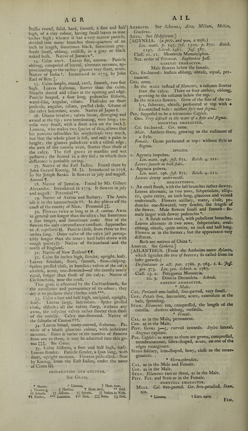 Melica^, Stalks round, folid, hard, finooth, a foot and half high, of a clay colour, having Imall leaves to nine '■inches high ; whence it has a very narrow panicle, divided into many branches three-quarters of an inch in length, fometimes black, fometimes gray. Seeds fmall, oblong, reddifh, in a gray or black naked hulk. Native of Jamaica 24. Culm ereft. Leaves flat, narrow. ’ Panicle oblong, compoled of lateral, alternate racemes, ap¬ proximating to the rachis : glumes very fliort, acute. Native of India t. Introduced in 1773, by John Earl of Bute X- 25. Culm iimple, round, eredt, fmooth, two feet high. Leaves fcabrous, Ihorter than the culm. Sheaths dotted artd ciliate at the opening and edge. Panicle heaped, a foot long, peduncles filiform, wand-like, angular, ciliate. Flofcules on fhort pedicels, angular, ciliate, prefled clofe. Glume of the calyx lanceolate, acute. Native of Japan §. 26. Glume bivalve ; valves linear, diverging and awned at the tip ; awn terminating, very long; co¬ rolla very fmall, with a fliort awn on the backl|. Linneus, w ho makes two fpecies of this, allows that his paniceiis refembles his monjpelienfis very much, but that the whole plant is foft, and only a palm in height; the glumes pubefeent with a villole edge ; the awn of the corolla even, fnorter than thofe of the calyx. The firft grows in marihes and wet paftures ; the fecond in a dry foil; to which their difference is probably owing. 27. Native of the Eaft Indies. Found there by John Gerard Koenig, M. D. Introduced in 1778, by Sir Jofeph Banks. It flowers in July and“auguft. Annual f. 28. Native of Jamaica. Found by Mr. Gilbert Alexander. Introduced in 1779. It flowers in July and auguft. Perennial 29. Native of Arabia and Barbary. The Arabs ufe it in the haemorrhoids tt. In dry places oflf the coaft of the county of Nice. Perennial XX- 30. Flowers twice as long as in A. canina. Awns in general not longer than the calyx ; but fometimes a line longer, and fometimes none. Size of the flowers the only circumftance conftant. Approaches to A. capillaris §§. Panicle clofe, from three to five inches long. Outer valve of the calyx juft percep¬ tibly longer than the inner : keel befet above with rough points ||||. Native of Switzerland and the north of England. 3 r. Native of Nev/ Zealand f 32. Culm fix inches high, flender, upright, leafy. Leaves fubulate, fliort, fmooth, ftem-clafping. Spikes prefled clofe, in bundles; valves of the calyx, awnlefs, acute, one-flowered—of the corolla nearly equal, longer than thofe of the calyx. Native of Cochinchina, near the coaft. This grafs is efteemed by the Cochinchinefe, for the excellence and permanency of its odour; they dry it to perfume their clothes with***. '33. Culm a foot and half high, ancipital, upright, leafy. Leaves large, lanceolate. Spike prefted clofe, diftich ; all the valves iharp, without any awns, the calycine valves rather fhorter than thofe of the corolla. Calyx one-flowered. Native of the fuburbs of Canton ttt. 34. • Leaves broad, many-nerved, fcabrous. Pa¬ nicle of a bluifti glaucous colour, wdth imbricate racemes. Since it varies in the number of ftamens from one to three, it may be admitted into this nusjljili- Cinna. 35. Culm filiform, a foot and half high, leafy. Leaves flender. Panicle flender, a fpan long, with Ihort, upright racemes. Flowers pedicellcd. Sent by Koenig, from the Eaft Indies, under the name of Cinna §§§. PROPAGATION AND CULTURE, Sec Grass. * Sloane. + Linneus. f Hort. kcw. § Thunberg. 1| Hudfon. Hort. kevv. ** Ibid. H Schreb. ff Allione. Schreb. HH Stokes in With. Forlier, *** Loureiro, f+t Ibid. Retz. -§5^ Ibid. A I L AgrOstis. See Schoenns, Aira^ Mihum^ Cenchrus. Agul. See Hedyfarum.'] [AGYNEIA. [a. priv. and ymn, a wife.) Lin.-mant. p. 145./ly?. 1320. p. 871. Reich. , 1197* Schreb. lyGp. 387. Clair. 21. II. Monoecia Monadplphia. Nat. order of 'Rricocca. Euphorbia JulT. GENERIC character. Male flowers below the female. Cal. fix-leaved: leaflets oblong, obtufe, equal, per¬ manent. Cor. none. In the male inftead of filaments, a column Ihorter than the calyx. Three or four anthers, oblong, growdng to the column below the top. In the FEMALE fiow'ers. Germ of the fize of the ca¬ lyx, fubovate, obtufe, perforated at top with a fix-notched hole : ntxlhex fiyIe nor Jligma. Per. fuppofed to be a tricoccous Capfule. Obs. Very diftinSl in the want of a flyle and fiigma. ESSENTIAL CHARACTER. Cal. fix-leaved. Cor. none. Male. Anthers three, growing to the rudiment of a ftyle. Female. Germ perforated at top : without ftyle or ftigma. SPECIES. 1. Agyneia impubes. Lin. mant. 296. fyfi. 871. Reich. 4. 2ii. Leaves fmooth on both fides. 2. Agyneia pubera. Lin. mant. 296. fyfi. 871. Reich. 4. 212. Leaves downy underneath. , DESCRIPTIONS. * I. An ered Ihrub, with the laft branches rather dow'ny. Leaves alternate, in two row^s, fubpetiolate, ellip¬ tic, quite entire, an inch long, glaucous and veined underneath. Flowers axillary, many, clofe, pe¬ duncles one-flowered, very flender, the length of the flower. Male flowers fmall and fmooth : fe¬ male larger with downy peduncles *. 2. A fhrub rather ered, with pubefeent branches. Leaves alternate in two rows, fubpetiolate, oval- oblong, obtufe, quite entire, an inch and half long. Flowers as in the former j but the appearance very different. Both are natives of China t. Ahouai. See Cerbera.'] [AILANTHUS. (From the Amboina name Aylanto, which fignifies the tree of heaven j fo called from its lofty growth.) . Desfontaines in abl. par. 1786. p. 265. t. 8. fuff. gen. 373. Lin. gen. Schreb. n. 1767* Claff. 23. I. Polygamia Monoecia. 22. 9. Dioecia Decandria. Schreb, GENERIC CHARACTER. * Male. Cal. Perianth one-leafed, five-parted, very fmall. Cor. Petals five, lanceolate, acute, convolute at the bafe, fpreading. Stam. Filaments ten, comprelfed, the length of the corolla. Anthers oblong, verfatile. * Female. Cal. as in the Male, permanent. Cor. as in the Male. PisT. Germs 3—5, curved inw'ards. Styles lateral. Stigmas capitate. Per. Capfules as many as there are germs, comprelfed, membranaceous, fabre-fliaped, acute, on one of the edges emarginate. Seeds folitary, lens-fhaped, bony, clofe to the emar- ginaturc. , * 'Hermaphrodite, Cal. as in the Male and Female. Cor. as in the Male. Stam. Filaments two or three, as in the Male. PiST. Per. and Seed as in the Female. ESSENTIAL CHARACTER. Male. Cal. five-parted. Cor. five-petalled. Stam„ ten. * Linneus* i: Linn, npnt. Fem.