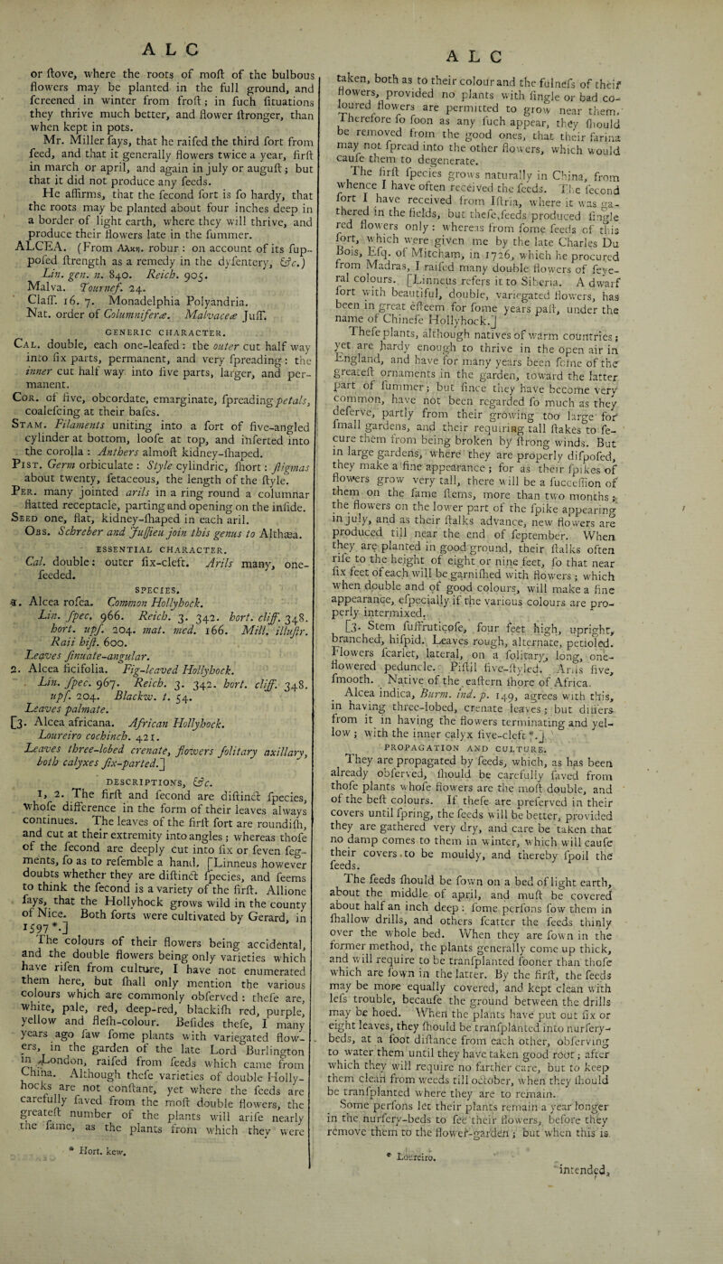 or ftove, where the roots of moft of the bulbous flowers may be planted in the full ground, and fcreened in winter from fro ft; in fuch fituations they thrive much better, and flower ftronger, than when kept in pots. Mr. Miller fays, that he raifed the third fort from feed, and that it generally flowers twice a year, firft in march or april, and again in July or auguft; but that it did not produce any feeds. He affirms, that the fecond fort is fo hardy, that the roots may be planted about four inches deep in a border of light earth, where they will thrive, and produce their flowers late in the fummer. ALCEA. (From Aaxh. robur : on account of its fup- pofed ftrength as a remedy in the dyfentcry, ^c,) Lin. gen. n. 840. Reich. 905. Malva. Lournef. 24. Clair. 16. 7. Monadelphia Polyandria. Nat. order of Columniferce. Mahacece JuffT. GENERIC CHARACTER. Cal. double, each one-leafed : the outer cut half way into fix parts, permanent, and very fpreading: the inner cut half way into five parts, larger, and per¬ manent. Cor. ct five, obcordate, emarginate, fpreading coalefcing at their bafes. Stam. Filaments uniting into a fort of five-angled cylinder at bottom, loofe at top, and inferred into the corojla : Anthers almoft kidney-lhaped. PiST. Germ orbiculate : Style cylindric, ftiort: Jligmas about twenty, fetaceous, the length of the ftyle. Per. many jointed arils in a ring round a columnar flatted receptacle, parting and opening on the infide. Seed one, flat, kidney-lhaped in each aril. Obs. Schreber and JujJieu join this genus to Althtea. ' ESSENTIAL CHARACTER. Cal. double; outer fix-cleft. Arils many, one- feeded. SPECIES. >1. Alcea rofea. Common Hollyhock. Lin. Jpec, 966. Reich. 3. 342. horf. cliff. 348. hort. upf. 204. mat. med. 166. Mill, illujir. Rail htji. 600. Leaves finuate-angular. 2. Alcea ficifolia. Fig-leaved Hollyhock. . Lin. Spec. 967. Reich. 3. 342. hort. cliff. 348. upf. 204. Blackw. t. 54. Leaves palmate. jj3. Alcea africana. African Hollyhock. Loureiro cochinch. 421. Leaves three-lobed crenatCy flowers Jolitary axillary, both calyxes fix-parted.'^ DESCRIPTIONS, 1, 2. The firft and fecond are diftincft fpecies, ■Whofe difference in the form of their leaves always continues. The leaves of the firft fort are roundilh, and cut at their extremity into angles ; whereas thofe of the fecond are deeply cut into fix or feven feg- ments, fo as to refemble a hand. [[Linneus however doubts whether they are diftind fpecies, and feems to think the fecond is a variety of the firft. Allione fays, that the Hollyhock grows wild in the county of Nice. Both forts were cultivated by Gerard, in 1597*.] The colours of their flowers being accidental, and the double flowers being only varieties which have rifen from culture, I have not enumerated them here, but lhall only mention tfie various colours which are commonly obferved : thefe are, white, pale, red, deep-red, blackilh red, purple, yellow and flefti-colour. Befides thefe, I many years ago faw fome plants with variegated flow- . crs, in the garden of the late Lord Burlington m .Eondon, raifed from feeds which came from Lhina. Although thefe varieties of double Holly¬ hocks are not conftant, yet where the feeds are caretully faved from the moft double flowers, the greateft number of the plants will arife nearly the lame, as the plants trom which they were A L C taken, both as to their colour and the fulnefs of theif ffowers provided no plants with Angle or bad co-^ loured flowers are permitted to grow near them. 1 herelore fo foon as any luch appear, they fliould be removed from the good ones, that their farina may not fpread into the other flowers, which would caufe them to degenerate. The firft fpecies grows naturally in China, from whence I have often received the feeds. The fecond fort I have received from Iftria, where it was fea¬ thered in the fields, but thefe,feeds produced Angle red flowers only: whereas from fome feeds of this fort, which were given me by the late Charles Du Bois, Efq. of Mitcham, m 1726, which he procured from Madras, I railed many double flowers of feye- ral colours. [Linneus refers it to Siberia. A dwW fort with beautiful, double, variegated flowers, has been in great efteem for fome years pafh, under the name of Chinefe Hollyhock.j] Thefe plants, although natives of warm countries; yet are hurdy enough to thrive in the Open air in England, and have for many years been feine of the greateft ornaments in the garden, toward the latter part of fummer; but fince they have become very common, have not been regarded fo much as they deferve, partly from their growing tOo large for' fmall gardens, and their requiring tall ftakes to fe- cure them from being broken by ftrong winds. But in large gardens, where they are properly difpofed, they make a fi.ne appearance ; for as their fpikes of flowers grow very tall, there will be a fuccefiion of them on the fame ftems, more than two months ;■ the flowers on the lov/er part of the fpike appearing in July, and as their ftalks advance, new flowers are produced till near the end of feptember. When they are planted in good ground, their ftalks often rife to the height of eight or nine feet, fo that near fix feet of each will be garnilhed with flowers; which when double and of good colours, will make a fine appearance, efpeci-ally if the various colours are pro¬ perly intermixed. [3. Stem_ fuffruticofe, four feet high, upright,, branched, hifpid. Leaves rough, alternate, petioled. Flowers fcarlet, lateral, on a folitarj^ long, one- flowered peduncle. Piftil five-ftyled. Ards five, fmooth. Native of the eaftern ihore of Africa. Alcea indica, Burm. ind.p. 149, agrees with this, in having thfec-lobed, crenate leaves ; but difiers from it in having the flowers terminating and yel¬ low ; with the inner calyx five-cleft *._j ' PROPAGATION AND CULTURE. They are propagated by feeds, which, as has been already obferved, Ihould be carefully faved from thofe plants whofe flowers are the moft double, and of the beft colours. If thefe are preferved in their covers until fpring, the feeds will be better, provided they are gathered very dry, and care be taken that no damp comes to them in winter, which will caufe their covers.to be mouldy, and thereby fpoil the' feeds. The feeds fhould be fown on a bed of light earth, about the middle of april, and muft be covered about half an inch deep; fonae perfons fow them in fhallow drills, and others fcatter the feeds thinly over the whole bed. When they are fown in the former method, the plants generally come up thick, and v/ill require to be tranfplanted fooner than tliofe which are fown in the latter. By the firft, the feeds may be more equally covered, and kept clean with lefs trouble, becaufe the ground between the drills rnay oe hoed. When the plants have put out fix or eight leaves, they ftiould be tranfplanted into nurfery- beds, at a foot diftance from each other, obfervmg to water them until they have taken good root; after which they will require no farther care, but to keep them clean from v/eeds till od;ober, when they Ihould be tranfplanted w here they are to remain. Some perfons let their plants remain a year longer in the nurfery-beds to fee their flowers, before they remove them to the flowef-garden ; but when this is. * Hort. kevv. * Loureiro. ' intended, i *