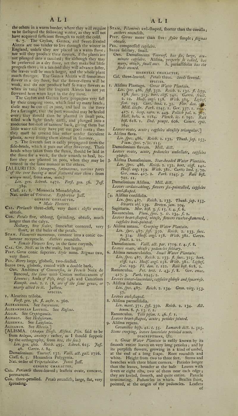 the others in a warm border, where they will require to be llieltered the following winter, as they will not have acquired fufficient ftrength to refift the cold. 6. 7. The Ceylon, Guinea, and fwcet-feented Aletris are too tender to live thi'ough the winter in England, unlefs they are placed in a w'arm ftove ; nor will they produce their iiowers, if the plants are not plunged into a tan-bed ; for although they may be preferved in a dry Hove, yet they make but little progrefs there ; m a tan-bed they will advance fafter, the leaves will be much larger, and the whole plant much Ifronger. The Guinea Aletris w'ill fometimes flower in a. dry Hove, but the Hower-Hems will be weak, and do not produce half fo many flow'ers as when in tan; but the fragrant Aletris has not yet flow'ered here w'lien kept in the dry Itove. The Ceylon and Guinea forts propagate very faH by their creeping roots, w^hich fend up many heads; thefe may be cut olf in june, and laid in the Hove for a fortnight, that the part w^ounded may be healed over; they Ihould then be planted in fmall pots, filled with light fandy earth, and plunged into a moderate hot-bed of tanners’ bark, giving them but little water till ti^ey have put out good roots ; then they mult be treated like other tender fucculent plants, never fetting them abroad in fummer. 7. The feventh fort is eafily propagated from the fide-heads, which it puts out after flowering. Thefe heads when taken from the Hems, fliould be laid in the Hove for a week, for their wounds to heal, be¬ fore they are planted in pots, when they may be treated in the fame manner as the others. [ALEURlTES. farinaceous^ various parts of the tree having a meal fcattered over them : from mealy from aA£iw, molo.) Lin. gen. Schreb. 1472. Forft. gen. 56. Juff. Claff. 21. 8. Monoecia Monadelphia. Nat. order of Lricoccce. Euphorbia Juffl GENERIC CHARACTER. * Male Flowers. Cal. Perianth three-cleft, very Hiort: clefts ovate, obtufe. Cor. Petals five, oblong, fpreading, obtufe, much longer than the calyx. Nebtary, five fcaleSy fomewhat cornered, very Hiort, at the bafes of the petals. Stam. E/Vflwzev/r numerous, connate into a conic co¬ lumnar receptacle. Anthers roundilb. * Female Flowers few, in the fame corymb. Cal. Cor. Neff, as in the male, but larger. Pi ST. Germ conic fuperior. Style none. Stigmas two, very Hiort. Per. Berry large, globofe, twm-feeded. Seeds tw’o, globofe, coated with a double bark. Ous. Ambinux of Commerfon, in French Noix de Bancoul, the fame with Croton moluccanum of Lnineus • Anda e/ PifOy braf. 148. and Camirium Rumph. a7nb. 2. t. 58, are of the fame^ genusy or nearly allied to it. JuHieu. SPECIES. I. Aleurites triloba.- Forf. gen. 56. fl. auftr. n. 360. Alexanders. See Smyrnium. Alexandrian Laurel. See Rufeus. A LG^. See Cryptogamia. Alhagi. See Hedyfarum. Aliienna. See Lawfonia. Alisanus. See Rhexia.'] [ALISMA. (AAkt/ak Diofe. Alifma. Plin. faid to be from AAuVaa, anxiety : rather, as I fiiould fuppofe by the orthography, from AAf, the fea.) Lin. gen. 460. Reich. 495. Schreb. 625. fuff. 46. Gcertn. t. 84. Damafonium. Fournef. 132. Vaill. aff. gall. 1716. Clafl'. 6. 5. Hexandria Polygynia. Nat. order of Fripetaloidece. Junei Juffi generic character. Cal. Perianth three-leaved ; leaflets ovate, concave, permanent. Cor. three-petalled. Petals roundifli, large, flat, very fpreading. A L I Stam. Filaments awd-Hiaped, fliorter than the corolla; anthers roundifli. PiST. Germs more than five: fyles Ample; ftigmas obtufe. ' ^ Per. comprefled capfules. Seeds folitary, fmall. Obs. Damafonium Fournef. has fiXy largey acu~ minate capfules. Alifma, properly fo calledy has manyy obtufey fmall ones. A. parnaflifolia has the feeds awned. essential character. Cal. three-leaved. Petals three. Seeds feveral. species. 1. Alifma Plantago. Great IFater Plantain. Lin. fpec. 486. fyft. 350. Reich. 2. 132. fl. lapp. 138. fuec. 323. hort. cliff. 241, G^rtn. fruff. 2.22. Hudf. angl. i^%. With. Lightf. fcot. 193. Curt. lond. i. 32. Flor. dan. Mill, illuflr. Park. 1245. 337* i- ■417. I. Scop. earn. n. 449, Pollich pal. n. 367. Hall. helv. n. 1184. Plenck. ic. t. 292. Rail hifl. 618. I. Dod. pempt. 606. Camer. epit. 264. Leaves ovatey acute-, capfules obtufely triangular. 2. Alifma flava. Lin. fpec. Reich. 1. 132. Fhunb.jap. 153, Plum. fpec. 7. ic. 115. Damafonium flavum. Mill. diff. Leaves ovate, acute, peduncles umbellate, xapfules globofe. 3. Alifma Damafonium. Star-headed Water Plantain. Lin. fpec. 486. Reich. 2. 132. hort. cliff. 141. Hudf. ang. 159. With. 381. Curtis lond. 5. 70. Ger. emac. 417. 2. Park. 1245. 3. kifl. 701. II. Damafonium Alifma. Mill, diff... Leaves cordate-oblong, flowers fix-pointalled, capfules awl-Jhaped. 4. Alifma cordifolia. Lin. fpec. fiq. Reich. 1. 133. Fhunh. jap. 153. Swartz obf. 139, Brozvn. jam. 204. Sagittaria. Mor. hifl. 3./. 15. /. 4./. 6. Ranunculus. Plum. fpec. 7. ic. 234. f. 2. Leaves heart-fhaped, obtufe, flowers twelve-flamened, capfules hook-pointed. 5. Alilma natans. Creeping Water Plantain. Lin. fpec. fyfl. 350. Reich. 2. ffec. n. 324. Hudf. angl. 158. With. 381. Gartn. fruff. 2. 22. Damafonium. Vaill. aff. par. 1719. t. ^.f. 8. Leaves ovate, obtufe; peduncles folitary. 6. Alifma ranunculoides. Small Water Plantain, Lin. fpec. 487, Reich. 2. 133. fl.fuec. 325. hort. clff. 141. Hudf angl. 158. With. 382. Lightf. fcot. 193. Fl. dan. t. 122. Rail hifl. 618. 2. Ranunculus. Pet. brit. t. 43. f. 8. Ger. emac. 417. 3. Park. 1245. 2. Leaves linear-lanceolate, capfules globofe and fquarrofe. 7. Alifma fubulata. Lin. fpec. 487. Reich. 1. 134. Gron. virg. 153. 57- Leaves awl-Jhaped. 8. Alifma parnaflifolia. Lin. mant. fyfl. Reich. 2. 134. Aff. bonon. 6. p. 13. t. I. Ranunculus. Fillipifan. t. fh. f. i. Leaves heart-floaped, acute-, petioles jointed. 9. Alifma repens. Cavanilles hifp. 41. t. 55. Lamarck diff. 1. 515. Stems creeping, leaves lanceolate petioled acute. < descriptions, (Ac. I. Great Water Plantain is eafily known by its fmooth entire leaves on very long petioles ; and by its purplifh flowers, growing in a kind of umbel, at the end of a long fcape. Root roundifli and white. Height from two to three feet. Stems and branches with three blunt corners. Petioles longer than the leaves, broader at the bafe Leaves with feven or eight ribs, two of them near each edge ; they are keeled, fmooth, and quite entire. Panicle terminating. Peduncles in whirls. Braefles Hiort, pointed, at the origin of the peduncles. Leaflets I of