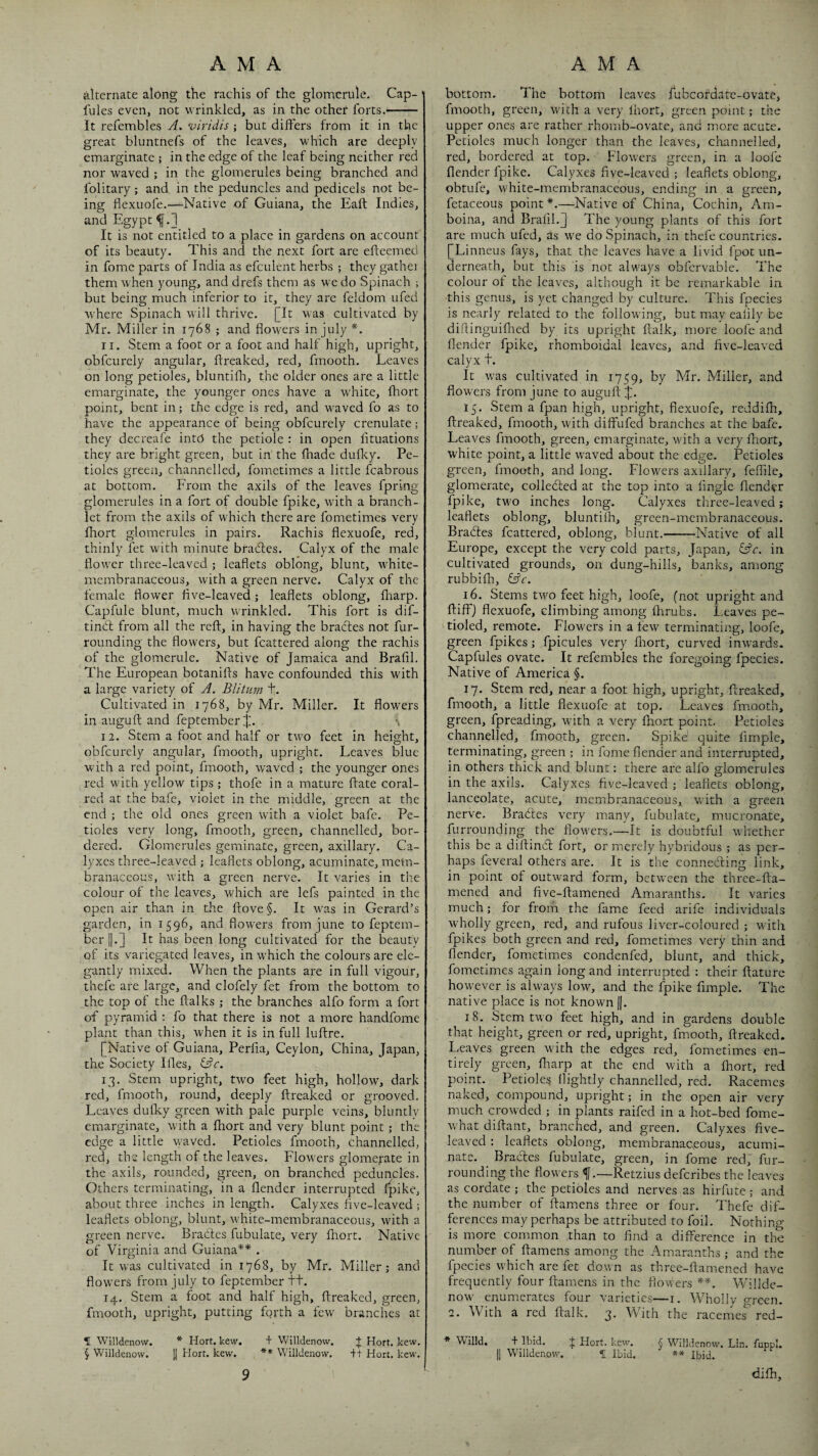 alternate along the rachis of the glomcrule. Cap- fules even, not wrinkled, as in the other forts.- It refembles A. viridis ; but differs from it in the great bluntnefs of the leaves, which are deeply cmarginate ; in the edge of the leaf being neither red nor waved ; in the glomerules being branched and folitary; and in the peduncles and pedicels not be¬ ing flexuofe.—Native of Guiana, the Eaft Indies, and Egypt ^.1 It is not entitled to a place in gardens on account of its beauty. This and the next fort are efteemed in fomc parts of India as efculent herbs ; they gathci them when young, and drefs them as we do Spinach ; but being much inferior to it, they are feldom ufed where Spinach will thrive. [It was cultivated by Mr. Miller in 1768 ; and flowers in July 11. Stem a foot or a foot and half high, upright, obfcurely angular, flreaked, red, fmooth. Leaves on long petioles, bluntifh, the older ones are a little emarginate, the younger ones have a white, fliort point, bent in; the edge is red, and waved fo as to have the appearance of being obfcurely crenulate; they decreafe into the petiole : in open fituations they are bright green, but in the fhade dufky. Pe¬ tioles green, channelled, fometimes a little fcabrous at bottom. From the axils of the leaves fpring glomerules in a fort of double fpike, with a branch- let from the axils of which there are fometimes very Ihort glomerules in pairs. Rachis flexuofe, red, thinly fet with minute bradles. Calyx of the male flower three-leaved ; leaflets oblong, blunt, white- membranaceous, with a green nerve. Calyx of the female flower five-leaved; leaflets oblong, fharp. Capfule blunt, much wrinkled. This fort is dif- tindl from all the reft, in having the bracles not fur¬ rounding the flowers, but fcattered along the rachis of the glomerule. Native of Jamaica and Brafll. The European botanifts have confounded this with a large variety of A, Blitum t. Cultivated in 1768, by Mr. Miller. It flowers in auguft and feptember j. •, 12. Stem a foot and half or two feet in height, obfcurely angular, fmooth, upright. Leaves blue with a red point, fmooth, w'aved ; the younger ones red with yellow tips; thofe in a mature ftate coral- red at the bafc, violet in the middle,' green at the end ; the old ones green with a violet bafe. Pe¬ tioles very long, fmooth, green, channelled, bor¬ dered. Glomerules geminate, green, axillary. Ca¬ lyxes three-leaved ; leaflets oblong, acuminate, mem¬ branaceous, with a green nerve. It varies in the colour of the leaves, which are lefs painted in the open air than in the ftove §. It w’as in Gerard’s garden, in 1596, and flowers from June to feptem- ber ||.] It has been long cultivated for the beauty of its variegated leaves, in which the colours are ele¬ gantly mixed. When the plants are in full vigour, thefe are large, and clofely fet from the bottom to the top of the ftalks ; the branches alfo form a fort of pyramid ; fo that there is not a more handfome plant than this, when it is in full luftre. [Native of Guiana, Perfla, Ceylon, China, Japan, the Society Lies, C?r. 13. Stem upright, two feet high, hollow, dark red, fmooth, round, deeply ftreaked or grooved. Leaves dulky green with pale purple veins, bluntly cmarginate, with a fhort and very blunt point ; the edge a little waved. Petioles fmooth, channelled, I'ed, the length of the leaves. Flowers glomerate in the axils, rounded, green, on branched peduncles. Others terminating, in a flender interrupted fpike, about three inches in length. Calyxes five-leaved ; leaflets oblong, blunt, white-membranaceous, with a green nerve. Brables fubulate, very ftrort. Native of Virginia and Guiana** . It was cultivated in 1768, by Mr. Miller; and flowers from July to feptember tt. 14. Stem a foot and half high, ftreaked, green, fmooth, upright, putting forth a few branches at H Willdenow. * Hort. kew. + Willdenow. t Hort. kevv. ^ Willdenow. [j Hort. kew. ** Willdenow. if Hort. kew. bottom. The bottom leaves fubcordatc-ovate, fmooth, green, M-ith a very Ihort, green point; the upper ones are rather rhomb-ovate, and more acute. Petioles much longer than the leaves, channelled, red, bordered at top. Flowers green, in a lool'e flender fpike. Calyxes five-leaved ; leaflets oblong, obtufe, white-membi-anaceous, ending in a green, fetaceous point*.—Native of China, Cochin, Am- boina, and Bralil.J The young plants of this fort are much ufed, as wx do Spinach, in thefe countries. [Linneus fays, that the leaves have a livid fpot un¬ derneath, but this is not always obfcrvable. The colour of the leaves, although it be remarkable in this genus, is yet changed by culture. This fpecies is nearly related to the following, but may ealily be diftinguiflied by its upright ftalk, more loofe and flender fpike, rhomboidal leaves, and five-leaved calyx t. It was cultivated in 1759, by Mr. Miller, and flowers from June to auguft J. 15. Stem a fpan high, upright, flexuofe, reddifh, ftreaked, fmooth, with diftufed branches at the bafe. Leaves fmooth, green, emarginate, with a very fhort, white point, a little waved about the edge. Petioles green, fmooth, and long. Flowers axillary, felTile, glomerate, colledled at the top into a Angle flender fpike, two inches long. Calyxes three-leaved; leaflets oblong, bluntifh, green-membranaceous. Bradles fcattered, oblong, blunt.-Native of all Europe, except the very cold parts, Japan, Cfr. in cultivated grounds, on dung-hills, banks, among rubbifli, Cfr. 16. Stems two feet high, loofe, (not upright and ftiff) flexuofe, climbing among fhrubs. Leaves pe- tioled, remote. Flowers in a few terminating, loofe, green fpikes; fpicules very fliort, curved inwards. Capfules ovate. It refembles the foregoing fpecies. Native of America §. 17. Stem red, near a foot high, upright, ftreaked, fmooth, a little flexuofe at top. Leaves fmooth, green, fpreading, wdth a very fhort point. Petioles channelled, fmooth, green. Spike quite Ample, terminating, green ; in fome flender and interrupted, in others thick and blunt: there are alfo glomerules in the axils. Calyxes five-leaved ; leaflets oblong, lanceolate, acute, membranaceous, with a green nerve. Bradtes very many, fubulate, mucronate, furrounding the flowers.—It is doubtful whether this be a diftinCl fort, or merely hybridous ; as per¬ haps feveral others are. It is the connedling link, in point of outward form, between the three-fta- mened and five-ftamened Ykmaranths. It varies much; for from the fame feed arife individuals wholly green, red, and rufous liver-coloured ; with fpikes both green and red, fometimes very thin and flender, fometimes condenfed, blunt, and thick, fometimes again long and interrupted : their ftaturc however is always low, and the fpike Ample. The native place is not known ||. 18. Stem two feet high, and in gardens double that height, green or red, upright, fmooth, ftreaked. Leaves green with the edges red, fometimes en¬ tirely green, fliarp at the end with a ftrort, red point. Petioles flightly channelled, red. Racemes naked, compound, upright; in the open air very much crowded ; in plants raifed in a hot-bed fome- what diftant, branched, and green. Calyxes five- leaved : leaflets oblong, membranaCseous, acumi¬ nate. Bracles fubulate, green, in fome red, fur¬ rounding the flowers —Retzius deferibes the leaves as cordate ; the petioles and nerves as hirfute; and the number of ftamens three or four. Thefe dif¬ ferences may perhaps be attributed to foil. Nothing is more conrmon than to find a difference in the number of ftamens among the Amaranths ; and the fpecies which are fet down as three-ftamened have frequently four ftamens in the flowers **. Willde¬ now enumerates four varieties—i. Wholly green. 2. With a red ftalk. 3. With the racemes'^' red- * Willd, + Ibid. 7 Hort. kew. $ Willdenow. Lin. fuppi, II Willdenow. «[ Ibid. Ibid. difh. 9