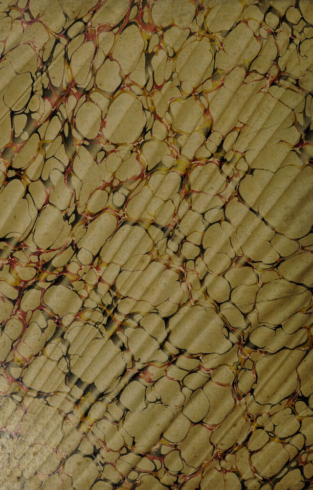 digitised image 2