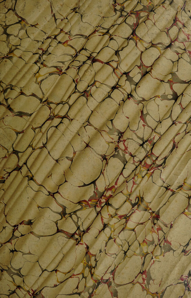 digitised image 3