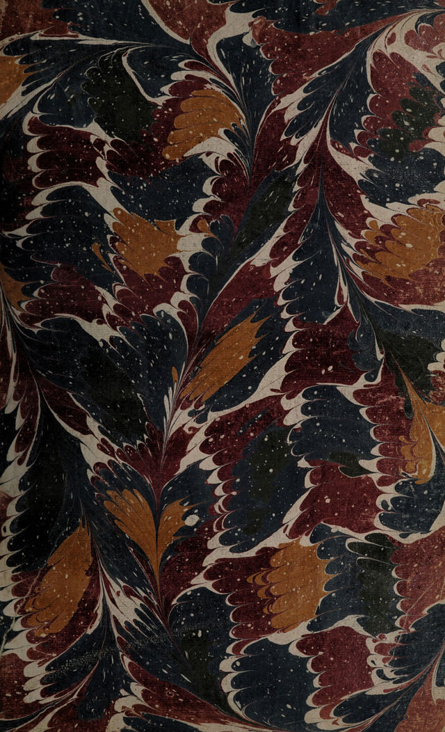 No text description is available for this image