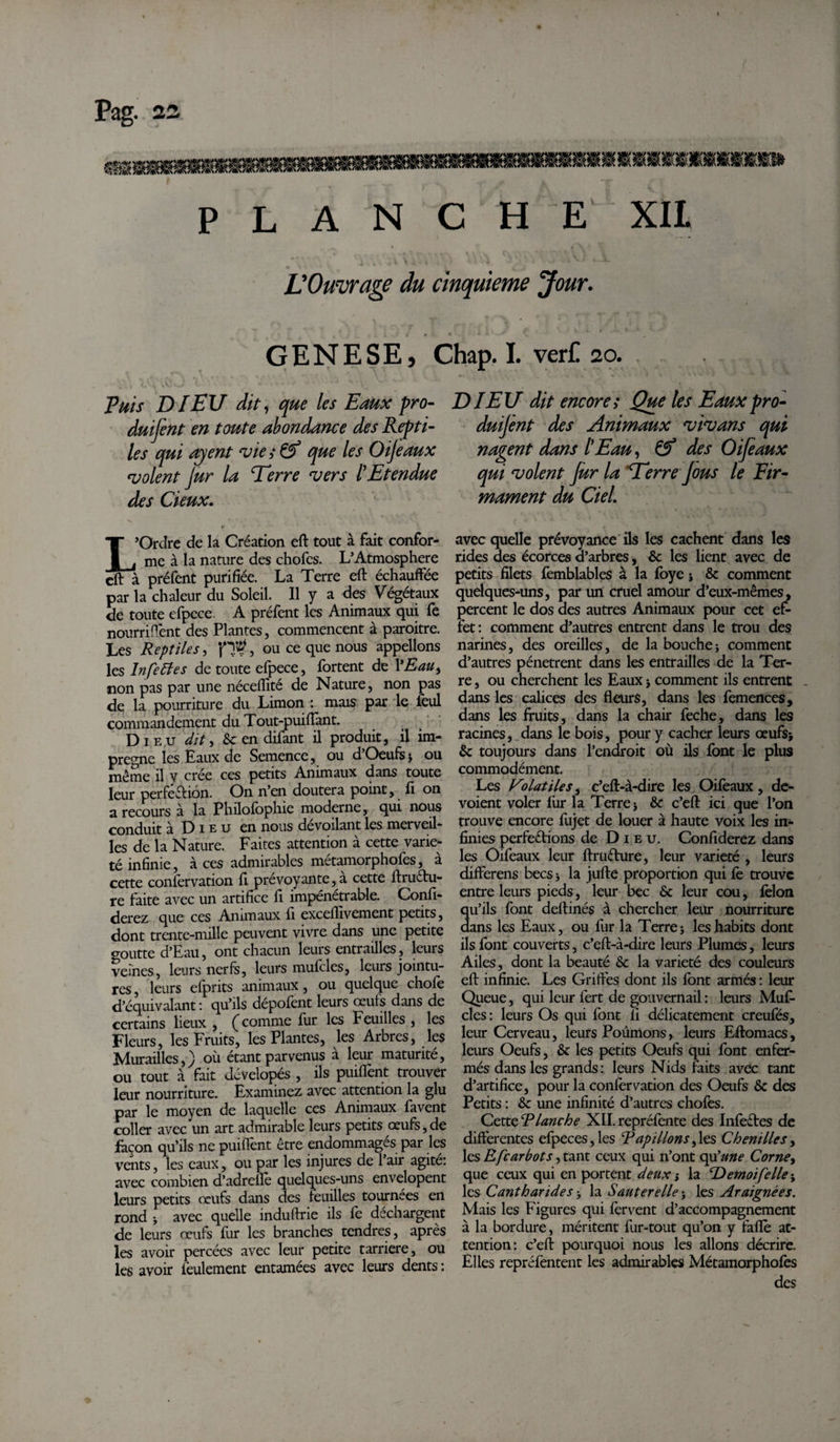 P L A N C H E XIL L'Ouvrage du cinquième Jour. GENESE, Chap. I. vert 20. Fuis DIEU dit, que les Eaux pro- duifent en toute abondance des Repti¬ les qui ajent vies Çf que les Oijeaux volent jur la Terre vers l'Etendue des deux. DIEU dit encores Que les Eauxpro- duijènt des Animaux vivans qui nagent dans l'Eau, &amp; des Oifeaux qui volent Jur la Terre fous le Fir¬ mament du Ciel. L’Ordre de la Création eft tout à fait confor¬ me à la nature des chofcs. L’Atmosphère eft à préfent purifiée. La Terre eft échauffée par la chaleur du Soleil. Il y a des Végétaux de toute efpece A préfent les Animaux qui fe nourrirent des Plantes, commencent à paroitre. Les Reptiles, p#, ou ce que nous appelions les Infetfes de toute efpece, Portent de l'Eau, non pas par une nécefiité de Nature, non pas de la pourriture du Limon : mais par le foui commandement du Tout-puifiant. Dieu dit, 8c en difant il produit, il im¬ prégné les Eaux de Semence, ou d’Oeufs&gt; ou même il y crée ces petits Animaux dans toute leur perfection. On n’en doutera point, fi on a recours à la Phüofophie moderne, qui nous conduit à D 1 e u en nous dévoilant les merveil* les de la Nature. Faites attention à cette varié¬ té infinie, à ces admirables métamorphofes, à cette confervation fi prevoyante, a cette ftructu- re faite avec un artifice fi impénétrable. Confi- derez que ces Animaux fi exceflivement petits, dont trente-mille peuvent vivre dans une petite goutte d’Eau, ont chacun leurs entrailles, leurs veines, leurs nerfs, leurs mufcles, leurs jointu¬ res , leurs efprits animaux, ou quelque choie d’équivalant : qu’ils dépofent leurs œufs dans de certains lieux , (comme fur les Feuilles , les Fleurs, les Fruits, les Plantes, les Arbres, les Murailles,) où étant parvenus à leur maturité, ou tout à fait dévelopés , ils puiffent trouver leur nourriture. Examinez avec attention la glu par le moyen de laquelle ces Animaux favent coller avec un art admirable leurs petits œufs, de façon qu’ils ne puiffent être endommagés par les vents, les eaux, ou par les injures de l’air agité: avec combien d’adrellè quelques-uns envelopent leurs petits œufs dans des feuilles tournées en rond y avec quelle induftrie ils fe déchargent de leurs œufs fur les branches tendres, après les avoir percées avec leur petite tarriere, ou les avoir feulement entamées avec leurs dents : avec quelle prévoyance ils les cachent dans les rides des écorces d’arbres, &amp; les lient avec de petits filets femblables à la foye j &amp; comment quelques-uns, par un cruel amour d’eux-mêmes, percent le dos des autres Animaux pour cet ef¬ fet : comment d’autres entrent dans le trou des narines, des oreilles, de la bouche -, comment d’autres pénètrent dans les entrailles de la Ter¬ re , ou cherchent les Eaux -, comment ils entrent . dans les calices des fleurs, dans les femences, dans les fruits, dans la chair feche, dans les racines, dans le bois, pour y cacher leurs œufsj 8c toujours dans l’endroit où ils font le plus commodément. Les y0 Utile s, c’eft-à-dire les Oifeaux , dé¬ voient voler fur la Terre j &amp; c’eft ici que l’on trouve encore fujet de louer à haute voix les in¬ finies perfections de Die u. Confiderez dans les Oifeaux leur ftruCture, leur variété , leurs differens becs &gt; la jufte proportion qui fe trouve entre leurs pieds, leur bec &amp; leur cou, félon u’ils font deftinés à chercher leur nourriture ans les Eaux, ou fur la Terre ; les habits dont ils font couverts, c’eft-à-dire leurs Plumes, leurs Ailes, dont la beauté &amp; la variété des couleurs eft infinie. Les Griffes dont ils font armés : leur Queue, qui leur fert de gouvernail : leurs Muf¬ cles: leurs Os qui font fi délicatement creufés, leur Cerveau, leurs Poumons, leurs Eftomacs, leurs Oeufs, &amp; les petits Oeufs qui font enfer¬ més dans les grands: leurs Nids faits avec tant d’artifice, pour la confervation des Oeufs &amp; des Petits : 8c une infinité d’autres chofes. Cette Rlanche XII. repréfente des InfeCles de differentes efpeces,les R ap il Ions ,les Chenilles, les Efcarbots ) tant ceux qui 11’ont qu’//»&lt;? Corne y que ceux qui en portent deux -, la R) émoi fe lie j les Cantharides -y la Sauterelle * les Araignées. Mais les Figures qui fervent d’accompagnement à la bordure, méritent fur-tout qu’on y faflè at¬ tention: c’eft pourquoi nous les allons décrire. Elles repréfentent les admirables Métamorphofes des
