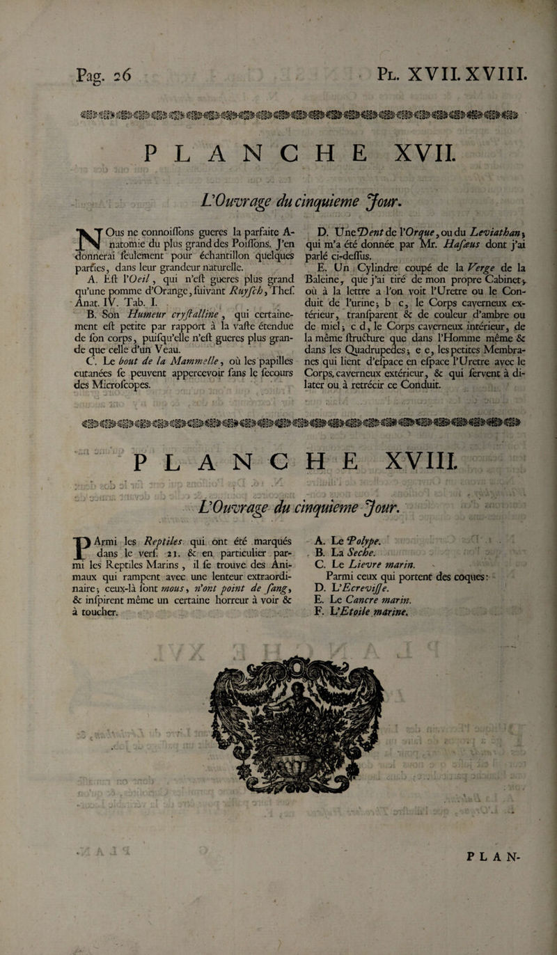 j&amp;'SjS’Ife, ^’ÎW* *£®Wr ^4&lt;ÿèr %'ûqmP''w&amp;iv PLANCHE XVII. L Ouvrage du cinquième Jour. NOus ne connoiftons gueres la parfaite A- natomie du plus grand des Poiiïons. J’en donnerai feulement pour échantillon quelques part'ies, dans leur grandeur naturelle. A. Eft YOeil, qui n’eft gueres plus grand qu’une pomme d’Orangc, fuivant Ruyfch, Thef Anat. IV. Tab. I. B. Son Humeur cryftalline , qui certaine¬ ment eft petite par rapport à la vafte étendue de fon corps, puifqu’elle n’eft gueres plus gran¬ de que celle d’un Veau. C. Le bout de la Mammelle, où les papilles cutanées fe peuvent appercevoir fans le fecours des Microfcopes. D. Une *D ent de Y Or que, ou du Leviathan * qui m’a été donnée par Mr. Hafaus dont j’ai parlé ci-deflus. E. Un Cylindre coupé de la Verge de la Baleine, que j’ai tiré demon propre Cabinet y où à la lettre a l’on voit l’Uretre ou le Con¬ duit de l’urinej b c, le Corps caverneux ex¬ térieur, tranfparent &amp; de couleur d’ambre ou de miel j c d, le Corps caverneux intérieur, de la même ftruéture que dans l’Homme même &amp; dans les Quadrupedes * e e, les petites Membra¬ nes qui lient d’efpace en efpace l’Uretre avec le Corps,caverneux extérieur, &amp; qui fervent à di¬ later ou à rétrécir ce Conduit. L A N C H E XVIII. L’Ouvrage du cinquième Jour. i i PArmi les Reptiles qui ont été marqués dans le verf 21. &amp; en particulier par¬ mi les Reptiles Marins , il fe trouve des Ani¬ maux qui rampent avec une lenteur extraordi¬ naire-, ceux-là font mous, n'ont point de fang, &amp; infpirent même un certaine horreur à voir &amp; à toucher. A. Le Rolype. . B. La Seche. C. Le Lievre marin. Parmi ceux qui portent des coques : D. \JEcreviJJe. E. Le Cancre marin. F. L’Etoile marine.