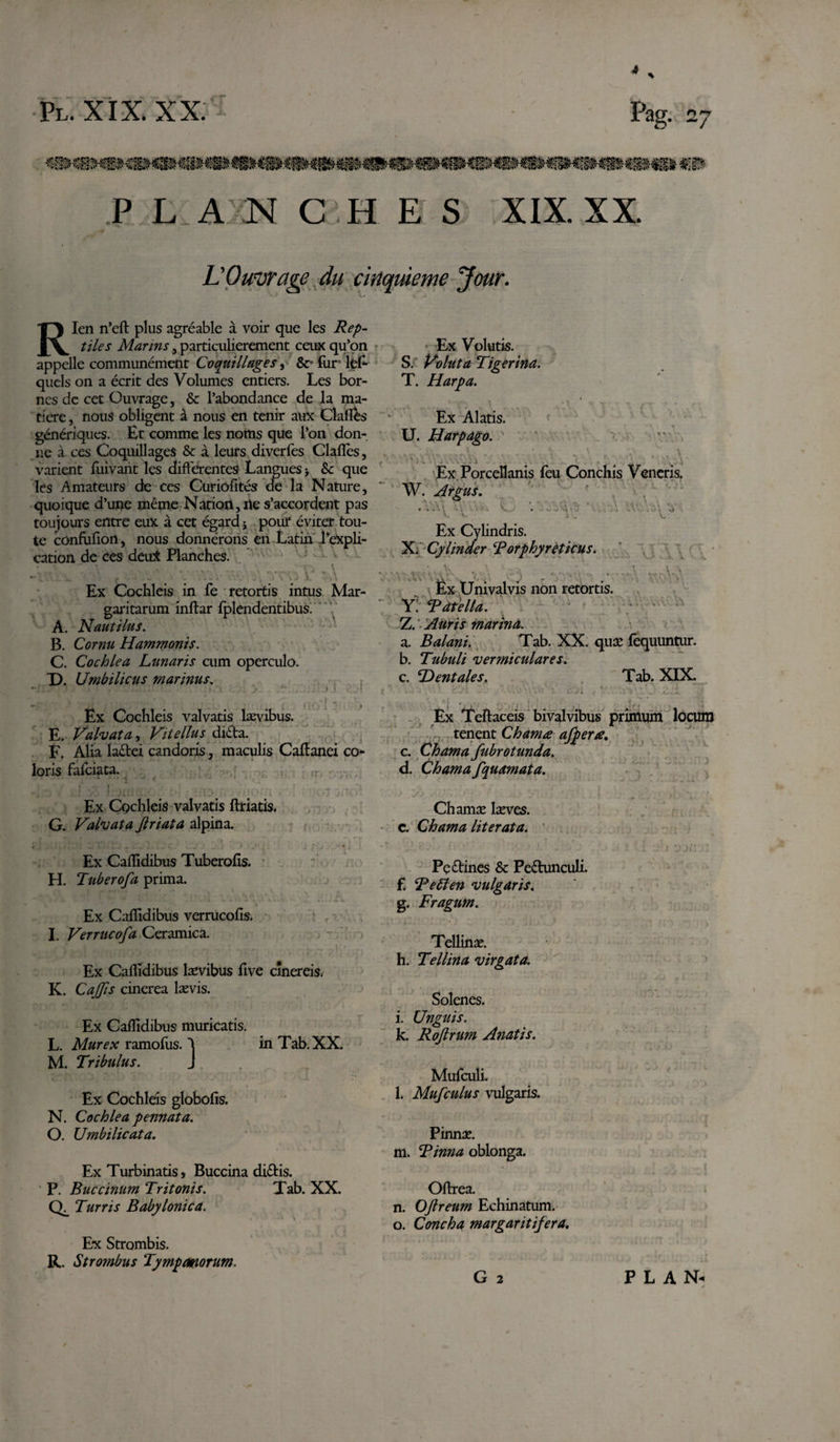 * Pl. XIX. XX. Pag. 27 P I. A N C H E S XIX. XX. L'Ouvrage du cinquième Jour. Rien n’eft plus agréable à voir que les Rep¬ tiles Marins , particulièrement ceux qu’on appelle communément Coquillages, 8c fur les¬ quels on a écrit des Volumes entiers. Les bor¬ nes de cet Ouvrage, &amp; l’abondance de la ma¬ tière j nous obligent à nous en tenir aux Clafîés génériques. Et comme, les noms que l’on don¬ ne à ces Coquillages &amp; à leurs diverfes Claiïes, varient Suivant les différentes Langues -, 8c que les Amateurs de ces Curiofités de la Nature, quoique d’une même Nation, ne s’accordent pas toujours entre eux à cet égard j pour éviter tou¬ te confufion, nous donnerons en Latin l’expli¬ cation de ce s deuX Planches. *' - . „ CJ \ w ■ f ,v . ;'.j i • A Ex Cochleis in fe retortis intus Mar¬ garitarum inftar Splendentibus. A. Nautilus. B. Cornu Hammonis. C. Cochlea Lunaris cum operculo. X). Umbilicus marinus. Ex Volutis. S. Voluta Tigerina. T. Harpa. Ex Alatis. U. Harpago. .... . r v \ Ex Porcellanis feu Conchis Veneris. W. Argus. Ex Cylindris. X. Cy Under Rorphyreticus. ' V. v. \ Ëx Univalvis non retortis. Y. Ratella. 7j. Auris marina. a. Balani. Tab. XX. quæ fequuntur. b. Tubuli vermiculares. c. Dentales. Tab. XIX. ■, , . &lt; . Ex Cochleis valvatis lævibus. E. Valvata, Vitellus dida. F. Alia ladei candoris, maculis Caffanei co loris fafeiata. ‘ J f - 1 Ex Teftaceis bivalvibus primum locum tenent Chama afp er a. c. Chama fubrotunda. d. Chama fquamata. Ex Cpchleis valvatis ftriatis. G. Valvata Jlriata alpina. Ex Caflidibus Tuberolis. H. Tuberofa prima. Ex Caflidibus verrucofis. I. Verrucofa Ceramica. Ex Caflidibus lævibus five cinereis. K. Cajfis cinerea lævis. Ex Caffidibus muricatis. L. Murex ramofus. 1 in Tab. XX. M. Tribulus. J Ex Cochleis globofis. N. Cochlea pennata. O. Umbilicata. Ex Turbinatis, Buccina didis. P. Buccinum Tritonis. Tab. XX. CL Turris Babylonica. \ Ex Strombis. R. Strombus Tympanorum. Chamæ læves. c. Chama lit er at a. Pedines &amp; Pedunculi. f. Re61 en vulgaris. g. Fragum. Teîlinæ. h. Tellina virgata. Solenes. i. Unguis. k. Roftrum Anatis. Mufculi. l. Mufculus vulgaris. Pinnæ. m. Rima oblonga. Oftrea. n. OJlreum Echinatum. o. Concha margaritifera. G 2 PLAN-
