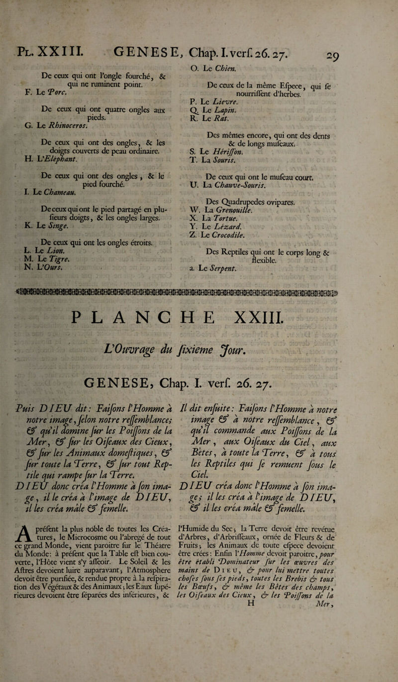 De ceux qui ont l’ongle fourché, &amp; qui ne ruminent point. F. Le Tore. De ceux qui ont quatre ongles aux pieds. G. Le Rhinoceros. De ceux qui ont des ongles, &amp; les doigts couverts de peau ordinaire. H. L'Eléphant. De ceux qui ont des ongles , &amp; le pied fourché. I. Le Chameau. De ceux qui ont le pied partagé en plu- fieurs doigts, &amp; les ongles larges. K. Le Singe. De ceux qui ont les ongles étroits. L. Le Lion. M. Le Tigre. N. L’Ours. O. Le Chien. De ceux de la même Efpece, qui fe nourriflènt d’herbes. P. Le Lievre. Le Lapin. R. Le Rat. Des mêmes encore, qui ont des dents &amp; de longs mufeaux. S. Le Hériffon. T. La Souris. De ceux qui ont le mufeau court. U. La Chauve-Souris. Des Quadrupedes ovipares. W. La Grenouille. X. La Tortue. Y. Le Lézard. Z. Le Crocodile. Des Reptiles qui ont le corps long &amp; flexible. a. Le Serpent. PLANCHE XXIII. L Ouvrage du Jixieme Jour. GENESE) Chap. I. verf. 26. 27. Puis DIEU dit: Faijons l'Homme a notre image, félon notre reffemblance; ff qu'il domine Jur les Poijfons de la Mer, Cf fur les Oijeaux des deux, Jur les Animaux domejliques, Cf Jur toute la Terre, Cf Jur tout Rep¬ tile qui rampe Jur la Terre. DIEU donc créa l'Homme a fon ima¬ ge , il le créa a l'image de DIEU, il les créa male &amp; femelle. Apréfent la plus noble de toutes les Créa¬ tures, le Microcosme ou l’abregé de tout ce grand Monde, vient paroitre lür le Théâtre du Monde: à préfent que la Table eft bien cou¬ verte, l’Hôte vient s’y afîèoir. Le Soleil &amp; les Aftres dévoient luire auparavant * l’Atmosphère devoitêtre purifiée, &amp; rendue propre à .la refpira- tion des Végétaux &amp; des Animauxj les Eaux fupé- rieures dévoient être féparées des inférieures, &amp; Il dit enfuite : Faijons l'Homme d notre image Cf d notre reffemblance, Cf qu'u commande aux Poijfons de la -Mer , aux Oijeaux du Ciel, aux Bétes, d toute la Terre, Cf d tous les Reptiles qui le remuent tous le Ciel. DIEU créa donc l'Homme d fin ima¬ ge&gt; il les créa d l'image de DIEU, Cf il les créa male Cf femelle. l’Humide du Sec-, la Terre devoit être revêtue d’Arbres, d’Arbrifleaux, ornée de Fleurs Sc de Fruits-, les Animaux de toute efpece dévoient être crées : Enfin l’Homme devoit paroitre, pour être établi Dominateur fur les œuvres des mains de Dieu, &amp; pour lui mettre toutes chofes fous fe s pieds, toutes les Brebis &amp; tous les Bœufs, &amp; meme les Bêtes des champs, les Oi féaux des deux, &amp; les Toiffons de la H Mer,