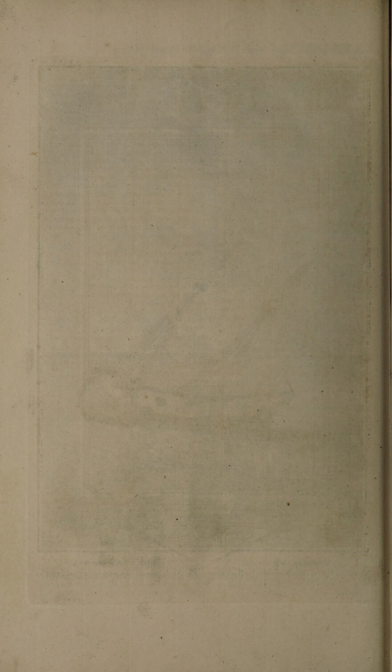 . T ' * ' , fl ? • .. . V... • - 5 i i \ j 1 l ». , \ I ■ ■ /