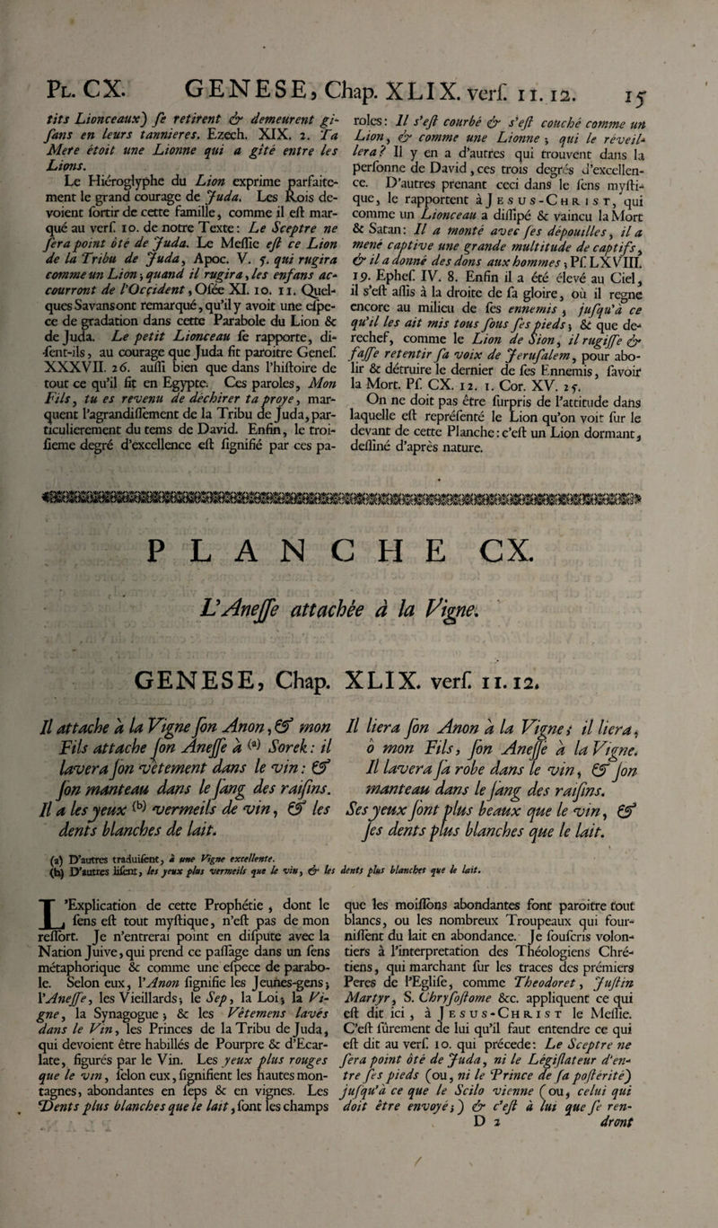 tits Lionceaux) je retirent &amp; demeurent gi- fans en leurs tannieres. Ezech. XIX. 2. Ta Mere étoit une Lionne qui a gîté entre les Lions. Le Hiéroglyphe du Lion exprime parfaite¬ ment le grand courage de Juda. Les Rois dé¬ voient fbrtir de cette famille, comme il eft mar¬ qué au verf 10. de notre Texte: Le Sceptre ne fera point ôté de Juda. Le Mefîie efi ce Lion de la Tribu de Juda, Apoc. V. y. qui rugira comme un Lion &gt; quand il rugira, les enfans ac- courront de tOcçident, Ofée XI* 10. 11. Quel¬ ques Savansont remarqué, qu’il y avoit une elpe- ce de gradation dans cette Parabole du Lion &amp; de Juda. Le petit Lionceau le rapporte, di- •fent-ils, au courage que Juda fit paroitre Genef. XXXVII. 26. aulli bien que dans l’hiftoire de tout ce qu’il fit en Egypte. Ces paroles. Mon Fils, tu es revenu de déchirer ta proye, mar¬ quent l’agrandiflèment de la Tribu de juda, par¬ ticulièrement du tems de David. Enfin, le troi- fieme degré d’excellence eft fignifié par ces pa- i M\ /*\ /*\ xaü\ /*\ /tâ, /as yé&amp;tffîvSL fnH y/Â %£ rôles : Il s* efi courbé çfi s'efi couché comme un Lion, efi comme une Lionne -, qui le réveil- 1er a? Il y en a d’autres qui trouvent dans la perfonne de David, ces trois degrés J’excellen- ce. D’autres prenant ceci dans le fens myfti- que, le rapportent àjE sus-Christ, qui comme un Lionceau a diilipé &amp; vaincu la Mort &amp; Satan: Il a monté avec [es dépouilles, il a mené captive une grande multitude de captifs, (fi H u donné des dons aux hommes 5 Pf LXVTIL 15Ephef IV. 8. Enfin il a été élevé au Ciel, il s’eft aflïs à la droite de fa gloire, où il régné encore au milieu de fes ennemis , jufqu'à ce qu'il les ait mis tous fous fes pieds * &amp; que de¬ rechef, comme le Lion de dion, ilrugijfe &amp; fjjfie retentir fa voix de Jerufalem, pour abo¬ lir &amp; détruire le dernier de fes Ennemis, favoir la Mort. Pf CX. 12. t. Cor. XV. 2y. On ne doit pas être furpris de l’attitude dans laquelle eft repréfenté le Lion qu’on voit fur le devant de cette Planche :c’eft un Lion dormant, defllné d’après nature. PLANCHE CX. TAneJfe attachée à la Vigne. GENESE, Chap. Il attache a la Vigne fin Anon, &amp; mon Fils attache Jon Anejfe a ^ Sorek : il lavera Jon vetement dans le vin : Çf Jon manteau dans le Jang des raifins. Il a les jeux ^ vermeils de vin, &amp; les dents blanches de lait. XLIX* ver£ n. 12* Il liera fon Anon a la Vigne,• il liera * b mon Fils y fon Anejjè a la Vigne, Il lavera ja robe dans le vin , &amp; jon manteau dans le Jang des raifins. Ses jeux Jont plus beaux que le vin, &amp; Jes dents plus blanches que le lait. (a) D’autres traduifent, * une Vigne excellente. (b) D'autres lifent, les yeux plus vermeils que le vin, &amp; les dents plus blanches que le lait. T ‘Explication de cette Prophétie , dont le I j fens eft tout myftique, n’eft pas de mon reflbrt. Je n’entrerai point en difpute avec la Nation Juive, qui prend ce paflàge dans un fens métaphorique &amp; comme une efpece de parabo¬ le. Selon eux, Y Anon lignifie les Jeunes-gens &gt; Y Anejfe, les Vieillards-, le Sep, la Loi-, la Vi- gne, la Synagogue &gt; &amp; les Vet emens lavés dans le Vin, les Princes de la Tribu de Juda, qui dévoient être habillés de Pourpre &amp; d’Ecar- late, figurés par le Vin. Les yeux plus rouges que le vin, félon eux, fignifient les hautes mon¬ tagnes, abondantes en feps &amp; en vignes. Les Dents plus blanches que le lait, font les champs que les moiflons abondantes font paroitre tout blancs, ou les nombreux Troupeaux qui four- niftènt du lait en abondance. Je fouferis volon¬ tiers à l’interpretation des Théologiens Chré¬ tiens , qui marchant fur les traces des premiers Peres de l’Eglife, comme Theodoret, JuJlin Martyr, S. (Jhryfofiome &amp;c. appliquent ce qui eft dit ici, à Jesus*Chr.ist le Melïïe. C’eft fûrement de lui qu’il faut entendre ce qui eft dit au verf. io. qui précédé: Le Sceptre ne fera point ôté de Juda, ni le Légiflateur d'en¬ tre fes pieds (ou, ni le T rince déjà poflérité) jufqu’à ce que le Scilo vienne (ou, celui qui doit être envoyé &amp; c’efi à lui que fe ren- D 2 dront /