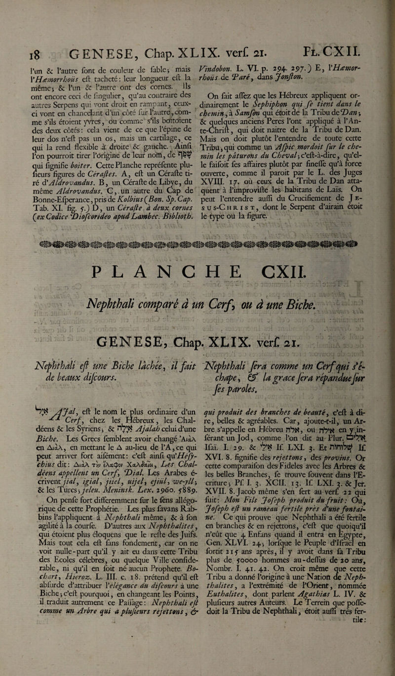 l’un &amp; l’autre font de couleur de fable-, mais XHamorrhoüs eft tacheté : leur longueur eft la même j &amp; l’un &amp; l’autre ont des cornes. . Ils ont encore ceci de f ngulier, qu’au contraire des autres Serpens qui vont droit en rampant, ceux- ci vont en chancelant d’un côté fur l’autre, com¬ me s’ils étoient yvres, ou comme' s’ils boitoient des deux côtés : cela vient de ce que l’épine de leur dos n’eft pas un os, mais un cartilage, ce qui la rend flexible .à* droite &amp;' gauche. Ainfi l’on pourroit tirer l’origine de leur nom, de qui fignifie boiter. Cette Planche repréfente plu- fleurs figures de Céraftes. A, eft un Cérafte ti¬ ré d’AIdrovandus. B, un Cérafte de Libye, du même Aldrovandus. C, un autre du Cap de Bonne-Efperance, pris de Kolbius (Bon. Sp. Cap. Tab. XI. fig. f.) D, un Cérafte à deux cornes Qex Codice Diofcorideo apud Lambec. Bibhoth. Vindobon. L. VI p. 294. 2$7.) E, XHœmor- rhoüs de Taré i dans Jonfton. On fait allez que les Hébreux appliquent or¬ dinairement le Sephiphon qui fe tient dans le chemin,à Samfon qui étoit de la TribuàcD an-y &amp; quelques anciens Peres l’ont appliqué à l’An- te-Chrift, qui doit naitre de la Tribu de Dan. Mais on doit plutôt l’entendre de toute cette Tribu, qui comme un Afpic mordoit fur le che¬ min les paturons du Cheval ; c’eft-à-dire, qu’el¬ le faifoit fes affaires plutôt par finefiè qu’à force ouverte, comme il paroit par le L. des Juges XVIII. 17. où ceux de la Tribu de Dan atta¬ quent à l’improvifte les habitans de Laïs. On peut l’entendre aufli du Crucifiement de J e- s u s-C h r 1 s t , dont le Serpent d’airain étoit le type ou la figure. PLANCHE CXII. Nephthali comparé à un Cerfi ou d une Biche. GENESE, Chap. } r * r ’ ' ~ Nephthali eft une Biche lâchée, il fait de beaux dijcours. Sw /jjuf eft le nom le plus ordinaire d’un Cerf, chez les Hébreux, les Chal- déens &amp; les Syriens * &amp; nfrjR Ajalah celui d’une Biche. Les Grecs femblent avoir changé ’Ai«A en AictA, en mettant le A au-lieu de l’A,ce qui peut arriver fort aifément : c’eft ainfi qu'Héfy- chius dit : AiaA ÏXclQov X«A&lt;Jguoi, Les Chal- déens appellent un Cerf Dial. Les Arabes é- crivent jiaf igiaf jnel, uijef ejiüf we-yllj &amp; les Turcs &gt; jeleu. Meninsk. Lex. 2960. y88p. On penfe fort différemment fur le fens allégo¬ rique de cette Prophétie. Les plus favans Rab¬ bins l’appliquent à Nephthali même, &amp; à Ion agilité à la courlè. D’autres aux Nephthalites, qui étoient plus éloquens que le refte des Juifs. Mais tout cela eft fans fondement, car on ne voit nulle-part qu’il y ait eu dans cette Tribu des Ecoles célébrés, ou quelque Ville confide- rable, ni qu’il ai loit né aucun Prophète. Bo- charty Hieroz. L. III. c. 18. prétend qu’il eft abfurde d’attribuer Xélégance du difcours à une Biche j c’eft pourquoi, en changeant les Points, il traduit autrement ce Palfage : Nephthali eft comme un Arbre qui a phtjieurs rejettons, ér XLIX. ver£ 21. Nephthali fera comme un Cerf qui dé¬ chape , &amp; la grâce Jera répandue jur fes paroles. qui produit des branches de beauté, c’eft à di¬ re, belles &amp; agréables. Car, ajoute-t-il, un Ar¬ bre s’appelle en Hébreu rf?tf, ou en y in¬ férant un Jod, comme l’on dit au Plur. Qy’H Ifaï. I. 2 J). &amp; ’!?’« If. LXI. 3. Et mmV If. XVI. 8. fignifie des rejettons, des provins. Or cette comparaifon des Fideles avec les Arbres &amp; les belles Branches, fe trouve fouvent dans l’E¬ criture j Pf I. 3. XCII. 13. If LXI. 3. &amp; Jer. XVII. 8. Jacob même s’en fert au verf 22 qui fuit: Mon Fils fofeph produit du fruit : Ou, Jofeph eft un rameau fertile prés d’une fontai¬ ne. Ce qui prouve que Nephthali a été fertile en branches &amp; en rejettons, c’eft que quoiqu’il n’eût que 4 Enfans quand il entra en Egypte, Gen. XLVI. 24 * lorfque le Peuple d’Ifraël en fortit 217 ans après, il y avoit dans fa Tribu plus de 50000 hommes au-deflus de 20 ans, Nombr. I. 41. 42. On croit même que cette Tribu a donné l’origine à une Nation de Neph- t h alite s, a l’extrémité de l’Orient, nommée Euthalites, dont parlent Agathias L. IV. &amp; plufieurs autres Auteurs. Le Terrein que poflè- doit la Tribu de Nephthali, étoit aufli très fer¬ tile :