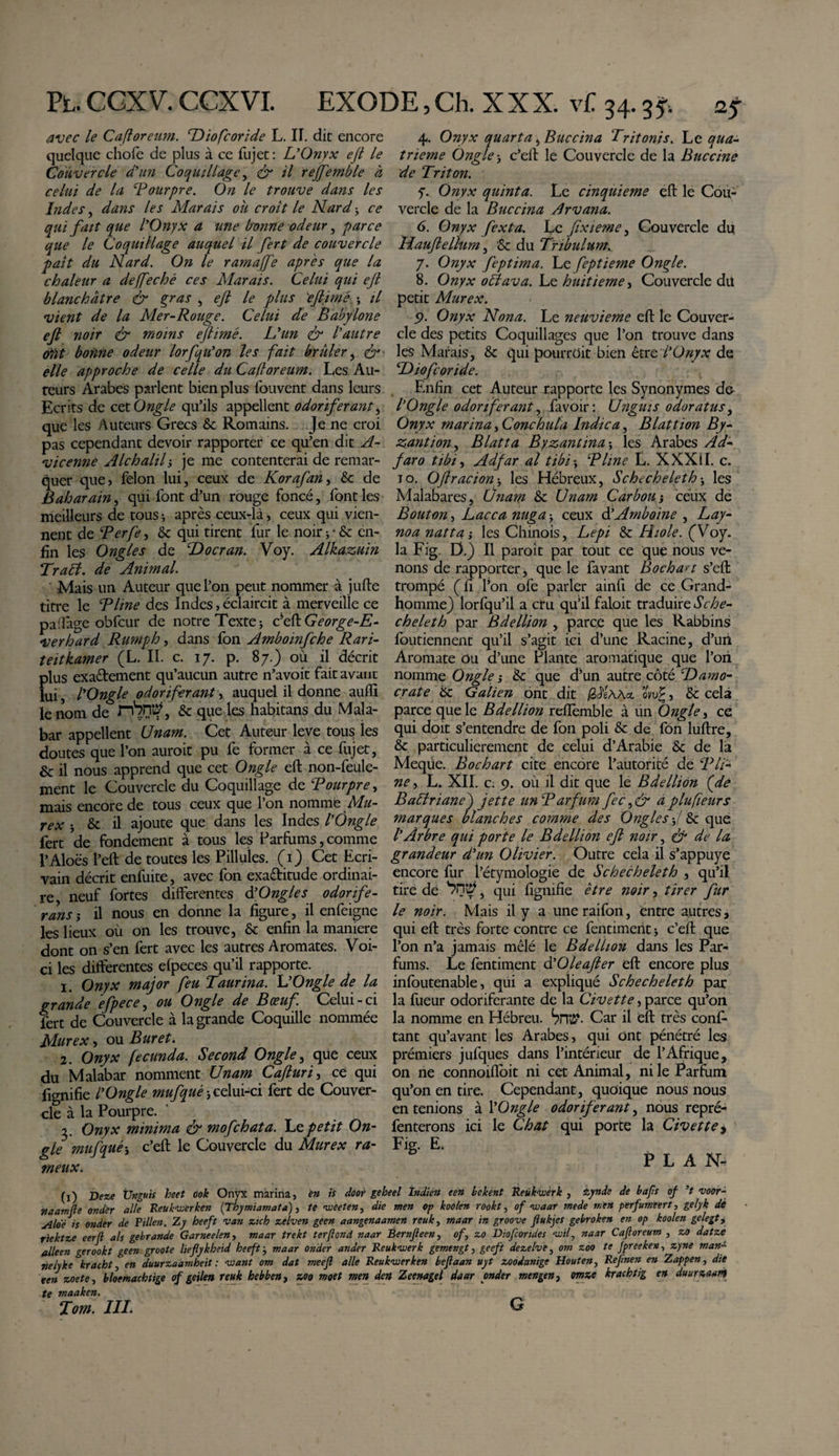 avec le Cafloreum. Diofcoride L. II. dit encore quelque chofe de plus à ce fujet : L'Onyx ejt le Couvercle d'un Coquillage, &amp; il reffemble à celui de la Pourpre. On le trouve dans les Indes, dans les Marais ou croît le Nard-, ce qui fait que l'Onyx a une bonne odeur, parce que le Coquillage auquel il fert de couvercle paît du Nard. On le ramaffe apres que la chaleur a deffechê ces Marais. Celui qui ejl blanchâtre &amp; gras , efi le plus 'efiimé ; il vient de la Mer-Rouge. Celui de Babylone efi noir &amp; moins eftimé. L'un &amp; l'autre o)it bonne odeur lorfqu'on les fait brûler, &amp; elle approche de celle du Cafloreum. Les Au¬ teurs Arabes parlent bien plus fouvent dans leurs Ecrits de cet Ongle qu’ils appellent odoriférant, que les Auteurs Grecs 6c Romains. Je ne croi pas cependant devoir rapporter ce qu’en dit A- vicenne Alchalil -, je me contenterai de remar¬ quer que, félon lui, ceux de Korafan, 6c de Baharain, qui font d’un rouge foncé, font les meilleurs de tous * après ceux-là, ceux qui vien¬ nent de Perfe, 6c qui tirent fur le noir ; • 6c en¬ fin les Ongles de Docran. Voy. Alkazuin Trahi, de Animal. Mais un Auteur que l’on peut nommer à jufte titre le Pline des Indes, éclaircit à merveille ce paiîage obfcur de notre Texte; c’eftGeorge-E- verhard Rumph, dans fbn Amboinfche Rari- teitkamer (L. II. c. 17. p. 87.) où il décrit plus exactement qu’aucun autre n’avoit fait avant lui, l'Ongle odoriférant, auquel il donne aufli le nom de HiSniP, &amp; que les habitans du Mala¬ bar appellent U nam. Cet Auteur leve tous les doutes que l’on auroit pu fe former à ce fujet, &amp; il nous apprend que cet Ongle eft non-feule¬ ment le Couvercle du Coquillage de Pourpre, mais encore de tous ceux que l’on nomme Mu¬ rex ; 6c il ajoute que dans les Indes l'Ongle fert de fondement à tous les Parfums, comme l’Aloës l’eft de toutes les Pillules. (1) Cet Ecri¬ vain décrit enfuite, avec fon exactitude ordinai¬ re neuf fortes differentes d'Ongles odorife- rans-y il nous en donne la figure, il enfeigne les lieux où on les trouve, 6c enfin la maniéré dont on s’en fert avec les autres Aromates. Voi¬ ci les differentes efpeces qu’il rapporte. 1 Onyx major feu Taurina. UOngle de la grande efpece, ou Ongle de Bœuf. Celui-ci fert de Couvercle à la grande Coquille nommée Murex, ou Buret. 2. Onyx fecunda. Second Ongle, que ceux du Malabar nomment U nam Cafiuri, ce qui fignifie L'Ongle mufqué ; celui-ci fert de Couver¬ cle à la Pourpre. ' 3. Onyx minima &amp; mofchata. Le petit On¬ gle mufqué-, c’eft le Couvercle du Murex ra- meux. 4. Onyx quarta, Buccina Tritonis. Le qua¬ trième Ongle; c’eft le Couvercle de la Buccine de Triton. f. Onyx quinta. Le cinquième eft le Cou¬ vercle de la Buccina Arvana. 6. Onyx fexta. Le fixieme, Couvercle du Hauftellum, &amp; du Tribulum. 7. Onyx feptima. Le feptieme Ongle. 8. Onyx ohtava. Le huitième, Couvercle dit petit Murex. 9- Onyx Nona. Le neuvième eft le Couver¬ cle des petits Coquillages que l’on trouve dans les Marais, &amp; qui pourrüit bien être l'Onyx de D10fonde. Enfin cet Auteur rapporte les Synonymes de- /’Ongle odoriférant, favoir: Unguis odoratus, Onyx marina, Conchula Indica, Blattion By- zantion, Blatta Byzantina ; les Arabes Ad- faro tibi, Adfar al tibi; Pline L. XXXil. c. jo. Ofiracion -, les Hébreux, Schecheleth-, les Malabares, Unam 6c U nam Carbon-, ceux de Bouton, Lacca nuga -, ceux d'Arnboine , Lay- noa natta-, les Chinois, Lêpi 6c Hiole. (Voy. la Fig. D.) Il paroît par tout ce que nous ve¬ nons de rapporter,, que le favant Bochart s’eft trompé ( fl l’on ofe parler ainfi de ce Grand- homme) lorfqu’il a cru qu’il faloit traduire Sche¬ cheleth par Bdellion , parce que les Rabbins foutiennent qu’il s’agit ici d’une Racine, d’un Aromate ou d’une Plante aromatique que l’ori nomme Ongle -, 6c que d’un autre côté Damo- crate 6c Galien ont dit (Atiwa. ow£, 6c cela parce que le Bdellion reftèmble à lin Ongle, ce qui doit s’entendre de fon poli 6c de fon luftre, 6c particulièrement de celui d’Arabie 6c de la Meqüe. Bochart cite encore l’autorité de Pli¬ ne, L. XII. c. 9. où il dit que le Bdellion (de Bahlriane) jette unParfum fec,&amp; aplufieurs marques blanches comme des Ongles -J 6c que l'Arbre qui porte le Bdellion efi noir, &amp; de la grandeur d'un Olivier. Outre cela il s’appuye encore fur l’étymologie de Schecheleth , qu’il tire de } qui fignifie être noir, tirer fur le noir. Mais il y a uneraifon, entre autres, qui eft très forte contre ce fentimerit ; c’eft que l’on n’a jamais mêlé le Bdellion dans les Par¬ fums. Le fèntiment à'Oleafier eft encore plus infoutenable, qui a expliqué Schecheleth par la fueur odoriférante de la Civette, parce qu’on la nomme en Hébreu. Car il eft très cons¬ tant qu’avant les Arabes, qui ont pénétré les prémiers jufques dans l’intérieur de l’Afrique, on ne connoifîoit ni cet Animal, ni le Parfum qu’on en tire. Cependant, quoique nous nous en tenions à l'Ongle odoriférant, nous repré- fenterons ici le Chat qui porte la Civette, Fig. E. PLAN- (1) Deze Ünguis beet 00k Onyx marina, en il dàoi geheel Indien een bebent Reùkovèrk , Aynde de bafs of ’t voor- naamfle onder aile Reuktuerken {Thymiamata), te vueeten, die men op koolen rookt, of &lt;waar mede men perfumeert, gelyk dé Jlloè is onder de Pillen. Z y heeft van zich zelven geen aangenaamen reuk, maar in groove Jlukjes gebroken en op koolen gelegt, rtektze eerft als gebrande Garneelen, maar trekt ter fond, naar Bernjleen, of, zo Diofcondes ivil, naar Cafloreum , zo datze alleen gerookt geen groote lieflykheid heeft ; maar onder ander Reukzuerk gemengt, geeft dezelve, om zoo te Jpreeken, zyne man- nelyke kracht, en duurzaamheit : want om dat meefl aile Reukvjerken bejtaan uyt zoodanige Houten, Refmen en Zappen, die een zoete, bloemachtige of geilen reuk hebben, zoo moet men den Zeenagel daar onder mengen, ornze kracbtig en dmrzaari te maaken. Tom. IIL