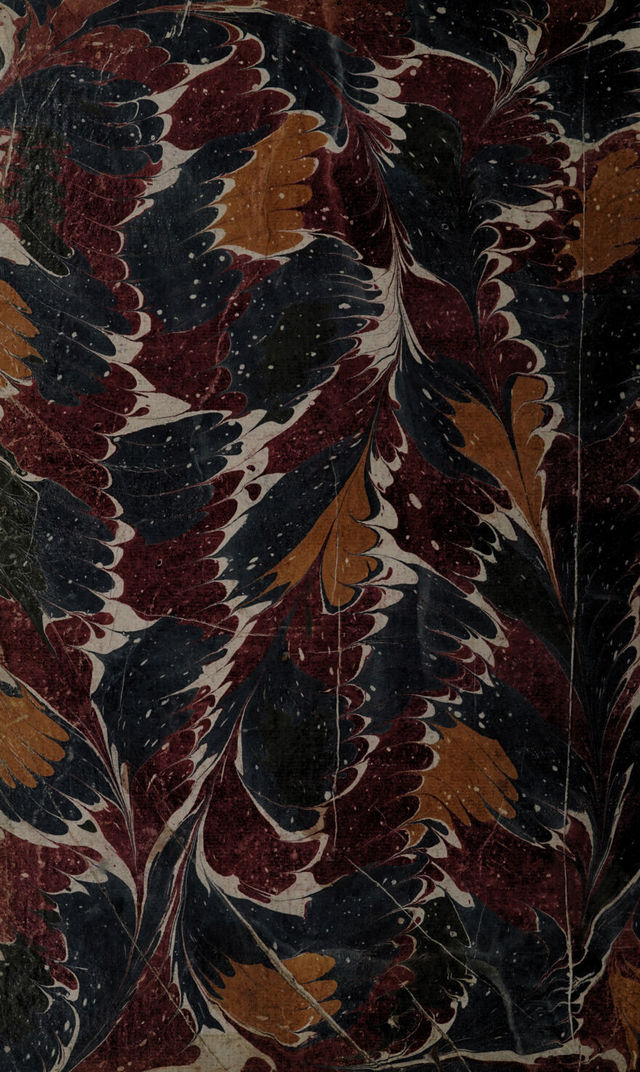 No text description is available for this image