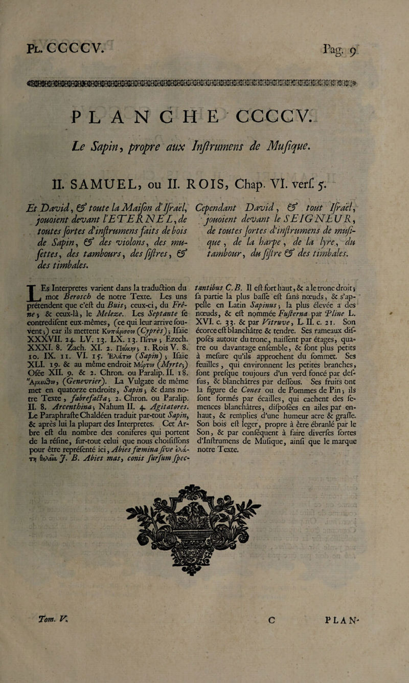 P L A N G H E CCCCV: he Sapin i propre aux Jnftrumens de Mufique. IL SAMUEL, ou IL ROIS, Chap. VL verf! 5 JEt David ^ toute laAiaifon dUjrael^ jouoient devant ÏElEERNEL^de , toutes firtes dinjlrumens faits de bois de Sapin^ Çf des violons^ des mu- f Jettes^ des tambours^ des fifres^ ^ ' des timbales» LEs Interpretes varient dans la traduction du mot Berosch de notre Texte. Les uns prétendent que c’eft du Buis-, ceux-ci, du Fr A ney Sc ceux-là, le Meleze. Les Septante fé contredirent eux-mêmes, fee qui leur arrive fou- vent •,} car ils mettent KuTrctpjtro-oy {Cyprès) j Ifaïe XXXVII. 24. LV. 13. LX. 13. nÏTui. i Ezech. XXXL 8. 2ach. XL 2. YhxiKvp-y i. RoisV. 8* 10. IX. II. VL If. Exéjxw {Sapin)', Ifaïe XLI. ip. &amp; au même endroit Mûprov {MyrteÇ) Ofée XIL p. &amp; 2. Chron. ouParalip. IL 18. *'ApMvâovy {Genevrier). La Vulgate de même met en quatorze endroits, Sapin', &amp; dans no¬ tre Texte ) fabrefaôtay 2. Chron. ou Paralip. IL 8. Arceuthina', Nahum IL 4. Agitatores. Le ParaphrafteChaldéen traduit par-tout Sapin, &amp; après lui la plupart des Interpretes. Cet Ar¬ bre eft du nombre des conifères qui portent de la réfine, fur-tout celui que nous choififlbns pour être repréfenté ici. Abies fœminaJîve \xL- T&gt;j â/iAéîét J. B. Abies mas^ conis furfum fpec- Cependant David, . tout Ijraely , • jouoient devant le SE IG ElE U R ^ de toutes jortes dinjîrumens de mufi¬ que , de la harpe , de la lyre,, du tambour duffreÇf des timbales. « t antibus C.B. Il efl: fort haut, &amp; a le tronc droit} fa partie la plus bafle 'eft fans nœuds, &amp; s’ap¬ pelle en Latin Sapinus^ là plus élevée a des' nœuds, &amp; eft npmmée Fufierna pat T line L. XVI. c. 33. &amp; par Vitruve, L. IL c. 21. Son écorce eft blanchâtre &amp; tendre. Ses rameaux dif- pofés autour du tronc, naiflent par étages*, qüa- tre ou davantage enfomble, &amp; font plus petits à mefiire qu’ils approchent du fommet. Ses feuilles, qui environnent les petites branches , font prelque toujours d’un verd foncé par def» fus, &amp; blanchâtres par deffous. Ses fruits ont la figure de Cônes ou de Pommes de Pin} ils font formés par écailles, qui cachent des fe- mences blanchâtres, difpofèes en ailes pat en- haut , &amp; remplies d’une humeur aCre êc graiïe. Son bois eft leger, propre à être ébranlé pat le Son, &amp; par conleqiient à faire diverfes fortes d’Inftrumens de Mufique, ainfi que le marque notre Texte. C PLAN- rom. K