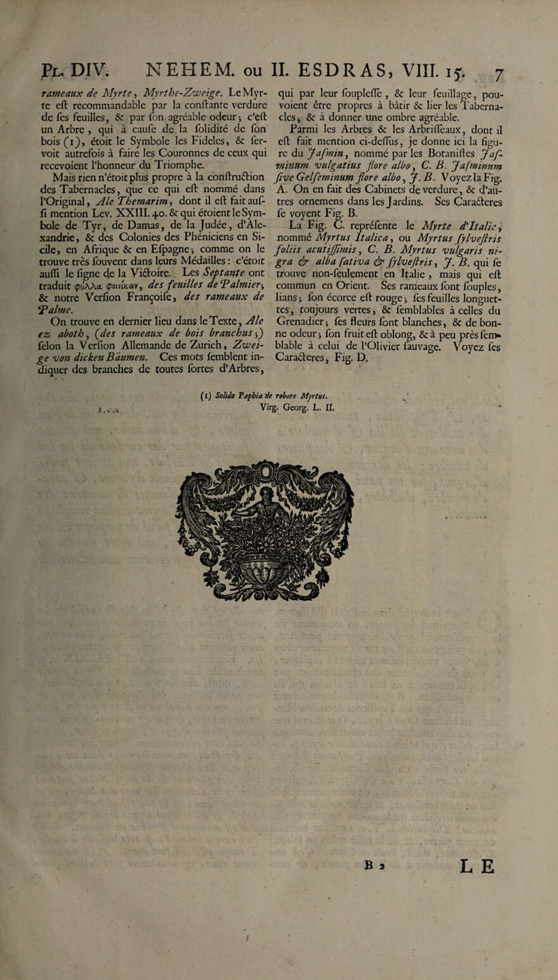 rameaux de Myrte, Myrthe-Zweige. LeMyr- qui par leur fouplefle , &amp; leur feuillage, pou- re eft recommandable par la confiante verdure voient être propres à bâtir &amp; lier les Taberna- de fes feuilles, &amp; par fon agréable odeur-, c’eft clés, Sc à donner une ombre agréable, un Arbre , qui à caufe de la lolidiré de fon Parmi les Arbres &amp; les Arbrilleaux, dont il bois (1), étoit le Symbole les Fideles, &amp; fer- eft fait mention ci-deflus, je donne ici la figu- voit autrefois à faire les Couronnes de ceux qui rc du Jafmin, nommé par les Botaniftes Jaf- recevoient l’honneur du Triomphe. rninum vulgatius flore albo, C. B. Jafminum Mais rien n’étoit plus propre à la conftruftion flve Gelfeminum flore albo, J. B. Voyez la Fig. des Tabernacles, que ce qui eft nommé dans A. On en fait des Cabinets de verdure, &amp; d’au- l’Original, Ale Themarim, dont il eft faitauf- très ornemens dans les Jardins. Ses Caraéferes ft mention Lev. XXIII. 40. &amp; qui étoicnt le Sym- fe voyent Fig. B. bole de Tyr, de Damas, de la Judée, d’Alc- La Fig. C. repréfente le Myrte d'Italie, xandrie, &amp; des Colonies des Phéniciens en Si- nommé Myrtus Italica, ou Myrtus fylveflris cile, en Afrique &amp; en Efpagne -, comme on le foliis acuïijflmis, C. B. Myrtus vulgaris ni- trouve très fouvent dans leurs Médailles : c’étoit gra &amp; alba fativa &amp; fylveflris, J. B. qui fe aufli le ligne d.e la Viétoire. Les Septante ont trouve non-feulement en Italie , mais qui eft traduit &lt;pdAAct &lt;pomW, des feuilles deTalmier-y commun en Orient. Ses rameaux font fouples, &amp; notre Verfion Françoife, des rameaux de lians j fon écorce eft rouge * fes feuilles longuet- Talme. tes, toujours vertes, &amp; lèmblables à celles du On trouve en dernier lieu dans le Texte, Ale Grenadier j fes fleurs font blanches, &amp; de bon- ez abotlo, (des rameaux de bois branchus 5_) ne odeur * fon fruit eft oblong, &amp; à peu près fem* félon la Verfion Allemande de Zurich, Zwei- blable à celui de l’Olivier fauvage. Voyez fes ge von die ken B'àumen. Ces mots femblent in- Caraéteres, Fig. D. diquer des branches de toutes fortes d’Arbres, (1) Solido Pûpkia de robore Myrtus. Virg. Georg. L. II. b î LE /