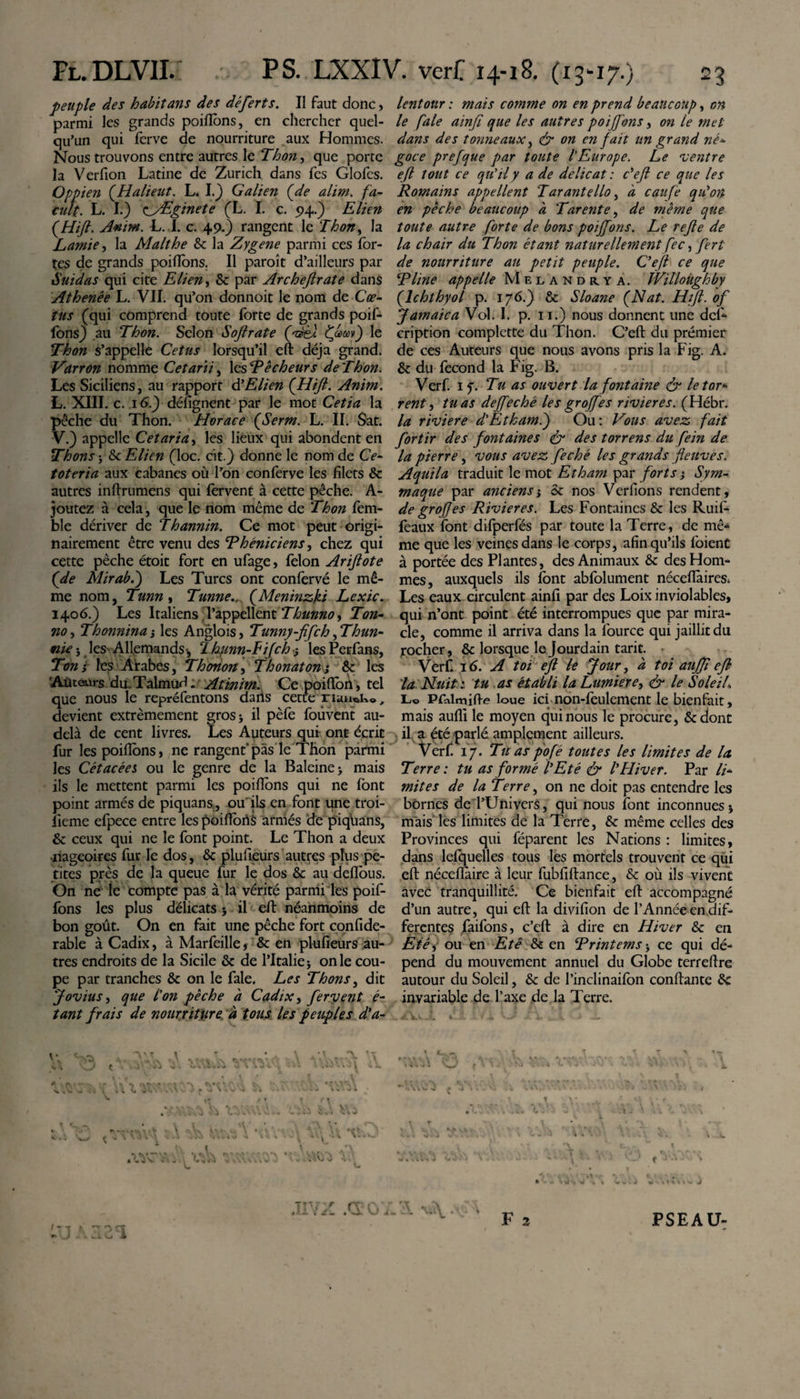 peuple des habitans des déferts. II faut donc, parmi les grands poiiïbns, en chercher quel¬ qu’un qui ferve de nourriture aux Hommes. Nous trouvons entre autres le 'Thon, que porte la Verfion Latine de Zurich dans fes Glofcs. Oppien (Halieut. L. I.) Galien (de alim. fa- cult. L. I.) ^Æginete (L. I. c. 94.) Elien (Hift. Amm. L. I. c. 49.) rangent le Thon, la Lamie, la Malthe &amp; la Zygene parmi ces for¬ tes de grands poiftons. Il paroît d’ailleurs par Suidas qui cite Elien, &amp; par Archefirate dans Athenée L. VII. qu’on donnoit le nom de Cœ- tus (qui comprend toute forte de grands poif- fonsj au Thon. Selon Softrate (adè) {jam') le Thon s’appelle Cetus lorsqu’il eft déjà grand. Varron nomme Cetarii, 1 esRêcheurs de T bon. Les Siciliens, au rapport d’Elien (Hift. Anim. L. XIII. c. 16.) désignent par le mot Cetia la pêche du Thon. Horace (Serm. L. II. Sat. V.) appelle Cetaria, les lieux qui abondent en Thons ; &amp;c Elien (loc. cit.) donne le nom de Ce- toteria aux cabanes où l’on conferve les filets &amp; autres inftrumens qui fervent à cette pêche. A- joutez à cela , que le nom même de Thon fem- ble dériver de Thannin. Ce mot peut origi¬ nairement être venu des Théniciens, chez qui cette pêche étoit fort en ufage, félon Ariftote (de Mirab.') Les Turcs ont confervé le mê¬ me nom, Tunn , Tunne(Meninzki Lexic. 1406.) Les Italiens TappellentThunno, Ton- no ^ Thonnina-, les Anglois, Tunny-fifch ^Thun- nie j les Allemands -, 2 hunn-hijeh 3 les Perfans, Ton s les Arabes, Thonon, Thonaton ; &amp; les 'Aüteurs du.TalmuH. Atinim. Ce poififon, tel que nous le repréfentons dans cette riaiwu®, devient extrêmement gros* il pèfe foûvent au- delà de cent livres. Les Auteurs qui ont écrit fur lespoifions, ne rangent1 pas le Thon parmi les Cétacées ou le genre de la Baleine &gt; mais ils le mettent parmi les poifions qui ne font point armés de piquans , ou'ils en font une troi- lieme efpece entre les poiftorts armés de piqlians, &amp; ceux qui ne le font point. Le Thon a deux nageoires fur le dos, &amp; plufteurs autres plus pe¬ tites près de la queue fur le dos &amp; au deflbus. On ne le compte pas à la vérité parmi les poif- fons les plus délicats 5 il eft néanmoins de bon goût. On en fait une pêche fort confide- rable à Cadix, à Marfeille, &amp; en plufieurs au¬ tres endroits de la Sicile &amp; de l’Italie * on le cou¬ pe par tranches &amp; on le fale. Les Thons, dit Jovius, que l'on pèche à Cadix, fervent é- tant frais de nourriture à tous les peuples d'a¬ lentour : mais comme on en prend beaucoup, on le fale ainfi que les autres poiJJ'ons, on le met dans des tonneaux, &amp; on en fait un grand né- goce prefque par toute l'Europe. Le ventre eft tout ce qu'il y a de délicat : c'eft ce que les Romains appellent Tarantello, d caufe qu'on en pêche beaucoup d Tarente, de même que toute autre forte de bons poiffons. Le refte de la chair du Thon étant naturellement fec ^ fert de nourriture au petit peuple. C'eft ce que T line appelle Melandrya. fVilloitghby (lchthyol p. 176.) &amp; Sloane (Nat. Hift. of Jamaica Vol. I. p. 11.) nous donnent une défi* cription complette du Thon. C’eft du premier de ces Auteurs que nous avons pris la Fig. A. &amp; du fécond la F'ig. B. Verf. if. Tu as ouvert la fontaine &amp; letor* rent, tuas deffeché lesgroffes rivières. (Hébr. la riviere d'Etkam.) Ou: Vous avez fait fortir des fontaines &amp; des torrens du fein de la pierre, vous avez feché les grands fleuves. Aquila traduit le mot Etham par forts} Sym- maque par anciens ; et nos Verfions rendent, de groff es Rivières. Les Fontaines &amp; les Ruifi- féaux font difperfés par toute la Terre, de me* me que les veines dans le corps, afin qu’ils foienü à portée des Plantes, des Animaux &amp; des Hom¬ mes, auxquels ils font abfolument néceflàires; Les eaux circulent ainfi par des Loix inviolables, qui n’ont point été interrompues que par mira¬ cle, comme il arriva dans la fource qui jaillit du rocher, &amp; lorsque le Jourdain tarit. Verf. 16. A toi eft le Jour, à toi aujft eft la Nuit : tu as établi la Limiere&gt; &amp; le Soleil» Lo Pfalmifte loue ici non-feulement le bienfait, mais aufli le moyen qui nous le procure, &amp;dont il a été parlé amplement ailleurs. Verf. 17. Tu aspofé toutes les limites de la Terre : tu as formé l'Eté &amp; l'Hiver. Par li¬ mites de la Terre, on ne doit pas entendre les bornes de l’Univers, qui nous font inconnues j mais les limites de la Terre, &amp; même celles des Provinces qui féparent les Nations : limites, dans lefquelles tous les mortels trouvent ce qui eft nécefiaire à leur fubfiftance, &amp; où ils vivent avec tranquillité. Ce bienfait eft accompagné d’un autre, qui eft la divifion de l’Année en dif¬ ferentes faifons, c’eft à dire en Hiver &amp; en Eté, ou en Eté &amp; en Trintems j ce qui dé¬ pend du mouvement annuel du Globe terreftre autour du Soleil, St de l’inclinaifon confiante St invariable de l’axe de la Terre. .. jTu 1 *? ’ ’ ■ : U é. . ! i 1 t SI C A-’ I - -r ► »-T