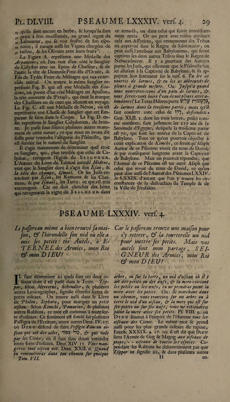 j, qu’ils font encore en herbe, &amp; lorsqu’ils font , prêts à être moifionnés, au grand regret du „ Laboureur, qui fe voit fruftré de fon efpe- ,, rance i il ravage aufli les Vignes chargées de „ raifins, &amp; les Oliviers avec leurs fruits”, La Figure A. repréfente une Médaille des Arpaniens, où l’on voit d’un côté le Sanglier de Calydon avec un Epieu de Chaffèur* &amp; de l’autre la tête de Diomede Petit-fils d’Osnée, &amp; Fils de Tydée Frere de Méléagre qui tua ce ter¬ rible animal. On trouve le même Sanglier re- préfenté Fig. B. qui eft une Médaille des Eto- liens, où paroit d’un côté Méléagre ou Apollon, la tête couverte du Tetafe, qui étoit la marque des Chaflèurs ou de ceux qui alloient en voyage. La Fig. C. efl une Médaille de Néron, où eft repréfemée une Charte de Sanglier que cet Em¬ pereur fit faire dans le Cirque. La Fig. D. en¬ fin repréfente le Sanglier Calydonien, de bron¬ ze. Je parte fous filence plufieurs autres monu- mens de cette nature * ce que nous en avons dit fuffit pour entendre l’allégorie du Pfalmifte, qui eft fondée fur le naturel du Sanglier. Il s’agit maintenant de déterminer quel étoit ce Sanglier, qui, plus terrible que celui de Ca¬ lydon , ravageoit l’Eglife du Seigneur. L’Auteur du Livre du Talmud intitulé Midras, veut que le Sanglier dont il s’agit foit Efaü * &amp; la bête des champs, Ifmaél. Or les Juifs en¬ tendent par Efaü, les Romains &amp; les Chré¬ tiens ; &amp; par Ifma 'él &gt; les Turcs : ce qui eft très extravagant. Car on cloit chercher des bêtes qui ravageoient la vigne du Seig ne y r dans PSEAUME ce tems-là , ou dans celui qui fuivit immédiate¬ ment après. Or on peut avec raifon attribuer cela aux Aflyriens, qui emmenerent dix Tribus en captivité fous le Régné de Salmanazar 5 on peut aufli l’attribuer aux Babyloniens, qui firent captives les deux autres Tribus fous le Régné de Nebucadnezar. Il y a pourtant des Auteurs parmi lesjuifs,qui affirment que le Pfalmifte fait ici allufton à la Captivité de Babylone ; &amp; ils ap- puyent leur fentiment fur le verf. 6. Tu les as nourris de larmes, &lt;àr tu les as abbreuvés de pleurs à grande me fur e. Ou: Jufqu'à quand nous nourrirez-vous d'un pain de larmes, ér nous ferez-vous boire l'eau de nos pleurs avec a- bondance^ Le Texte Hébreu porte de larmes dans la troifieme partie j mots qu’il faut conférer avec celui de , defcendez s Gen. XLII. 2. dont les trois lettres, prifes com¬ me nombres, font juftement les 210 ans de la Servitude d’Egypte, defquels la troifieme partie eft 70, qui font les années de la Captivité de Babylone. Tout ce qu’on pourroit objeéler à cette explication de Kimchi, ce fèroit qu’Afaph Auteur de ce Pfeaume vivoit du tetns de David, &amp; par conféquent longtems avant la Captivité de Babylone. Mais on pourroit répondre, que l’Auteur de ce Pfeaume eft un autre Afaph que celui qui vivoit du tems de David, ce qu’on peut dire aufti de l’Auteur des PfeaumesLXXIV, &amp; LXXIX. d’autant que l’on y trouve les cir- conftances de la deftruétion du Temple &amp; de la Ville de Jérufalem. \4 \ . I » [{ , 'i ' 4.. ; f , ■ • *...... v . ‘A . » » * * v i:&lt; , rt;q t: 'I 1 Aj .v.- » ». r XXXIV. ver£ 4. Le pafiereau meme a bien trouvé [a mai- Jon, &amp; [hirondelle fon nid ou elle a mis fis petits : tes Autels, b E- EERNEL des Armées, mon Roi &amp; mon DIEU! IL faut déterminer ici quels font ces deux oi- feaux dont il eft parlé dans le Texte. Tfip- por, félon Mercerus, Schindler, &amp; plufieurs autres Lexicographes, fignifie diverfès fortes de petits oifèaux. On trouve aufli dans le Livre de Thilon, Sephora, pour marquer un petit oifeau. Selon Kimchi, Tomarius, &amp; plufieurs autres Rabbins, ce mot eft commun à toute for¬ te d’oifeaux. Ce fentiment eft fondé fur plufieurs Partages de l’Ecriture, entre autres Deut. IV. 17. où Dieu défend de faire i*effigie d'aucun oi¬ feau qui ait des ailes, *flâ¥ S?, &lt;&amp; qui vole par les deux-, où il faut fans douté entendre toute forte d’oifeaux. Deut. XIV. 11. Vous man¬ gerez tout oifeau net. Deut. XXII. 6. Quand tu rencontreras dans ton chemin fur quelque Tom. VIL ~ Car le paffireau trouve une maifon pour s'y retirer, U) la tourterelle un nid pour mettre fis petits. Mais vos autels font mon partage, SEL* G El EU R des Armées, mon Roi (f mon DIEU! \ • '• 1 J ' . v ’C1 J &lt; - f arbre, ou fur la terre, un nid d'oifeaù oit il y dit des petits ou des œufs, &amp; la mere couvant les petits ou les œufs, tu ne prendras point la mere avec les petits. Ou : Si marchant dans un chemin, vous trouviez fur un arbre ou à terre le nid d'un oifeau, &amp; la mere qui efl fur fes petits ou fur fes œufs, Vous ne retiendrez point la mere avec fes petits. Pf Vllf. 9. où Dieu foumet à l’empire de l’Homme tous les oifeaux des deux. Le même mot fe prend aufli pour les plus grands oifèaux de rapine, Ezech. XXXIX. 4. 17. où il eft dit que Dieu livra l’Armée de Gog &amp; Magog aux oifeaux de proye, - * oifeaux de toutes les efpeces. Ce¬ pendant les Rabbins ne difèonviennent pas que Tfippor ne fignifie ici, &amp; dans plufieurs autres H en-