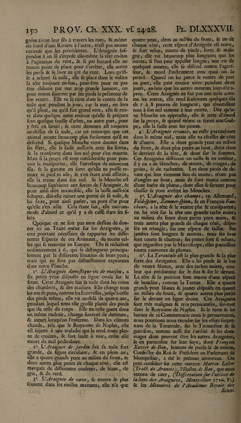 gnées tirent leur fils à travers les rues, 6c même du bord d’une Riviere à l’autre, n’eft pas moins curieufe que les précédentes. L’Araignée fur- pendue à un fil s’expofe elle-même la tète en-bas à l’agitation du vent, 6c fi par hazard elle ne trouve point de place pour s’arrêter, elle ouvre les pieds 6c fe livre au gré du vent. Lors qu’el¬ le a achevé fa toile, elle fe place dans le milieu la tête toujours en-bas, peut-être pour ne pas être éblouie par une trop grande lumière, ou pour mieux foutenir par fes pieds la pefanteur de fon ventre. Elle ne fe tient dans le centre de la toile que pendant le jour, car la nuit, ou lors qu’il pleut, ou qu’il fait grand vent, elle fe reti¬ re dans quelque autre endroit qu’elle fe prépare fous quelque feuille d’arbre, ou autre part, pour y être en fureté * 6c cette demeure eft toujours au-dcifus de fa toile, car on remarque que cet animal monte beaucoup plus facilement qu’il ne defcend. Si quelque Mouche vient donner dans fes filets, elle la faifit aufli-tôt avec fes ferres, 6c la tranfporte dans fon nid pour s’en nourrir. Mais fi la proye eft trop confiderable pour pou¬ voir la tranfporter, elle l’envelope de nouveaux fils, 6c la garotte en forte qu’elle ne puifiè re¬ muer ni pied ni aile * 6c s’en étant ainfi afiurée, elle la traine dans fon nid. Si la Mouche eft beaucoup fupérieure aux forces de l’Araignée, 6c peur ainfi dire invincible, elle la laiffè aufti-tôt échaper, dût-elle ruiner une partie de fa toile, &amp; lui faire, pour ainfi parler, un pont d’or pour qu’elle s’en aille. Cela étant fait, elle raccom¬ mode d’abord ce qu’il y a de cafte dgns fes fi¬ lets. Quoique ce ne foit pas mon deflèin de don¬ ner ici un Traité entier fur les Araignées , je croi pourtant néceflaire de rapporter les diffe¬ rentes Efpeces de ces Animaux, du moins cel¬ les qui fe trouvent en Europe. Elle fe réduifent ordinairement à 6, qui fe diftinguent principa¬ lement par la differente fituation de leurs yeux j mais qui ne font pas diftinétement exprimées dans notre Planche. i°. L'Araignée domeflique ou de maifon, a fix petits yeux difpofés en ligne ovale fur le front. Certe Araignée fait fa toile dans les coins des chambres, 6c des maifons. Elle change tous les ans de peau, comme les Ecreviflès, jufqu’à celle des pieds même * elle vit au-delà de quatre ans, pendant lequel tems elle groffit plutôt des pieds que du refte du corps. Elle ne refte guere dans un même endroit, change fouvent de demeure, 6c meurt lorsqu’on l’enferme. Dans les climats chauds, tels que le Royaume de Naples, elle eft fujette à une maladie qui la rend toute plei¬ ne de croûtes, 6c fort laide à voirj enfin elle meurt du mal pédiculaire. 2°. L’Araignée de jardin fait fa toile fort grande, de figure circulaire, 6c en plein air* elle a quatre grands yeux au milieu du front, 6c deux autres plus petits de chaque côté* elle eft marquée de differentes couleurs, de blanc, de gris, 6c de verd. 3°. L'Araignée de cave, fe trouve le plus fouvent dans les vieilles mazuress elle n’a que quatre yeux, deux au milieu du front, 6c un de chaque côté-, cette efpece d’Araignée eft noire, 6c fort velue, courte de pieds, forte 6c mali¬ gne-, elle vit beaucoup plus longtems que les autres, fi l’on peut appeller longue, une vie de quelques années -y elle fe défend contre l’agref- feur, 6c mord l’inftrument avec quoi on la prend. Quand on lui perce le ventre de part en part, elle peut encore vivre pendant deux jours, au-lieu que les autres meurent bien-tôt a- près. Cette Araignée ne fait pas une toile com¬ me les autres, elle tend feulement quelques fils de 7 à 8 pouces de longueur, qui aboutiflènt tous à fon nid comme à leur centre. Dès qu’u¬ ne Mouche en approche, elle fe jette d'abord fur la proye, 6c quand même ce feroit une Guê¬ pe, elle la faifit avec fes pinces. 4°. L'Araignée errante, ne refte pas toujours dans le même nid, mais elle va chafièr de côté 6c d’autre. Elle a deux grands yeux au milieu du front, 6c deux plus petits au bout, deux dans le derrière de la tête, 6c deux fur le fommet. Ces Araignées different en taille 6c en couleur, il y en a de blanches, de noires, de rouges, de grifes, 6c de tachetées. Les deux pieds de de¬ vant qui leur tiennent lieu de mains, n’ont pas d’ongles au bout ; mais ils font munis comme d’une barbe de plume, dont elles fe fervent pour chafièr Sc pour arrêter les Mouches. f°. L'Araignée des champs, en Allemand, Feld-fpinn, Zimmer-Jpinn, 6c en François F au* cheur, a la tête 6c le ventre plat &amp; tranfparent} on lui voit fur la tête une grande tache noire j • au milieu du front deux petits yeux noirs, 6c trois autres plus grands de chaque côté, difpo¬ fés en triangle, fur une efpece de faillie. Ses jambes font longues &amp; minces, mais fes bras font courts 6c charnus-, fes pattes font fi velues, que regardées par le Microfcope, elles paroifiène toutes couvertes de plumes. 6°. La Tarantule eft la plus grande 6e la plus forte des Araignées. Elle a les pieds 6c le bas du ventre blancs, avec des taches noires, cou¬ leur qui prédomine fur le dos 6c fur le devant. La tête 6c la poitrine font munis d’une efpece de bouclier, comme la Tortue. Elle a quatre grands yeux blancs 6c jaunes difpofés en quarré au milieu du front, 6c quatre autres plus petits fur le devant en ligne droite. Ces Araignées font très malignes 6c très pernicieufes, fur-tout dans le Royaume de Naples. Si le tems 6c les bornes de ce Commentaire nous le permettoient, nous pourrions nous étendre fur les effets furpre- nans de la Tarantule , fur le Tarantifme 6c fa guérifbn * comme aufii fur l’utilité 6c les dom¬ mages dont peuvent être les autres Araignées, 6c en particulier fur leur lbye, dont François Xavier de Bon, homme de poids 6c de mérite, Confeiller du Roi 6c Préfident au Parlement de Montpellier, a été le premier inventeur. On peut confulter fur cette matière Martin Lider (TraLt. de AraneisJ, l’illuftre de Bon, que nous venons de citer, (jDiJfertationfur l'utilité de laSoye des Araignées, Montpellier 1726. 8°.) 6c les Mémoires de l'Academie Royale des Scien-