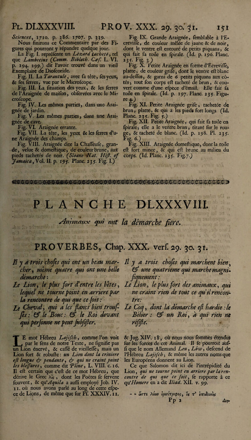 Sciences, 1710. p. 38 6. 1707. p. 339. Nous finirons ce Commentaire par des Fi¬ gures qui pourront y répandre quelque jour. La Fig. I. repréfente un Lézard tacheté, tel que Lambe dus (Comm. Bïbloth. Cæf L. VI. p. 294. 299.) dit l’avoir trouvé dans un vieil Exemplaire de Diofcoride. Fig. II. La Tarantule, avec fa tète, fes yeux* &amp; fes ferres, vue par le Microlcope. Fig. III. La fituation des yeux, &amp; les ferres de l’Araignée de maifon, obfervées avec le Mi- crofcope. Fig. IV. Les mêmes parties, dans une Arai¬ gnée de jardin. Fig. V. Les mêmes parties, dans une Arai¬ gnée de cave. Fig. VI. Araignée errante. Fig. VII. La tête, les yeux &amp; les ferres d’u¬ ne Araignée des champs. Fig. VIII. Araignée dite la Chaftèufe, gran¬ de, velue &amp; domeftique, de couleur brune, aux pieds tachetés de noir. (Sloane Nat. tiift. of Jamaica^oX. II. p. 197. Plane. 237. Fig. I.) Fig IX. Grande Araignée, femblabîe à l’E- creviilè, cle couleur mêlée de jaune &amp; de noir, dont le Ventre eft entouré de petits piquans, &amp; qui fait fa toile en fpirale. (Id. p. 196. Plane. Fig. X. Petite Araignée en forme d’Ecrevifte, platte, de couleur grife, dont le ventre eft blanc au-deflus, &amp; garni de 6 petits piquans aux cô¬ tés &gt; tout fon corps eft tacheté de brun, &amp; cou¬ vert comme d’une efpece d’émail. Elle fait fa toile en fpirale. (Id. p. 197. Plane. 237. Figu- re 40 Fig. XI. Petite Araignée grife, tachetée de brun, platte, &amp; qui a les pieds fort longs (Id. Plane. 237. Fig. 7.) Fig. XII. Petite Araignée, qui fait fa toile en fpiralej elle a le ventre brun, tirant fur le rou- fe, &amp; tacheté de blanc. (Id. p. 198. Pl. 237. ig- Fig. XIII. Araignée domeftique, dont la toile eft fort mince, &amp; qui eft brune au milieu du corps. (Id. Plane. 237. Fig.7.) 1 ' • PLANCHE DLXXXVIII. r 7 ' . J • il • A / 1 ! i . • • f U. / ■ * - t ' /■* T . U*- 4 - ■ ■ •««VT ob' ai ri 3fit yitn &gt;a * ^Inîmaiix? qui nnt la démarche fiûre. PROVERBES, Chap. XXX ver£ 29. 30. 31, Il y a trois chofes qui ont un beau mar¬ cher , meme quatre qui ont une belle démarche : Le Lion, le plus fort d'entre les betes, lequel ne tourne point en arriéré par la rencontre de qui que ce foit : Le Cheval, qui a les flancs bien trouf- fes : &amp; le Bouc : &amp; le Roi devant qui perjônne ne peut Jùbfifier. Il y a trois chofes qui marchent bien une quatrième qui marche magni¬ fiquement : Le Lion, le plus fort des animaux, qui ne craint rien de tout ce qu il rencon¬ tre: Le Coq, dont la démarche efl hardie : le Bélier : &amp; un Roi, a qui rien nt réfifte. LE mot Hébreu Lajifch, comme l’on voit par le fens de notre Texte, ne fignifie pas un Lion énervé, &amp; cafté de vieillcfle 5 mais un Lion fort &amp; robufte : un Lion dont la crinière ejl longue &amp; pendante, &amp; qui ne craint point les blejjures, comme dit B line, L. VIII. c. 16. Il eft certain que c’eft de ce mot Hébreu, que dérive le Grec à7? , dont les Poètes fe fervent fouvent, &amp; opf Aquila a aufii employé Job. IV. 11. où nous avons parlé au long de cette efpe¬ ce de Lions, de même que fur Pf. XXXIV. 11. Sc Jug. XIV. 18, où nous nous fommes étendus fur les forces de cet Animal. Il fe pourroit aufi fi que le nom Allemand Leu, Low, defeend de l’Hébreu Lajifch &gt; &amp; même les autres noms que les Européens donnent au Lion. Ce que Salomon dit ici de l’intrépidité du Lion, qui ne tourne point en arriéré par la ren¬ contre de qui que ce J oit, fe rapporte à ce qu’Homere en a dit lliad. XII. v. 99. - - ciaTt Alain cpmTpotpoçy os r* tonS'ivm Pp 2 AlJ*