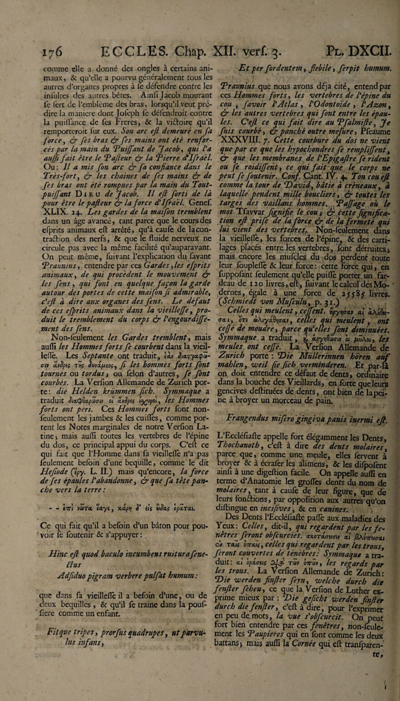 comme elle a donné des ongles à certains ani¬ maux , &amp; qu’elle a pourvu généralement tous les autres d’organes propres à le défendre contre les infulres des autres bêtes. Ainfi Jacob mourant fe fert de l’emblème des bras, lorsqu’il veut pré- direla maniéré dont Jofeph fe défendroit contre la puiflance de fes Freres, &amp; la vi&amp;oire qu’il remporteroit lur eux. Son arc eft demeuré en fa force, &amp; fes bras &amp; fes mains ont été renfor¬ cés par la main du Tuijfant de Jacoby qui l'a aujfi fait être le Tafteur &amp; la Tierre dllfraèl. Ou : Il a mis fon arc &amp; fa confiance dans le Très-fort, &amp; les chaînes de fes mains &amp; de fes bras ont été rompues par la main du Tout- puijfant Dieu de Jacob. U efi forti de là pour être le pafieur &amp; la force d'Ifraél. Gcnef XLIX. 24. Les gardes de la maifon tremblent dans un âge avancé, tant parce que le cours des efprits animaux eft arrêté, qu’à caufe de lacon- tra&amp;ion des nerfs, &amp; que le fluide nerveux ne circule pas avec la même facilité qu’auparavant. On peut même, fuivant l’explication du favant Traunius, entendre par ces Gardes, les efprits animaux, de qui procèdent le mouvement ô* les fens , qui font en quelque façon la garde autour des portes de cette maifon fi admirable, c'efi à dire aux organes des fens. Le défaut de ces efprits animaux dans la vieillejfe, pro¬ duit le tremblement du corps &amp; l'engourdijfe- ment des fens. Non-feulement les Gardes tremblent, mais aufli les Hommes forts fe courbent dans la vieil- leflè. Les Septante ont traduit, làv criv avfyts tris JWctyteos, fi les hommes forts font tournés ou tordus; ou félon d’autres, fe font courbés. La Verflon Allemande de Zurich por¬ te: die Helden krümmen fich. Symmaque a traduit JixcpSapaav ol avèpis l%vpo\, les Hommes forts ont péri. Ces Hommes forts font non- feulement les jambes &amp; les cuiflès, comme por¬ tent les Notes marginales de notre Verflon La¬ tine -, mais aufli toutes les vertebres de l’épine du dos, ce principal appui du corps. C’eft ce qui fait que l’Homme dans fa vieilleflè n’a pas feulement befoin d’une béquille, comme le dit Hefiode Çlpy. L. II.) mais qu’encore, la force de fes épaules l'abandonne, &amp; que fa tête pan- che vers la terre : -É7H VCüTct Éfilyê, Jcccp&gt;j à us tiàds opcLTou. Ce qui fait qu’il a befoin d’un bâton pour pou¬ voir fe foutenir &amp; s’appuyer : Hinc eft quod baculo incumbens ruitura fene- Elus Adfiduopigram verbere pulfat humum : que dans fa vieilleflè il a befoin d’une, ou de deux béquilles , &amp; qu’il fe traine dans la pouf- flere comme un enfant. Fit que tripes, pr orfus quadrupes, ut parvu¬ lus infans, Et per for dentem, fiebile, ferpit humum. Traunius que nous avons déjà cité, entend par ces Hommes forts, les vertebres de l'épine du cou , favoir l'Atlas , l'Odontoïde , l'Azon, &amp; les autres vertebres qui font entre les épau¬ les. C'efi ce qui fait dire au Tfalmifte, Je fuis courbé, &amp; panchè outre me fur e, Pfeaume XXXVIII. 7. Cette courbure du dos ne vient que par ce que les hypochondres fe rempliffent, &amp; que les membranes de l'Epigaftre fe rident ou fe roidifient, ce qui fait que le corps ne peut fe foutenir. Confi. Cant IV. 4. Ton cou eft comme la tour de David) bâtie à créneaux, à laquelle pendent mille boucliers, &amp; toutes les targes des vaillans hommes, Tajfage ou le mot Tfavvar fignifie le cou ; &lt;&amp; cette fignifica- tion eft prife de la force &amp; de la fermeté qui lui vient des vertebres. Non-feulement dans la vieilleflè, les forces de l’épine, &amp; des carti¬ lages placés entre les vertebres, font détruites; mais encore les mufçles du dos perdent toute leur foupleflè &amp; leur force: cette force qui, en fuppofant feulement qu’elle puiflè porter un far¬ deau de 120 livres, eft, fuivant le calcul des Mo- • dernes, égaie à une force de 255-85- livres. (Schmiedt von MufculU) p. 31.) Celles qui meulent, cejfent. üpyfâfl A &lt;xA«0a- ecu, cTi âAiySyadv, celles qui meulent, ont cefjé de moudre, parce qu'elles font diminuées. Symmaque a traduit, $ kpy^aty 01 juvàoi, les meules ont ce fié. La Verflon Allemande de Zurich porte : Die Müllerinnen horen auf mahlen, weil fie fich vermtnderen. Et par-là on doit entendre ce défaut de dents, ordinaire dans la bouche des Vieillards, en forte que leurs gencives deftituées de dents, ont bien de la pei¬ ne à broyer un morceau de pain. Frangendus mifero'gingiva panis inermi eft. L’Eccléfiafte appelle fort élégamment les Dents, Thochanoth, c’eft à dire des dents molaires, parce que, comme une meule, elles fervent à broyer &amp; à écraferles alimens, &amp; les difpofent ainfi à une digeftion facile. On appelle aufli en terme d’Anatomie les groflès dents du nom de molaires, tant à caufe de leur figure, que de leurs fondions, par oppofition aux autres qu’on diftingue en incifives, &amp; en canines. Des Dents l’Eccléfiafte paflè aux maladies des Yeux: Celles, dit-il, qui regardent par les fe- nètres^ feront obfcurcies. caoracvciy A fafaumu dv Tous lirais y celles qui regardent par les trous, feront couvertes de ténèbres: Symmaque a tra¬ duit: al opacas 2d&amp; ray hrav, les regards par les trous. La Verflon Allemande de Zurich: Die werden finfter feyny welche dur ch die fenfler feheny ce que la Verflon de Luther ex¬ prime mieux par : Die gefïcht werden finfter dur ch die f enfler) c’eft à dire, pour l’exprimer en peu de mots, la vue s'obfcurcit. On peut fort bien entendre par ces fenêtres, non-feule¬ ment les Taupieres qui en font comme les deux battans; mais aufli la Cornée qui eft tranlparen- te.