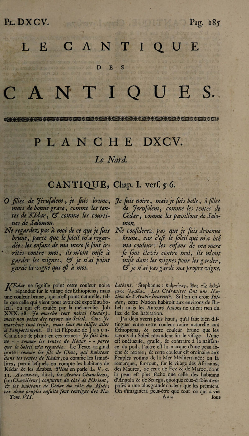 -o LE CANTIQUE DES CANTIQUES. ifinviBiinttri PLANCHE DXCV. Le Nard. CANTIQUE, Chap. L verf. 5-6. O filles de Jérufalem , /&lt;? brune, mais de bonne grâce, comme les ten- Kédar, 0* comme les courti¬ nes de Salomon. Ne regardezj pas a moi de ce que je fuis brune, parce que leJoleil ma regar¬ dée : les enfans de ma mere fe font ir- 9 rites contre moi, ils mont mifo a garder les vignes, &amp;* je ri ai point gardé la vigne qui efi à moi. JfifEdar ne lignifie point cette couleur noire * répandue fur le vifage des Ethiopiens j mais une couleur brune, qui n’eft point naturelle, tel¬ le que celle qui vient pour avoir été expofé au So¬ leil, ou qui eft caufée par la mélancolie. Job XXX. 28. Je marche tout noirci (,kédar'), mais non point des rayons du Soleil. Ou: Je marchois tout trifte, mais fans me laijfer aller à l'emportement. Et ici PEpoufe de J e s u s- Christ fe plaint en ces termes : Je fuis bru¬ ne - - comme les tentes de Kédar - - parce que le Soleil m'a regardée. Le Texte original porte: comme les fils de Chus, qui habitent dans les tentes de Kédar,ou comme les Ismaé¬ lites , parmi lefquels on compte les habitans de Kédar &amp; les Arabes. T line en parle L. V. c. II. A ceux-ci, dit-il, les Arabes Chancléens, (ouChaviléens) confinent du coté de l'Orient, &amp; les habitans de Cédar du côté du Midi ; ces deux peuples enfuite font contigus des Na- Tom.KIL Je fuis noire, mais je fuis belle, 0 filles de Jerufalem, comme les tentes dé Cédar, comme les pavillons de Salo¬ mon. Ne confoderem pas que je fuis devenue brune, car défi le foleil qui nia oté ma couleur : les enfans de ma mere fe font élevés contre moi, ils ni ont mife dans les vignes pour les garder, &amp; je n ai pas gardé ma propre vigne. batéens. 'Stephaniis: KàpKra.5, e9vô$ tk juovos 'Apa/Zicts. Les Cédranites font une Na¬ tion de l'Arabie heureufe. Si l’on en croit Sui¬ das , cette Nation habitoit aux environs de Ba-4 bel 5 mais les Auteurs Arabes ne difent rien du lieu de Ton habitation. J’ai déjà averti plus haut 3 qu’il faut bien dis¬ tinguer entre cette couleur noire naturelle aux Ethiopiens, &amp; cette couleur brune que les rayons du Soleil répandent fur le vifage. L’une eft on&amp;ueufe, gradé, &amp;: contraire à la naifian- ce du poil &gt; l’autre eft la marque d’une peau fe- che &amp; retirée &gt; &amp; cette couleur eft ordinaire aux Peuples voifirts de la Mer Méditerranée : on la remarque, fur-tout, fur le vifage des Africains, des Maures, de ceux de Fez &amp; de Maroc, dont la peau eft plus feche que celle des habitans d’Angola Sc de Senega, quoique ceux-ci Soient ex- pofés à une plus grande chaleur que les prémiers. On s’imaginera peut-être que tout ce qui a vie A a a fous