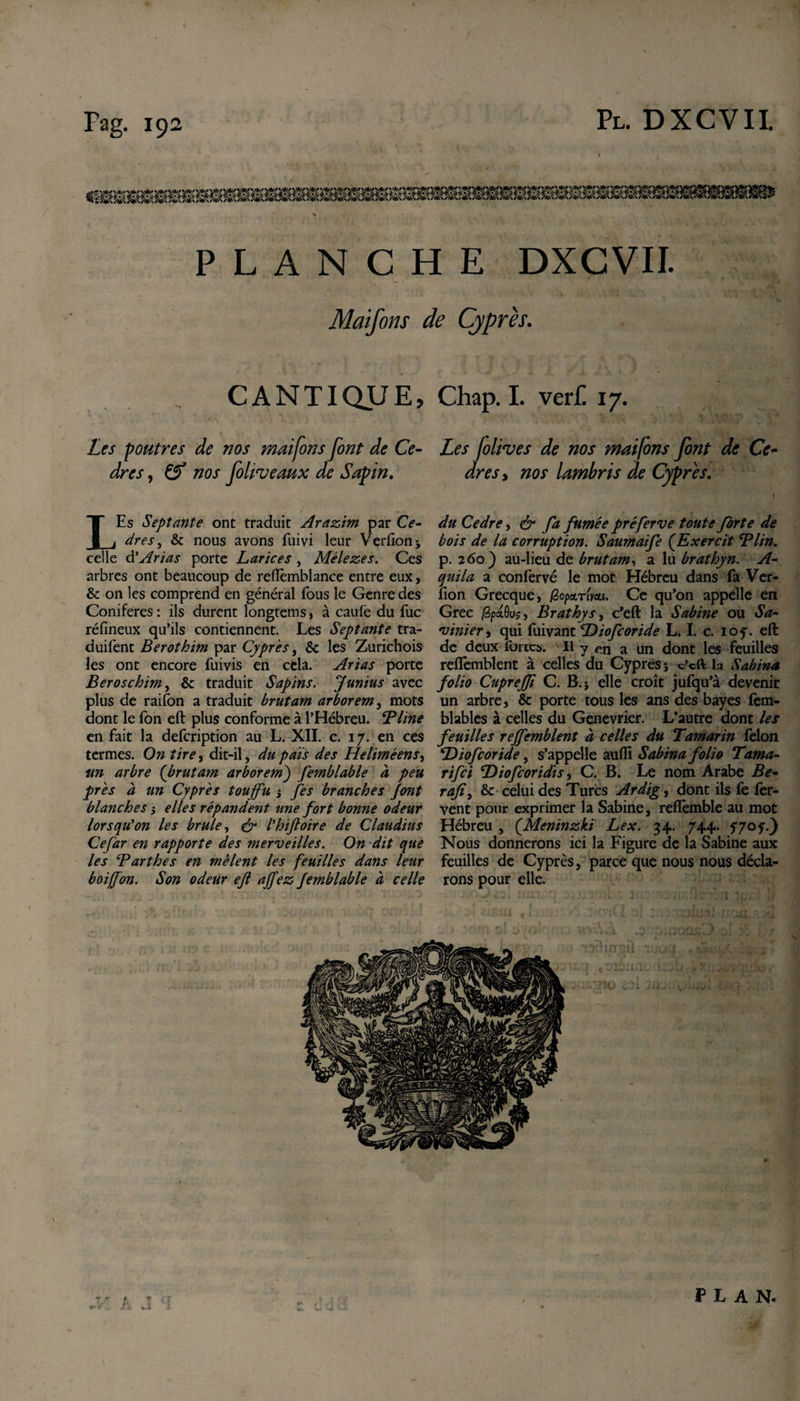 PLANCHE DXCVII. Maifons de Cyprès. CANTIQUE, Chap.I. verf. 17. Les poutres de nos maifons font de Ce- Les [olives de nos maifons font de Cè¬ dres , &amp; nos foliveaux de Sapin. dres&gt; nos lambris de Cyprès. LEs Septante ont traduit Arazim par Ce- dre s, &amp; nous avons fuivi leur Verfionj celle à!Arias porte Larices , Mélezes. Ces arbres ont beaucoup de reflemblance entre eux, &amp; on les comprend en général fous le Genre des Conifères : ils durent longtems, à caufe du fuc réfineux qu’ils contiennent. Les Septante tra- duifent Berothim par Cyprès, &amp; les Zurichois les ont encore fuivis en cela. Arias porte Beroschim ^ &amp; traduit Sapins. Junius avec plus de raifon a traduit brutam arborem, mots dont le Ton eft plus conforme à l’Hébreu. B line en fait la defeription au L. XII. c. 17. en ces termes. On tire, dit-il, du pais des Heliméens, un arbre (’brutam arborem) femblable a, peu près à un Cyprès touffu j fes branches Jont blanches -, elles répandent une fort bonne odeur lorsqu’on les brûle, &amp; l’hiftoire de Claudius Cefar en rapporte des merveilles. On dit que les Barthes en mêlent les feuilles dans leur boiffon. Son odeur eft affez femblable à celle du Cedre, &amp; fa fumée pré ferve toute forte de bois de la corruption. Saumaife (Exercit Blin. p. 260 ) au-lieu de brutam, a lu brathyn. A- quila a confervé le mot Hébreu dans fa Ver- lion Grecque, /3o/&gt;cenW Ce qu’on appelle en Grec /3pa0us, Brathys, c’eft la Sabine ou Sa- vinier, qui fuivant Diofcoride L. I. c. 10 y. eft de deux fortes. Il y en a un dont les feuilles refièmblent à celles du Cyprès j c’cft h Sabina folio Cupreffi C. B.} elle croît jufqu’à devenir un arbre, &amp; porte tous les ans des bayes fem- blables à celles du Genevrier. L’autre dont A\r feuilles reffemblent à celles du Tamarin félon Diofcoride, s’appelle aufii Sabina folio Tama- rifei Diofcoridis, C. B. Le nom Arabe Be- rajî, &amp; celui des Turcs Ardig, dont ils fe fer¬ vent pour exprimer la Sabine, reflèmble au mot Hébreu , (.Meninzki Lex. 34. 744. 57oy.) Nous donnerons ici la Figure de la Sabine aux feuilles de Cyprès, parce que nous nous décla¬ rons pour elle.