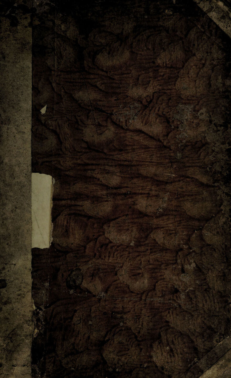 •-S'i'v ■ • f-V1■ Vw. •>• i. V Ji» v ' v •■. '• -‘t * ' *» * v / 1 . ^; 5,’: : ft.v ■• *?•'-v» ■*:'* v^’- */'*>•< •: *:-<?•• ?.. ’•••..• V. •'• •-•• . »- ■ .v; , '*•• •; :■ ■ «Sc-'ifc».'.*' ■• ''■■/ , \f •. •' ;..w. .. • , .<■'.• r-w’* ‘Ä 72 .•• «►rt.-..-. * -flP —agaafev': r- ' !.-■ „'■,■■■ ' - V