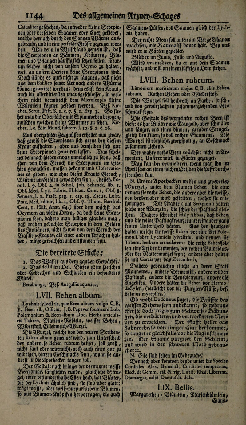 ii44_ allgemeinen $franefc@cfcaf e$ Caiuaiitergcfcßebett/ ba cntnoe^er fieine 0cerpio# ncn ober betfelben 0aamen ober €per geflebet f n>c(cbc hernach burch bet0onnen<2ßBdrme auß# gcbrad)t/ unb in eine perfeäe ©roffe gejeuget wor# ben. OCßie benn in SOBeifchlanb gemein iff, Daß bie ©corpionen an gaumen, Krautern; ®lu# men unb ^flanpen hau jftg ficb fefcen füllen, ® ar# um foldjeß nicht pon unfern Ocymo ju halten, weil an unfern £)ertern feine 0corpionen fmb* ® och flönbe eß auch nicht |u Idugnen, baß nicht auß bemBafilico feinet $lrtnacb anbere SEßürme fonnen generiret werben: benn eß ift fein Äraut, auch bie aflerbitterflen uiiaußgefchloffen, in wel# ehern nicht oermlttelfl bem Microfcopio fieine OBurmlein fdnnen gefehen werben* Q3ef. Kir- chcr. Scrut. Peft. S.^ x . c. 7, $. 1, Exp. $. 00 fie# het man bie Oberfläche mit 0pinnweben bezogen, jwifchen welchen fieine CEBürmer $u fehen. Kir- eher. 1. c, &amp;in Mund, fubcerr. 1.12. S. 2. C. 26, Stuß obersten SeugnuQen erhellet nun jwar/ baß gewiß bie0corplonen (ich gerne bep biefem Äraut aufhalten , aber auß bemfelben fleh gar leine 0corpionen generiren laffen. ®aß febei# wt Demnach hle&amp;epetwaß unmöglich ju fepn/ baß eben ton bem ©erud> bie 0corpionen im © e#, hirn gewachfem maflfen befannt unb Obfcrvatio* nes eß geben/ wie ohne biefeß tfrautß Geruch r SEBurme im ©e^irn gewachfen fepn/ (befiel). Fo- Teil. 1. 9. Obf. 2, in Schol. Joh. Schenck. lib. 1. Obf. Med, f. fl, Fabric. Hildan. Cent. 1. Obf. g. Sennert.1. I. Praft. pag, 1. cap. ig, Zacut. Lufit. Prax.Med, admir. lib. j, Obf. 7. Thom. Barthol. Cent. 1. Hirt, Anat. 64.; über bem wdchft baß Ocymum an tielen Orten / ba hoch feine 0cor# pionen fepn, bahero man billiger glauben mag / baß broben gebachter 0corpion in bem ©ehitn öeß 3talidnerß/nicht fowol ton bem Geruch beß $3aftlien#$rautß/ alß einer anbern Urfachen hal# ber / muffe gewachfenunbeutftanben fepn* ©ie Bereitete ©triefe: 1. ®aß Raffer auß bem ganzen ©ewdchfe/ 2. 5)aßdeftillirteOel. ®iefeß if*im£etfcben ober Erbrechen unb 0cf)lucfen ein befonbereß Mittel. Becabunga. 9$ef Anagallis aquatica, LVII. Behcnalbum. Lychnis fylveftris, quae Been album vulgo C,B. J*. Been alb. Officin. J. B. Papaver fpumeum Lob. Polemonium &amp; Been album Dod. Herba articula- ris Tabern. Marien # SKoßleln / weiffet Q3ehtn / SEBiberfbß; ©llebwelcb'SEßurjel. ® ie 9CBurjcl/ welche ton ben neuern 0criben# ten Bchcn album genennet wirb/ jum Unterfcheib ber anbern/fo Behen rubrum heiffet/ fofl groß / nicht faul ober wurmlcht/noch auch elneß gar &amp;u wibrigen/ bitfern ©efehmaefß fepn / wann fie an# berjf in bie Slpothecfen taugen foll. , ©et (5ef*ajt nach bringet ber termepnte weiffe Ö3eenbinne; idnglichte/ runbe/ glaid)td)e 0ten# geh einer bißanberthalbe^flen hoch/hat QMdtter/ bie berLychnis dhnlid) finb, fie finb aber glatt: fragt weiffe; ober weiß*purpurfarbene Blumen/ fo auß 33iumen#Ändpffen herporragen/ Oie auch 0aamen#^)iHfen/toll©aamen gleich ber Lych- nis, haben. ©er rechte 533cen foll unten am $3.erge llbanou waebfen/ wie ^Uuwolff bator half* $3ep un* wirb et in ©arten gejieblef. ZMübet im3unio,3ulio unbSlugufto. ^EBirb reim ehret/ Da er auß bem 0aametl wdchfet/ unb will an einem lufftigen Orte flehen* LVIII. Behen rubrum. Lifnoriium maritimum majus C,B. aliis Behe* rubrum. Dothen Q3ef>en ober SCBieberfloß. ®ie ^urpel foll hochroth an 3fad>e 1 fp^ch t unb ton gewürjhafftcn iufammenjiehenben fehmaef fepn. 5)ie (Efeflalc M tetmelnfen rothen ^3een if! biefe: eß hat glatter wie ^langolb/aber fcbmdlec unb Idrtget/unb einen binnen/ geraben0tengel, gleich f>en lilien/ fo toB rothen (Saamenß* ©ie ®urhel ifUotljlicht/äwepfpaltig/ an©efd)mad jufammen iiehenb. ®er wahre rotheSöeen wdchfet nicht in5(r^ menten; UnfererwirO in ©arten gejeugef. 5)lan fan ihn vermehren; wenn man ihn im Slprll fdet an einen folchenOrt/ben bie Sufft burch* jlreichen fan. N.Unfere2fpothec!en weifen unß iweperlep Wurzel/ unter bem tarnen Behen, bie eine nennen fterothe Behen, bie anbere aber bic weiffe^ ton bepben aber wirb gcflritteu , woher fte ent# fprungen. ®ie Araber (alß Serapion) haltet» folchc tor SüBurjeln/ bie fehler ber *Paf!inaf glei# Chen. ®aherO fchrdbet Haly Abbas, baß Behen unb bie wilbe ^ajliitafwurieluntereinanbergani feinen llnterfd)eib hatten. $luß ben heutigen halten weld)e bie weiffe Beben poreine SlrtPole- monii.ober Lychnidis fylveftris, unb nennen fte Tabern. herbam articularem: Die rothe Behentfol# len eine 5lrt Der £emonfen/ Deß rothen ^3alDrinnße ober Der 9?atterwurfcelfepn; anDereabcr halten fie mit Garzia por Daß Zerumbeth, ®ahero gebrauten etliche an berer 0tatf 5)lannßtreu/ anbere ^ormentifl/ anbere wilben ^Paflinaf/ anbere bieQJenebictwurj/ anbere bie Sngclifen. 5lnbere halten bie Behen por Hcrmo- dadyien/ (PieBeicht por bie ^3urgier^uffe / bef* Baianus myrepfica.) Ob wohl Dodonaeus faget / bie!Rrdflte bed weiffen 2$ehens feyn unbefannt / fo gebraut chetfte Doch Tragus 3um Schweif # Sdhun# geti/ bie verhärteten unb ver trockneten tltx* ven $u erweichen. 2)er Suffe heilet ba* oahnwehe/fo von einiger <>i(3e herfommet^ fo tauget er gleichfalls vor bie 2(ugenfchme¥# jtn. üDer Saame purgiret ben 0d)leimf unb wirb in ber fdjweren Hoth gebrau# d?et:c. N. 0ie finb feiten im ©ebrauche: ®ennochaber fomraen bepbe unter bie Specie* Cordiales Alex. Benedift. Cordialcs temperatas. Eled, de Gemm. eil. &amp; frig. Laetif. Rhaf. Liberanu Diamargar. calid, Diantofch. dulc. LIX. Bellis. Margarethen * SMumiein/ Marienblfimfein^ 4i * * ' ©doß#