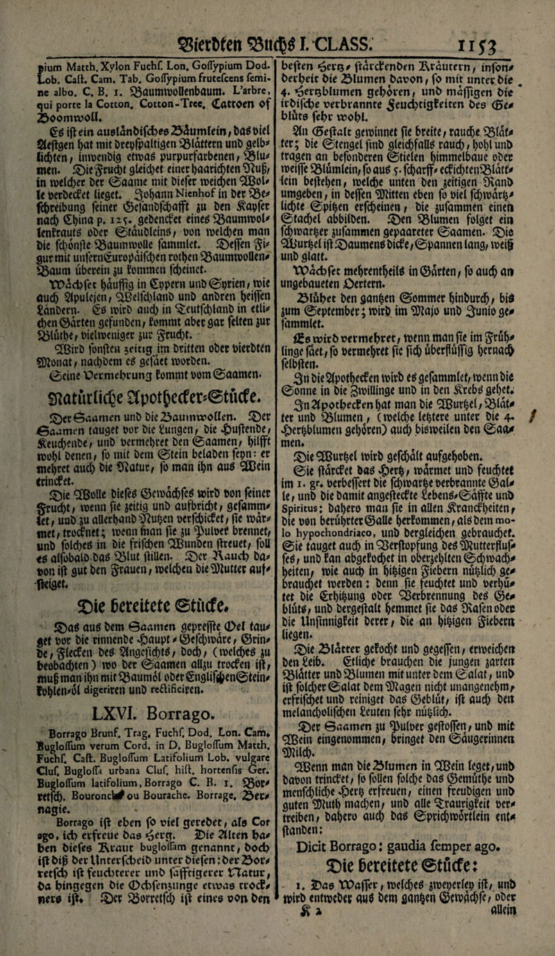 SSietMen I.CLASS. pium Matth. Xylon Fuchf. Lon. Goflypium Dod. Lob, Call. Cam. Tab, Goflypium frutefcens femi- ne albo. C. B. I. Q3aUtmP0Uenbaum. L’arbre, qui porte la Cotton, Cotton-Trcc, dattoen Of 2>00mw0Ö. ig etit ausldnbtfches 25dumlem/ bAöt>icl Seggen l)at mit brepfpaltigen glattem unb gelb* liebten; inwenbig etwas purpurfarbenen/ 23lu* men. ©ie Srucbt gleichet einer haarichten Sftug/ in melcber her 0aame mit biefer meinen SCßoW ie perbeket lieget. Johann Nienhof in ber Q3e* febretbung feiner ©cfanbfcbafft $u ben tapfer nach China p. 12^. gebenket eines $3aumwol* ientrauts ober 0taublcinS/ pon weld)en man bie fcbdnjle Baumwolle fammlet, ©e(fen SU gur mit unfernCuropdifcben rotben baumwollen# bäum überein $u kommen fcbeinct. Tt>dd>fec bduffrg in Cppern unb0prien/ wie auch 5lpulejen/ ^Beifcblanb unb anbren beiffen £dnbern. §*s wirb aueb in Teutfchlanb in etlU eben ©arten gefunben/ kommt aber gar feiten $ur blüthe/ oielro ewiger $ue gcuc^t* $[ßirb fonflen jettig im Dritten ober Pierbten Sftonat/ naebbem es gefdet worben. 0etne Pcvmebrung kommt oom0aamen- Statürlidje 2tpot§e(fer*@tMe. ©er Saamen unb bie baumwollen, ©er Daumen tauget Por bie Zungen/ bie 4)u|fenbe/ Keud)cnbe/ unb oermehrer ben 0aamen/ hilfft ipobl benen / fo mit beut 0tein belaben fepn: er mehret auch bie Cftatur/ fo man ihn aus ^Bein trinket. ©ie Sßoiie biefes ©cmad&amp;fcs wirb pon feiner gruebt/ wenn fte jeitig unb aufbrid)t/ gefamm# let / uub &amp;u aUerhanb Sftuijcn oerfebiket / fte war# met/ troknet; wenn man fte &amp;u ^utoet brennet/ imb fold)eS in bie frifeben ^Bunben freuet/ foll t$ alfobalb bas blut gillen. ©er 3\auch ba# pon ig gut ben Stauen / welcbeu bie Butter auf# (leiget. ©ie bereitete ©tiitfe. ©as aus bem 0aamen geprejfte <I>eX tau# get Por bie rinnenbe #aupt # ©efchwdre / ©rin# De/ Slecfen bes 2lngeftd)tS/ boeb/ (welchem $u beobachten) wo ber 0aamen allju troefen ijf/ «ut§ man ihn mit Baumöl ober §ngliftben@tein# foj)len*ol digeriren unb re&amp;ificiren. LXVI. Borrago. Borrago Brunf, Trag, Fuchf. Dod. Lon. Cam* Bugloflum verum Cord, in D, Bugloflum Matth. Fuchf. Caft. Bugloflum Latifolium Lob. vulgare Cluf, Buglofla urbana Cluf. hift. hortenfis Ger. Bugloflum latifolium,Borrago C. B. i. böf' retfd). Bouronch^ou Bourache. Borrage, £)er# nagte. Borrago tp eben fo piel gerebet/ als Cor ago, ich erfreue bas ^erg. 2)te eilten ha# ben biefes Äraut bugloflam genannt / hoch ijl big ber Uncerfcheib unter btefen :ber öotv tetfd) tp feud)terer unb faffetgerer tTatur, ba hingegen bte (Dcbfen$tmge etwas troef# iiers ip* ©er borretfd) ip eines pon ben utt beften *£er$0 ftdrdenben Krautern/ tnfom» berbett bie 23lumen bapon, fo mit unter bte „ 4. ^er^blumen geboren, unb muffigen bte * trbtfcbe perbrannte Feuchtigkeiten bes <5e^ biüts febr wohl. $ln <5epait gewinnet fte breite / rauche $Mdf* ter; bie 0tengelfmb gleichfalls rauch > hohl unb tragen an befonberen 0tielen himmelbaue ober weijfe Q3lümlein/ fo aus s- fchnrflr^ edi<bten2Mdff> lein begehen/ melcbe unten ben zeitigen Dvanb umgeben, in bejfen Bitten eben fo oiel fchwdr^ lichte 0pi^en erfchetnen / bie jufammen einen 0tad)el abbilben. ©en Blumen folget ein fd)warher jufommen gepaareter 0aamen. ©ie <2Db‘urhel ig ©aumens bide / 0pannen lang/ weiß unb glatt. VPdcbfet mehrentheils in ©arten / fo auch an ungebaueten öertern. ZMübet ben ganzen ©ommer hinburch / bi£ jum 0eptember; wirb im ^Dtajo unb 3unio ge# fammlet. igs wirb permehret / wenn man pe im Srül)# lingefdet/fo permehret fte ftch überpüjftg hernach felbgen. 3n bie $lpotheden wirb esgefammlet/ tpenn bie 0onne in bie gwillinge unb in ben SvtebS gehet; 3n2lpotheckenhat man bie ^IBurhel/^ldt# ter unb QMumen / (welche ledere unter bie 4- / #erhblumen gebären) auch bisweilen ben 0aa# men. ©ieSCßurhet mirb gefchdlt aufgehoben. 0ie gdrefet bas ^)erh/ wärmet unb feuchtet im 1* g«v Perbejfert bie fchwarheperbrannte ©al# k, unb bie bamit angefteefte £ebens«»0dffte unb Spiritus: baljero man fte in allen Krankheiten/ bie pon berührter ©alle bekommen/als bem mo- lo hypochondriaco, unb begleichen gebraud>ef. 0ie tauget auch in^ergopfung bes ^utterguf# feS/ unb fan abgcfochet in oberiel)lten0chwach# heiten/ wie auch ln hi^flen Siebern nühlid) ge# brauset werben: benn fte feuchtet unb perhü# tet bie Crbifcung oper Verbrennung bes ©e# blütS/ unb bergegalt hemmet fte bas üvafenobeu bte Unftnnigkeit Derer / bie an b^flen Siebern liegen. ©ie Blatter gekocht unb gegeben / erweichen ben^eib. etliche brauchen bie jungen garten Q3ldtter unb Vlumen mit unter bem 0alat / unh ig fotct>er 0alat bem Etagen nicht unangenehm/ erfrifchet unb reiniget bas ©eblüt/ ig aud) ben meland)olifchett Beuten fehr nützlich). ©er 0aamen ju ^uloer gegojfen/ unb mit <2Bem eingenommen/ bringet ben 0dugerinnen ^ilch. <2Benn man bie Blumen in ®ein leget/unb baoon trinket / fo feilen felche bas ©emüthe unb menfd)lid)e $erh erfreuen/ einen freubigen unb guten Süftuth mad;en/ unb alle Traurigkeit per# treiben/ bahero auch bas 0prichwortlein ent# ftanben; Dicit Borrago: gaudia femper ago. ©ie Bereitete ©töcfe: 1. iDas TDafler / welches aroeperlep ig/ unb jpirb entmeber aus bem ganzen ©etvdchfe/ ober K i allein