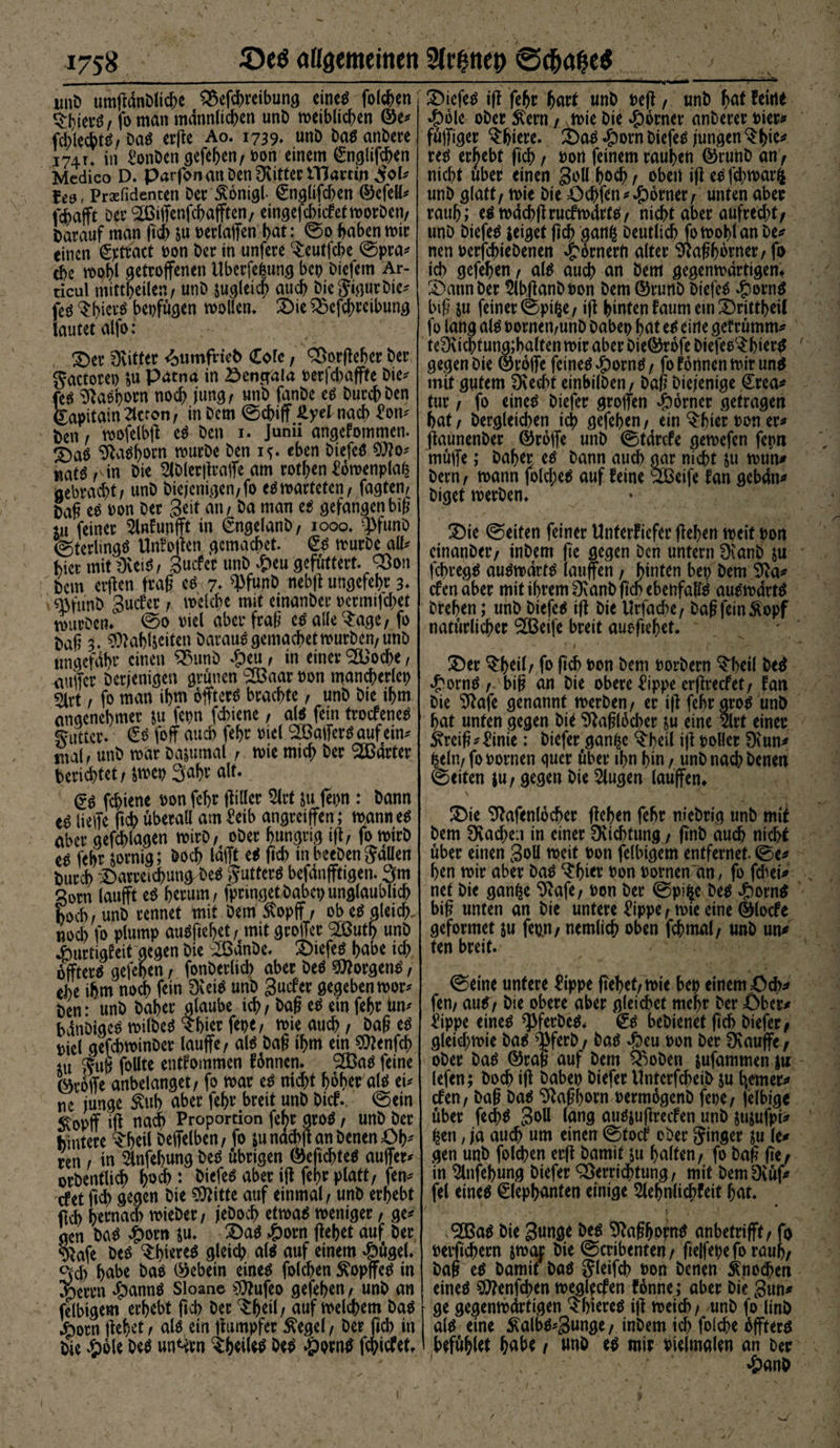 t 1758 attgcmcinen Strittet» - - - ■ ■ - -- ■ ■ .... — ■ ■ ■ ■ ' -—1 uiib umgänblicbe $$efd?reibung eineg folgen $bierg, fo man männlichen unb weiblichen ©e* fd/lecbtg, Dag erge Ao. 1739* unb bag anbere I74u in £onben gefehen, ton einem (Snglifcben Mcdico D. parfonanbenÜvitteriTiartw ^ol* fe&amp;, Prsefidenten Der Äontgl- €nglifd?en ©efell* fdbajft Dev Sßigenfcbagten, eingefchicf et worben, Darauf man ftd> &amp;u Verlagen bat: @0 haben mir einen ^jetvact von ber in unfere Seutfcbe ©pra* cbe wohl getroffenen Uberfepung bet? biefem Ar- ticul mittl?eilen, unb zugleich auch biejigurbie* feg bet?fügen möllern Die $3efd;reibung lautet alfo; £)er Dvitter <^umfriet> (£ole, Söorgeher ber gactorei? &amp;u patna in 23engala verfebagfe Die» tst ^aßborn nod; jung, unb fanbe eg burebben apitain 2ltton, in bem ©ebig £yel nach £on» Den , wofelbg eg ben 1. Junii angefommen. g5ag ^v^born mürbe ben if. eben biefeg 9)?o» nats , in Die Slblergrage am rotl?en £owenpla£ aebraebt; unb Diejenigen, fo eg warteten, fagten, Dafi eg von ber Seit an / ba man ti gefangen big tu feiner 2lnfunfft in SngelanD, 1000. 9>funb (gterlingö Unfogen gcmacbet. <£g mürbe all» hier mitüiei*/ Sucfcr unb £eu gefüttert. Q3on Dem ergen frag cg 7* ^f«nb nebg ungefebr 3♦ Wfunb Sucfer / melcbe mit einanber vcrmifd?et mürben.' ©0 viel aberfrag cg alle‘Sage, fo Dag 3. $MMciten barauögemacbetmurben/unb ungefähr einen 2MtnD £eu / in einer %'ocbe / auffer Derjenigen grünen 2öaar non mancberlet? 5lrt , fo man ihm offterö brachte, unb bie ibm angenehmer ju fet?n fchiene / alg fein troefeneg Butter. foff auch febr viel SBagerg auf ein* mal / unb mar Dazumal , mie mich ber harter berietet / jwet Saht alt. &amp; febiene von febr gillcr 2lrt jü fet?n : bann eg liege geh überall amM> angreigen; mann eg aber gefcblagen mirb/ ober hungrig ig, fo wirb eg febr zornig; boeb lagt eg ftcb in beepen fallen Durch -Darreicbun^Deg Jutterg bejanfftigen. 3m «orn laugt eg herum / fprmget habet? unglaublid) hoch / unb rennet mit Dem Stopft / ob eg aleidy noch fo plump augfiehet/ mit grogcr Slöutb unb imrtigfeit gegen bie 2ßanbe. 2)iefeg habe ich ogterg gefehen / fonberlicb aber beg ^orgeng; ehe ihm nod? fein Dieig unb Sucfer gegeben wor» Den: unb baber glaube ich / bag eg ein febr lui# bänbigegwilbegShierfete, wie aud?, bag eg viel gefchminber lauge/ aig bag ihm ein Sttenfd? 4U follte entnommen fonnen. <333ag feine ©voge anbelanget, fo mar eg nicht hoher alg ei» ne junge £ub aber febr breit unb Dicf. ©ein ^opg ig na<S> Proportion fe^r grog, unb ber hintere Shell Oegeiben, fo sunachg an Denen =öb* ren , in 5lnfel?ung beg übrigen ©eficbteg auger» orbentlicb hoch : Oiefeg aber ig febr platt, fern- cf et ficb gegen bie Sftitte auf einmal, unb erhebt ftcb bemach mieber, jeDod? etmag meniger, ge» gen bag £>orn $u. 2>ag £orn gehet auf Der ^afe beg Shiereg gleich alg auf einem $ügel. 3d? habe bag ©ebein eineg folcben Äopgeg in $ecrn ^?anng Sloane ^ufeo gefehen, unb an felbigem erhebt ficb ber ^b^l/ auf melcbem Dag 4?orn gehet, alg ein gumpfer ^egel, ber ficb in Die «t>ble beg un^rn beg 4)orng febiefet. X)iefeg ig febr hart unb veg, unb (?<** ^eitie »S)ble ober $ern, mie bie Corner anberer vier» fügiger ^feiere. Daö -g)orn biefeg jungen ^hi^ reg ergebt geh, non feinem rauben ©runb an, nicht über einen Soll b&amp;cb t oben ig egfcbmarifc unb glatt, mie bie =Ocbfen»Corner, unten aber rauh; egmdcbgrucfmdrtg, nicht aber aufred?t, unb biefeg zeiget geh gan^ Deutlich fo mobl an De» nen verfchiebenen Römern alter ^aghörner, fo ich gefehen, alg auch an bem gegenwärtigen* £>annber 2lbganbvon bem©runb biefeg ^:>orng big ju feiner ©pi^e, ig hinten faum ein 33rittl>eif fo lang alg vornen,unD babep hat eg eine gefrümm» teüvidhtung;halten mir aber bie©rofe biefee^hierg gegen bie ©roge feineg^orng, fo fonnen mir ung mit gutem Dvecbt einbilben, bag Diejenige €rea» tur, fo etneg biefer grogen ^orner getragen hat, bergleicben ich gefehen, ein ^hier von er» jkunenber ©roge unb ©tdrefe gemefen fepn müge; Daher t6 bann auch gar nicht $u mun» bem, mann fold;eg auf feine SBeife fan gebän» biget merben. Ü)ie ©eiten feiner Unterkiefer gehen meif von einanber, inbem fte gegen Den untern Dianb ju febregg augmärtg laugen, hinten bep bem 9?a» efenaber mit ihrem Üvanb geh ebenfaßg augmärtg Drehen; unb biefeg ig bie Urfache, bag fein ^opf natürlicher 933eife breit auegehet. Dtt ^h^tr fo geh oon bem vorbern ?heil beg ^orng ,-big an bie obere fippe ergreefet, fan bie Sftafe genannt merben, er ig fehr grog unb hat unten gegen bi* 9fagl6d?er ju eine 5lrt einer 5\reig»f!inie: biefer gan^e ^heil ig toller 9iun» peln, fo vornen gucr über ihn hin, unb nad? Denen ©eiten }u, gegen bie 2lugen laugen* Dit 9fafenlbcber gehen fehr niebrig unb mit bem 9vad?e:i in einer Dvichtung, gnb auch nicht über einen Soll meit von felbigem entfernet, ©e* ben mir aber bag ‘Shitr ton vornen an, fo fdiei» net bie ganfce *^afe, ton ber ©pi^e beg ^orng big unten an bie untere £ippe, mie eine ©locfe geformet ju fepn, nemlicb oben fcbmal, unb un* ten breit. ©eine untere £ippe gehet, mie bet einem =öd?* fen, aug, bie obere aber gleid^et mehr ber Ober» £ippe eineg ^ferbeg* €g bebienet geh biefer, gleid;mie bag ^ferb, bag ^?eu ton ber 9\auffe, ober bag ©rag auf bem Quoten jufammen ju lefen; Doch ig habet biefer Unterfcbeib ju b.emer» efen, bag bag 9fagf?orn termogenb fete, felbigc über fe^g SoU lang augjugrccfen unb sujufpi» ^en, ja auch um einen ©toef ober Jmger ju le» gen unb folcben erg Damit su halten, fo bag ge, in ^Infehung biefer ^ßerridbtung, mit DemDvüf* fei eineg 0epl?anten einige 5lehnlicbfeit hat. ,®ag bie Suttg* beg 9fagborng anbetrigt, fo Vergebern jmar bie ©cribenten, gelfepefo rauh, bag eg Damit bag Sleifcb ton Denen Knochen eineg $?enfd?en meglfcfen fonne; aber bie Sun» ge gegenwärtigen $biereg ig weich, unb fo linb alg eine $albg*3mtge, inbem ich foicbe hgterg befühlet h^be, unb eg mir tielmalen an Der v . »&amp;anD l