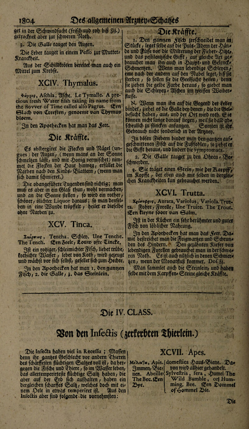 '■■ ' ■ .. -- ■ --——---——■—:—-7— yrrrr . - ■*. .wi./. .'i. i.rr.'inr i— mT* get in Der ©cbwinDfucbt (frifchunb roh big 5i/0 getroefnet aber jur fehleren 9tytb. 3* 2)ie (Balle tauget Den 2lugen. 35ie ^eber tauget in einem Peflo $ur Butter* IRrancfbeit. v 2lus Der ©chilbfröten bereitet man auch ein Mittel jum £rebfe. XCIV. Thymalus. .UfcUOl», ~ **^;*'- • ** 1 $ayge>S) Afchia, 3lfdje» LeTymalle. A pre- cious fresh Water fifsh taking its namefrom the flovver of Timecalled allöPagrus. (Sen ©lact? von Creefcen/ genormt van (Lhyntuo bloem, 3n Den 2lpocbecfen bat man Das 5ett. £)ie iträffte. (?# abftergiret Die SJlecfen unD ^dgel (un- gues) Der klugen/ (wenn rnanS an Der ©onne fchmelfcen (afft / unD mit £onig rermifchet) nirn* met Die Jlecfen Der #aut hinweg/ erfüllet Die Farben nach Den 5vinD^^ flattern / (wenn man ficb Damit firmieret.) Vit obangefubrte^ugenDenfinDrichtig; man mufl es aber in ein ©laff tbun/ wohl Permachen/ unD an Die ©onne ff eilen / fo wirb ein rotf>er / feboner/ olicbtcr Liquor Darauf; fo man benfel* ben in eine 2ßunDe tropffeit t feilet er Diefelbe ohne Farben ju. XCV. Tinea. ■öieJträlfre. 1. 35en ganzen $erfd[meibet man in ©tücfe / (eget felbe auf Die ^uls* 5li)crn Der 45 an* De unD jüffe bor Die Filterung ber$ieber*.£)ifce/ unD Das peffilenfcifcbe ©ifft, auf gleiche 2ht ge* brauchet man ihn auch in 4paupt*unD ©eientf* ©cbmerfcen. ‘Sßerm man lebenDige ©d>lepen / eine nach Der anDern auf Den Sftabel leget/ bifffie fferben / fo follen ffe Die ©eelfucbt heilen/ Denn ffe sieben Die gelbe Jarbe bwaus, fo giebet man auch Die ©cblepeg* 2lfcben tm weiffen SBeiber* Me. ,T “ :,WA N. SIBenn man ihn auf Die ©egenb Der Mer binDet/ siebet eö Die ©alle bep Denen/ Die Die ©eU befuebt haben/ auS/ unD Der £>rt wirb rotb. ©ie lonnen nicht lange Darauf liegen, roeil fie balD ab* (Neulich ffinefen anfangen, ©onffen iff ihr ©ebraueb nicht fonDerlicb in Der Slr&amp;nep. 3n bofen Gebern binDet man Den ganzen auf* gefebnitfenen Sifcb auf Die §uffohlen/ fo siebet er Die ©ifft ^crauö/ unD linDert Die Symptomata. 2. 25ie (Balle tauget ju Den Obren * £$e* fcbwerDen. 3. ©ie traget einen ©tein/ wie herÄaipffV im Äopffe / Der eben auch mit felben in berglei* eben Ärancfbeiten fan gebrauchet werben. 1 ■* t • w XCVI. Trutta. Xfirotp^vs, Aurata, Variolus, Variola. Trut¬ ta. $obre / $orelle / Une Truite. The Trout. (Sen rleyne fbort van ©alm^ 3ff in Der Äücben ein febr berühmter unD guter Jifcb Don löblicher Nahrung. , Tencha, ©cblet). Une Tenche. The Tench. i£en 5eelt, J2.ouvv ofte ttinde. 3ff ein rosiger/fcbleimicbterjifcb/ liebet trübe/ fotbiebte ^Baffer / lebet »on^otb/ roirD gezeugt unD tvdcbff oor ftcb felbff/ gefeüetftcbsum Rechte. 3n Den 2lpothecFen bat man 1. hen ganzen gi|c^z 2. Die (Balle/ 3. Das ©teinlein. 3n Den 2lpothecFen hat man Das 5m. 2>a* mit beffreichet man Die 5?eigroar^en unD ©ebrun* Den DeS ^)inDern. b £>en gejdbnten tiefer oort lebenDigen Jorcllen gebrauchet man inDerfchtve* ren 9^otb. €s iff auch nö^lidb in Denen ©cbmer* ^cn/ noenn Der SÖionatflufj fommet. Dor^j* ?Ö^an fammlet auch Die ©teinlein/ unD babett felbe mit Dem Sarpffen* ©teine gleiche ^raffte. ©ie IV. CLASS. SSoit ben InfeQis (jeef erbten ^bierlein.) 3>ie Infefta haben Piel in Receflii ; Waffen Denn ihr ganzes ©efchlecht oor anDern Erbieten Des fchdrffeffen flüchtigen ©al^eSPolliff/ Daher* gegen Die $ifcbe unD ?b^^ / fo im Gaffer (eben/ DaS aüertemperirteffe flüchtige ©al^ höben/ Die aber auf Der (Erb jtch aufbalten / haben ein Dergleichen fcharffeS ©al^/ tvelcheS Doch mit ei* nem Oele in etwas cemperiret iff. 3luS Den . infedis aber finDfolgenDe^ Die Pornebmffen: XCVII.:Apes. Apis.fdomeftica ^)auS*^$iene. 35a* Smmen/ ^oie* pon tvirD aübier gebanDelh nen. Abeille< Sylveftris , fera , Jpumcl The TheBec.iSen Wild Bumble, or| Hum- Sye. ming. Bee. (Sen xDommef of Rommel Sie. Vit •1