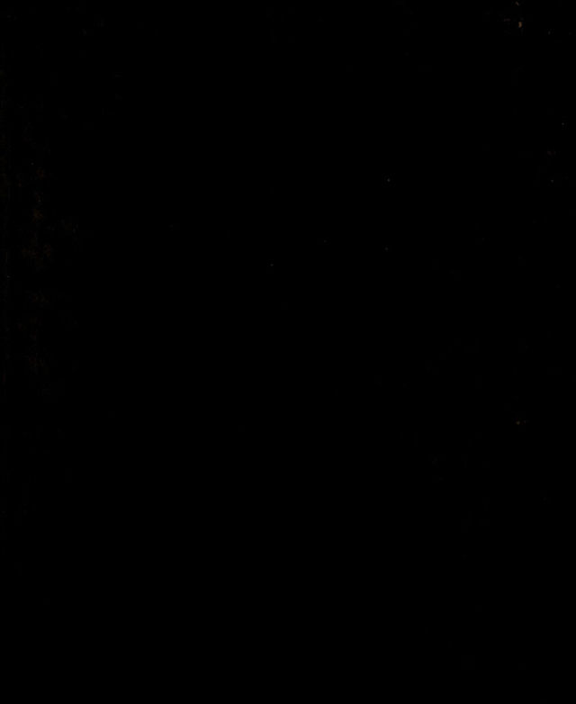 digitised image 1