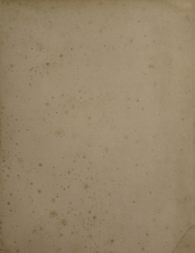 digitised image 3