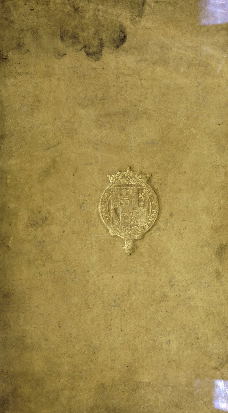 No text description is available for this image