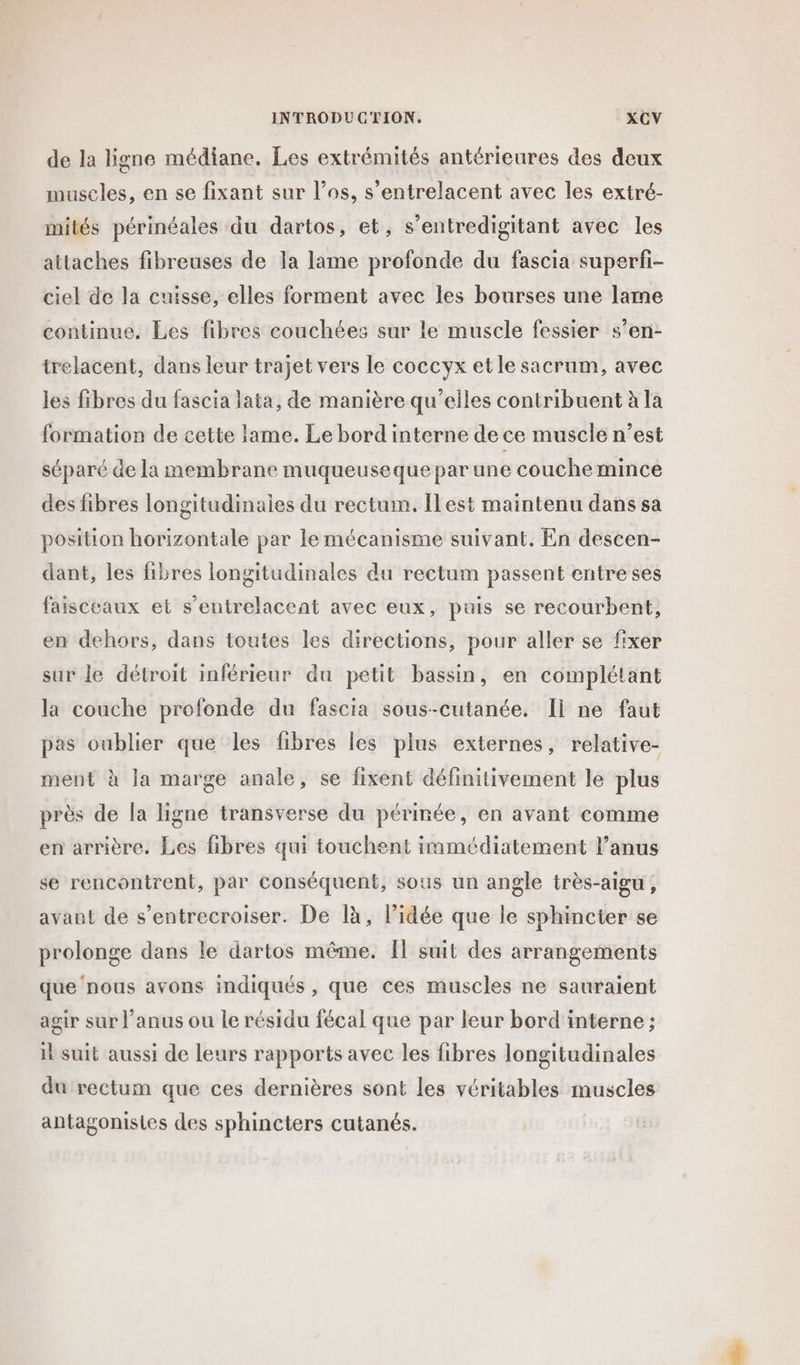 de la ligne médiane. Les extrémités antérieures des deux muscles, en se fixant sur l'os, s’entrelacent avec les extré- mités périnéales du dartos, et, s’entredigitant avec les attaches fibreuses de la lame profonde du fascia superfi- ciel de la cuisse, elles forment avec les bourses une lame continue, Les fibres couchées sur le muscle fessier s’en- trelacent, dans leur trajet vers le coccyx etle sacrum, avec les fibres du fascia lata, de manière qu’elles contribuent à la formation de cette lame. Le bord interne de ce muscle n’est séparé de la membrane muqueuseque par une couche mince des fibres longitudinales du rectum. Ilest maintenu dans sa position horizontale par le mécanisme suivant. En descen- dant, les fibres longitudinales du rectum passent entre ses faisceaux et s’entrelacent avec eux, puis se recourbent, en dehors, dans toutes les directions, pour aller se fixer sur le détroit inférieur du petit bassin, en complétant la couche profonde du fascia sous-cutanée. Ii ne faut pas oublier que les fibres les plus externes, relative- ment à la marge anale, se fixent définitivement le plus près de la ligne transverse du périnée, en avant comme en arrière. Les fibres qui touchent immédiatement l’anus se rencontrent, par conséquent, sous un angle très-aigu , avant de s’entrecroiser. De là, l’idée que le sphincter se prolonge dans le dartos même. Îl suit des arrangements que ‘nous avons indiqués, que ces muscles ne sauraient agir sur l’anus ou le résidu fécal que par leur bord interne ; il suit aussi de leurs rapports avec les fibres longitudinales du rectum que ces dernières sont les véritables muscles antagonistes des sphincters cutanés.