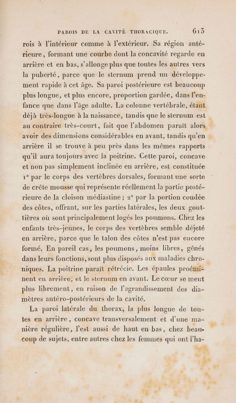 rois à l’intérieur comme à l'extérieur. Sa région anté- rieure , formant une courbe dont la concavité regarde en arrière et en bas, s’allonge plus que toutes les autres vers la puberté, parce que le sternum prend un développe- ment rapide à cet âge. Sa paroi postérieure est beaucoup plus longue, et plus encore, proportion gardée, dans l’en- fance que dans l’âge adulte. La colonne vertébrale, étant déjà très-longue à la naissance, tandis que le sternum est au contraire très-court, fait que l'abdomen paraît alors - avoir des dimensions considérables en avant, tandis qu'en … arrière 11 se trouve à peu près dans les mêmes rapports qu'il aura toujours avec Ja poitrine. Cette paroi, concave et non pas simplement inclinée en arrière, est constituée 1° par le corps des vertèbres dorsales, formant une sorte de crête mousse qui représente réellement la partie posté- rieure de la cloison médiastine ; 2° par la portion coudée des côtes, offrant, sur les parties latérales, les deux gout- tières où sont principalement logés les poumons. Chez les enfants très-jeunes, le corps des vertèbres semble déjeté en arrière, parce que Île talon des côtes n’est pas encore formé. En pareil cas, les poumons, moins libres, gênés dans leurs fonctions, sont plus disposés aux maladies chro- niques. La poitrine paraît rétrécie. Les épaules proémi- nent en arrière, et le sternum en avant. Le cœur se meut à plus librement, en raison de l'agrandissement des dia- mètres antéro-postérieurs de la cavité. La paroi latérale du thorax, la plus longue de tou- tes en arrière, concave transversalement et d’une ma- L2 L L2 Ç , &amp; nière régulière, l’est aussi de haut en bas, chez beau- coup de sujets, entre autres chez les femmes qui ont l’ha- D du ke . à 4 FL Py + | À ;  # AM d à di LA 4 à