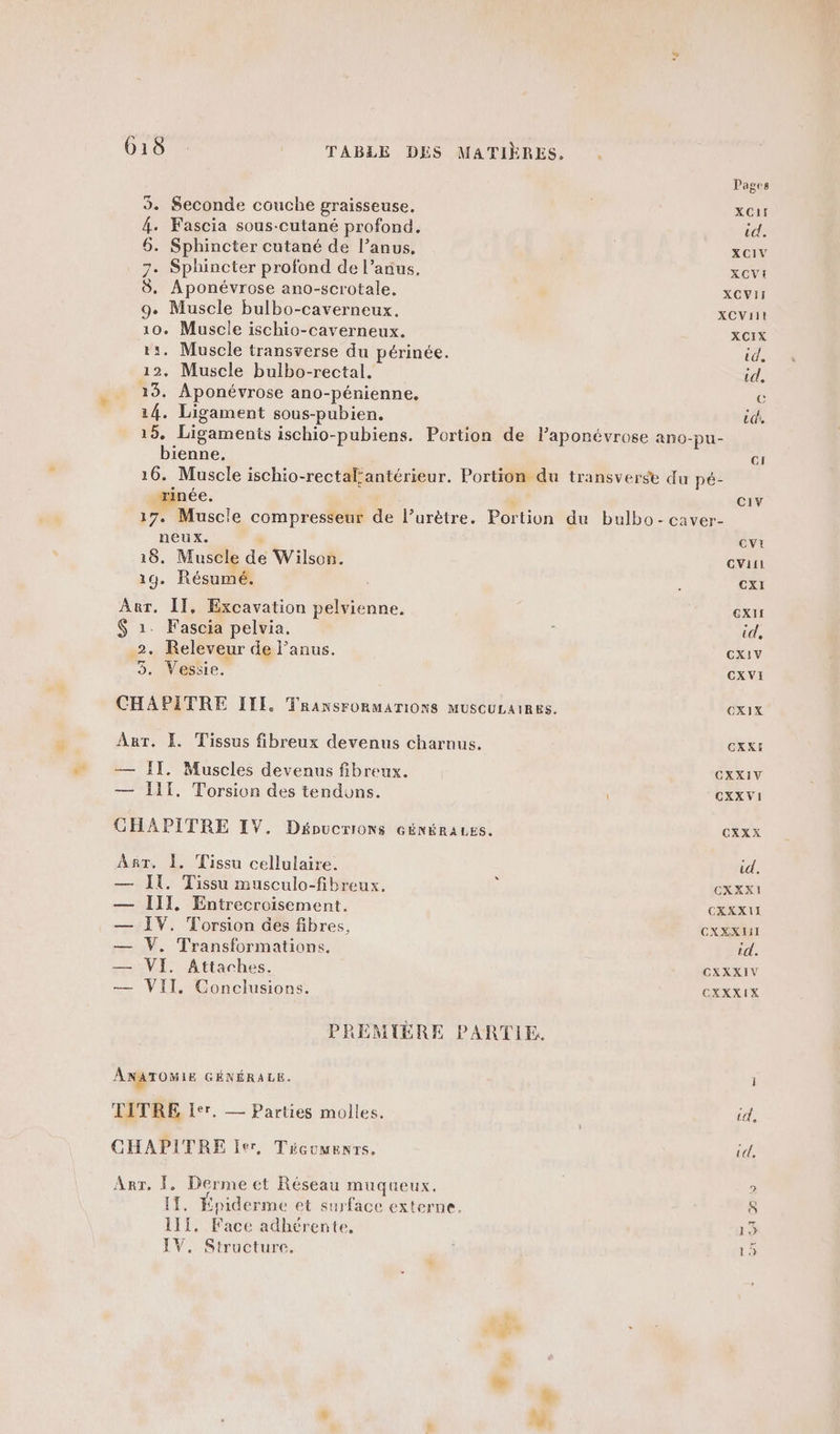 9 Seconde couche graisseuse, 4. Fascia sous-cutané profond, 6. Sphincter cutané de l’anus,. 7. Sphincter profond de l'anus. 8. Aponévrose ano-scrotale. 9. Muscle bulbo-caverneux. 10. Muscle ischio-caverneux. 11. Muscle transverse du périnée. 12. Muscle bulbo-rectal. 13. Aponévrose ano-pénienne. 14. Ligament sous-pubien. ‘€ Pages XCIF id. XCIV XCVI XCVII XCViIt XCIX id, id. C bienne, CI xinée. neux. . 18. Muscle de Wilson. 19. Résumé. Aur. ÎT, Excavation pelvienne. $ 1. Fascia pelvia. 2. Releveur de l'anus. 3. Vessie. CHAPITRE IIL. TRANSFORMATIONS MUSCULAIRES. ART, Ï. Tissus fibreux devenus charnus. — Î[T. Muscles devenus fibreux. — J1l, Torsion des tendons. CHAPITRE IV. DépucrIons GÉNÉRALES. Anr. 1. Tissu cellulaire. — Il. Tissu musculo-fibreux. — III, Entrecroisement. — IV. Torsion Ges fibres, — V, Transformations. — VI. Attaches. — VII, Conclusions. PREMIÈRE PARTIE. ANATOMIE GÉNÉRALE. TITRE Ier. — Parties molles. CHAPITRE Ier, Técumenrs. Art. Î. Derme et Réseau muqueux. IT. Épiderme et surface externe. 111. Face adhérente, IV. Structure. CIiv Cv Cvil cxI ex! id, CXIV CxVI CXIX CXK£ CXXIV CXXVI CXXX id, CXXXI CXXXU CXXXIII ‘d. CXXXIV CXXXIX