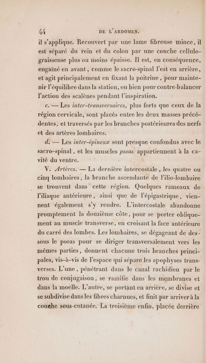 il s’applique. Recouvert par une lame fibreuse mince, il est séparé du rein et du colon par une couche cellulo- graisseuse plus ou moins épaisse. Il est, en conséquence, engaîné en avant, comme le sacro-spinal l’est en arrière, et agit principalement en fixant la poitrine , pour mainte- nir l’équilibre dans la station, ou bien pour contre-balancer l'action des scalènes pendant l'inspiration. c. — Les inter-transversaires, plus forts que ceux de la région cervicale, sont placés entre les deux masses précé- dentes, et traversés par les branches postérieures des nerfs et des artères lombaires. d. — Les inter-épineux sont presque confondus avec le sacro-spinal , et les muscles psoas appartiennent à la ca- vité du ventre. V. Artères. — La dernière intercostale , les quatre ou cinq lombaires, la branche ascendante de l’ilio-lombaire se trouvent dans cette région. Quelques rameaux de l'iliaque antérieure, ainsi que de l'épigastrique, vien- nent également sy rendre. L’intercostale abandonne promptement la douzième côte, pour se porter oblique- ment au muscle transverse, en croisant ia face antérieure du carré des lombes. Les lombaires, se dégageant de des s sous le psoas pour se diriger transversalement vers les mêmes parties, donnent chacune trois branches princi- pales, vis-à-vis de l’espace qui sépare les apophyses trans- verses. L’une , pénétrant dans le canal rachidien par le trou de conjugaison, se ramifie dans les membranes et dans la moelle. L'autre, se portant en arrière, se divise et se subdivise dans les fibres charnues, et finit par arriver à la couehe sous-cutanée, La troisième enfin, placée derrière