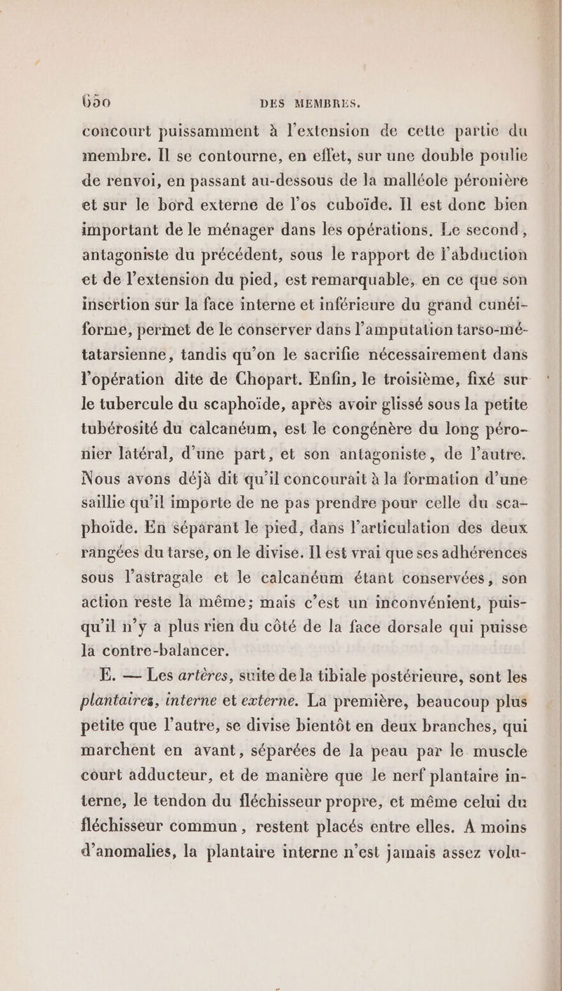 concourt puissamment à l'extension de cette partie du membre. Il se contourne, en effet, sur une double poulie de renvoi, en passant au-dessous de la malléole péronière et sur le bord externe de l’os cuboïde. Il est donc bien important de le ménager dans les opérations. Le second, antagoniste du précédent, sous le rapport de l’abduction et de l'extension du pied, est remarquable, en ce que son insertion sur la face interne et inférieure du grand cunéi- forme, permet de le conserver dans l’amputalion tarso-mé- tatarsienne, tandis qu’on le sacrifie nécessairement dans le tubercule du scaphoïde, après avoir glissé sous la petite tubérosité du calcanéum, est le congénère du long péro- nier latéral, d’une part, et son antagoniste, de l’autre. Nous avons déjà dit qu’il concourait à la formation d’une saillie qu'il importe de ne pas prendre pour celle du sca- phoïde. En séparant le pied, dans l'articulation des deux rangées du tarse, on le divise. IL est vrai que ses adhérences sous l’astragale et le calcanéum étant conservées, son action reste la même; mais c’est un inconvénient, puis- qu'il n’y à plus rien du côté de la face dorsale qui puisse la contre-balancer. E. — Les artères, suite de la tibiale postérieure, sont les plantaires, interne et externe. La première, beaucoup plus petite que l’autre, se divise bientôt en deux branches, qui marchent en avant, séparées de la peau par le muscle court adducteur, et de manière que le nerf plantaire in- terne, le tendon du fléchisseur propre, et même celui du fléchisseur commun, restent placés entre elles. À moins d'anomalies, la plantaire interne n’est jamais assez volu- RE RE EE