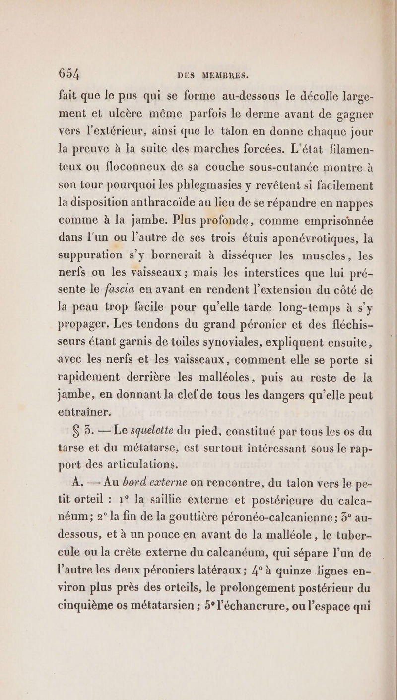 fait que le pus qui se forme au-dessous le décolle large- ment et ulcère même parfois le derme avant de gagner vers l'extérieur, ainsi que le talon en donne chaque jour la preuve à la suite des marches forcées. L'état filamen- teux ou floconneux de sa couche sous-cutanée montre à son tour pourquoi les phlegmasies y revêtent si facilement la disposition anthracoïde au lieu de se répandre en nappes comme à la jambe. Plus profonde, comme emprisonnée dans l’un ou l’autre de ses trois étuis aponévrotiques, la suppuration s’y bornerait à disséquer les muscles, les nerfs ou les vaisseaux ; mais les interstices que lui pré- sente le fascia en avant en rendent l’extension du côté de la peau trop facile pour qu’elle tarde long-temps à s’y propager. Les tendons du grand péronier et des fléchis- seurs étant garnis de toiles synoviales, expliquent ensuite, avec les nerfs et les vaisseaux, comment elle se porte si rapidement derrière les malléoles, puis au reste de la jambe, en donnant la clef de tous les dangers qu’elle peut entraîner. $ 3. — Le squelette du pied, constitué par tous les os du tarse et du métatarse, est surtout intéressant sous le rap- port des articulations. À. — Au bord externe on rencontre, du talon vers le pe- tit orteil : 1° la saillie externe et postérieure du calca- néum; 2° la fin de la gouttière péronéo-calcanienne ; 3° au- dessous, et à un pouce en avant de la malléole, le tuber- cule ou la crête externe du calcanéum, qui sépare l’un de l’autre les deux péroniers latéraux; 4° à quinze lignes en- viron plus près des orteils, le prolongement postérieur du cinquième os métatarsien ; 5° l’échancrure, ou l’espace qui